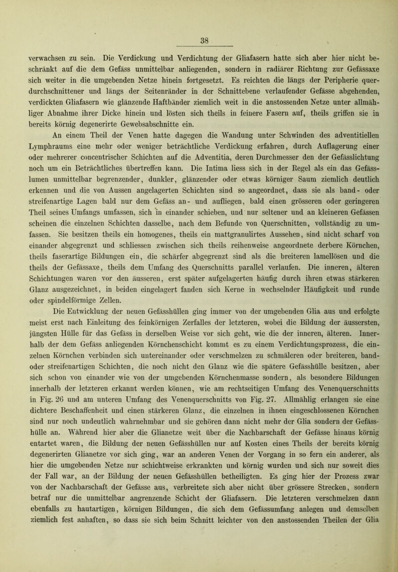 verwachsen zu sein. Die Verdickung und Verdichtung der Gliafasern hatte sich aber hier nicht be- schränkt auf die dem Gefäss unmittelbar anliegenden, sondern in radiärer Richtung zur Gefässaxe sich weiter in die umgebenden Netze hinein fortgesetzt. Es reichten die längs der Peripherie quer- durchschnittener und längs der Seitenränder in der Schnittebene verlaufender Gefässe abgehenden, verdickten Gliafasern wie glänzende Haftbänder ziemlich weit in die anstossenden Netze unter allmäh- liger Abnahme ihrer Dicke hinein und lösten sich theils in feinere Fasern auf, theils griffen sie in bereits körnig degenerirte Gewebsabschnitte ein. An einem Theil der Venen hatte dagegen die Wandung unter Schwinden des adventitiellen Lymphraums eine mehr oder weniger beträchtliche Verdickung erfahren, durch Auflagerung einer oder mehrerer concentrischer Schichten auf die Adventitia, deren Durchmesser den der Gefässlichtung noch um ein Beträchtliches übertreffen kann. Die Intima liess sich in der Regel als ein das Gefäss- lumen unmittelbar begrenzender, dunkler, glänzender oder etw^as körniger Saum ziemlich deutlich erkennen und die von Aussen angelagerten Schichten sind so angeordnet, dass sie als band- oder streifenartige Lagen bald nur dem Gefäss an- und aufliegen, bald einen grösseren oder geringeren Theil seines Umfangs umfassen, sich in einander schieben, und nur seltener und an kleineren Gefässen scheinen die einzelnen Schichten dasselbe, nach dem Befunde von Querschnitten, vollständig zu um- fassen. Sie besitzen theils ein homogenes, theils ein mattgranulirtes Aussehen, sind nicht scharf von einander abgegrenzt und schliessen zwischen sich theils reihenweise angeordnete derbere Körnchen, theils faserartige Bildungen ein, die schärfer abgegrenzt sind als die breiteren lamellösen und die theils der Gefässaxe, theils dem Umfang des Querschnitts parallel verlaufen. Die inneren, älteren Schichtungen waren vor den äusseren, erst später aufgelagerten häufig durch ihren etwas stärkeren Glanz ausgezeichnet, in beiden eingelagert fanden sich Kerne in wechselnder Häufigkeit und runde oder spindelförmige Zellen. Die Entwicklung der neuen Gefässhüllen ging immer von der umgebenden Glia aus und erfolgte meist erst nach Einleitung des feinkörnigen Zerfalles der letzteren, wobei die Bildung der äussersten, jüngsten Hülle für das Gefäss in derselben Weise vor sich geht, wie die der inneren, älteren. Inner- halb der dem Gefäss anliegenden Körnchenschicht kommt es zu einem Verdichtungsprozess, die ein- zelnen Körnchen verbinden sich untereinander oder verschmelzen zu schmäleren oder breiteren, band- oder streifenartigen Schichten, die noch nicht den Glanz wie die spätere Gefässhülle besitzen, aber sich schon von einander wie von der umgebenden Körnchenmasse sondern, als besondere Bildungen innerhalb der letzteren erkannt werden können, wie am rechtseitigen Umfang des Venenquerschnitts in Fig. 26 und am unteren Umfang des Venenquerschnitts von Fig. 27. Allmählig erlangen sie eine dichtere Beschaftenheit und einen stärkeren Glanz, die einzelnen in ihnen eingeschlossenen Körnchen sind nur noch undeutlich wahrnehmbar und sie gehören dann nicht mehr der Glia sondern der Gefäss- hülle an. Während hier aber die Glianetze weit über die Nachbarschaft der Gefässe hinaus körnig entartet waren, die Bildung der neuen Gefässhüllen nur auf Kosten eines Theils der bereits körnig degenerirten Glianetze vor sich ging, war an anderen Venen der Vorgang in so fern ein anderer, als hier die umgebenden Netze nur schichtweise erkrankten und körnig wurden und sich nur soweit dies der Fall war, an der Bildung der neuen Gefässhüllen betheiligten. Es ging hier der Prozess zwar von der Nachbarschaft der Gefässe aus, verbreitete sich aber nicht über grössere Strecken, sondern betraf nur die unmittelbar angrenzende Schicht der Gliafasern. Die letzteren verschmelzen dann ebenfalls zu hautartigen, körnigen Bildungen, die sich dem Gefässumfang anlegen und demselben ziemlich fest anhaften, so dass sie sich beim Schnitt leichter von den anstossenden Theilen der Glia