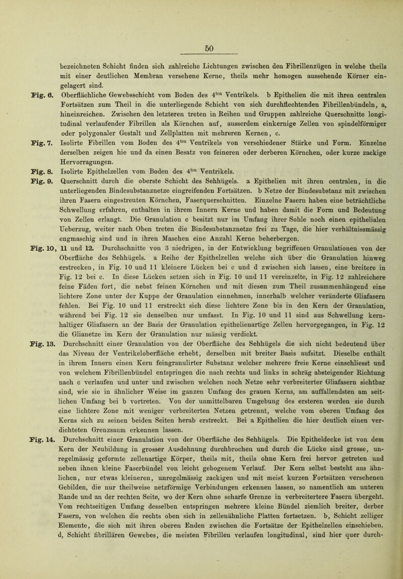 T‘ig. 6. Pig. 7. Fig. 8. Pig. 9. Pig. 10, Pig. 13. Pig. 14. bezeichneten Schicht finden sich zahlreiche Lichtungen zwischen den Fibrillenzügen in welche theils mit einer deutlichen Membran versehene Kerne, theils mehr homogen aussehende Körner ein- gelagert sind. Oberflächliche Gewebsschicht vom Boden des Ventrikels, b Epithelien die mit ihren centralen Fortsätzen zum Theil in die unterliegende Schicht von sich durchflechtenden Fibrillenbündeln, a, hineinreichen. Zwischen den letzteren treten in Keihen und Gruppen zahlreiche Querschnitte longi- tudinal verlaufender Fibrillen als Körnchen auf, ausserdem einkernige Zellen von spindelförmiger oder polygonaler Gestalt und Zellplatten mit mehreren Kernen, c. Isolirte Fibrillen vom Boden des 4*® Ventrikels von verschiedener Stärke und Form. Einzelne derselben zeigen hie und da einen Besatz von feineren oder derberen Körnchen, oder kurze zackige Hervorragungen. Isolirte Epithelzellen vom Boden des 4*®“ Ventrikels. Querschnitt durch die oberste Schicht des Sehhügels, a Epithelien mit ihren centralen, in die unterliegenden Bindesubstanznetze eingreifenden Fortsätzen, b Netze der Bindesubstanz mit zwischen ihren Fasern eingestreuten Körnchen, Faserquerschnitten. Einzelne Fasern haben eine beträchtliche Schwellung erfahren, enthalten in ihrem Innern Kerne und haben damit die Form und Bedeutung von Zellen erlangt. Die Granulation c besitzt nur im Umfang ihrer Sohle noch einen epithelialen Ueberzug, weiter nach Oben treten die Bindesubstanznetze frei zu Tage, die hier verhältnissmässig engmaschig sind und in ihren Maschen eine Anzahl Kerne beherbergen. 11 und 12. Durchschnitte von 3 niedrigen, in der Entwicklung begriffenen Granulationen von der Oberfläche des Sehhügels, a Eeihe der Epithelzellen welche sich über die Granulation hinweg erstrecken, in Fig. 10 und 11 kleinere Lücken bei c und d zwischen sich lassen, eine breitere in Fig. 12 bei c. In diese Lücken setzen sich in Fig. 10 und 11 vereinzelte, in Fig. 12 zahlreichere feine Fäden fort, die nebst feinen Körnchen und mit diesen zum Theil zusammenhängend eine lichtere Zone unter der Kuppe der Granulation einnehmen, innerhalb welcher veränderte Gliafasern fehlen. Bei Fig. 10 und 11 erstreckt sich diese lichtere Zone bis in den Kern der Granulation, während bei Fig. 12 sie denselben nur umfasst. In Fig, 10 und 11 sind aus Schwellung kern- haltiger Gliafasern an der Basis der Granulation epithelienartige Zellen hervorgegangen, in Fig. 12 die Glianetze im Kern der Granulation nur mässig verdickt. Durchschnitt einer Granulation von der Oberfläche des Sehhügels die sich nicht bedeutend über das Niveau der Ventrikeloberfläche erhebt, derselben mit breiter Basis aufsitzt. Dieselbe enthält in ihrem Innern einen Kern feingranulirter Substanz welcher mehrere freie Kerne einschliesst und von welchem Fibrillenbündel entspringen die nach rechts und links in schräg absteigender Eichtung nach c verlaufen und unter und zwischen welchen noch Netze sehr verbreiterter Gliafasern sichtbar sind, wie sie in ähnlicher Weise im ganzen Umfang des grauen Kerns, am auffallendsten am seit- lichen Umfang bei b vortreten. Von der unmittelbaren Umgebung des ersteren werden sie durch eine lichtere Zone mit weniger verbreiterten Netzen getrennt, welche vom oberen Umfang des Kerns sich zu seinen beiden Seiten herab erstreckt. Bei a Epithelien die hier deutlich einen ver- dichteten Grenzsaum erkennen lassen. Durchschnitt einer Granulation von der Oberfläche des Sehhügels. Die Epitheldecke ist von dem Kern der Neubildung in grosser Ausdehnung durchbrochen und durch die Lücke sind grosse, un- regelmässig geformte zellenartige Körper, theils mit, theils ohne Kern frei hervor getreten und neben ihnen kleine Faserbündel von leicht gebogenem Verlauf. Der Kern selbst besteht aus ähn- lichen, nur etwas kleineren, unregelmässig zackigen und mit meist kurzen Fortsätzen versehenen Gebilden, die nur theilweise netzförmige Verbindungen erkennen lassen, so namentlich am unteren Eande und an der rechten Seite, wo der Kern ohne scharfe Grenze in verbreitertere Fasern übergeht. Vom rechtseitigen Umfang desselben entspringen mehrere kleine Bündel ziemlich breiter, derber Fasern, von welchen die rechts oben sich in zellenähnliche Platten fortsetzen, b, Schicht zelliger Elemente, die sich mit ihren oberen Enden zwischen die Fortsätze der Epithelzellen einschieben. d, Schicht fibrillären Gewebes, die meisten Fibrillen verlaufen longitudinal, sind hier quer durch-