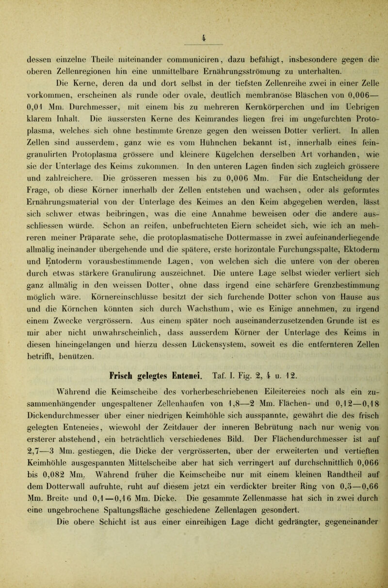 dessen einzelne Theile miteinander commimiciren, dazu befähigt, insbesondere gegen die oberen Zellenregionen hin eine unmittelbare Ernährungsströmung zu unterhalten. Die Kerne, deren da und dort selbst in der tiefsten Zellenreihe zwei in einer Zelle Vorkommen, erscheinen als runde oder ovale, deutlich membranöse Bläschen von 0,006— 0,01 Mm. Durchmesser, mit einem bis zu mehreren Kernkörperchen und im Uebrigen klarem Inhalt. Die äussersten Kerne des Keimrandes liegen frei im ungefurchten Proto- plasma, welches sich ohne bestimmte Grenze gegen den weissen Dotter verliert. In allen Zellen sind ausserdem, ganz wie es vom Hühnchen bekannt ist, innerhalb eines fein- granulirten Protoplasma grössere und kleinere Kügelchen derselben Art vorhanden, wie sie der Unterlage des Keims zukommen. In den unteren Lagen finden sich zugleich grössere und zahlreichere. Die grösseren messen bis zu 0,006 Mm. Für die Entscheidung der Frage, ob diese Körner innerhalb der Zellen entstehen und wachsen, oder als geformtes Ernährungsmaterial von der Unterlage des Keimes an den Keim abgegeben werden, lässt sich schwer etwas beibringen, was die eine Annahme beweisen oder die andere aus- schliessen würde. Schon an reifen, unbefruchteten Eiern scheidet sich, wie ich an meh- reren meiner Präparate sehe, die protoplasmatische Dottermasse in zwei aufeinanderliegende allmälig ineinander übergehende und die spätere, erste horizontale Furchungsspalte, Ektoderm und Entoderm vorausbestimmende Lagen, von welchen sich die untere von der oberen durch etwas stärkere Granulirung auszeichnet. Die untere Lage selbst wieder verliert sich ganz allmälig in den weissen Dotter, ohne dass irgend eine schärfere Grenzbestimmung möglich wäre. Körnereinschlüsse besitzt der sich furchende Dotter schon von Hause aus und die Körnchen könnten sich durch Wachsthum, wie es Einige annehmen, zu irgend einem Zwecke vergrössern. Aus einem später noch auseinanderzusetzenden Grunde ist es mir aber nicht unwahrscheinlich, dass ausserdem Körner der Unterlage des Keims in diesen hineingelangen und hierzu dessen Lückensystem, soweit es die entfernteren Zellen betrifft, benützen. Frisch gelegtes Entenei. Taf. I. Fig. 2, 4 u. 12. Während die Keimscheibe des vorherbeschriebenen Eileitereies noch als ein zu- sammenhängender ungespaltener Zellenhaufen von 1,8—2 Mm. Flächen- und 0,12—0,18 Dickendurchmesser über einer niedrigen Keimhöhle sich ausspannte, gewährt die des frisch gelegten Enteneies, wiewohl der Zeitdauer der inneren Bebrütung nach nur wenig von ersterer abstehend, ein beträchtlich verschiedenes Bild. Der Flächendurchmesser ist auf 2,7—3 Mm. gestiegen, die Dicke der vergrösserten, über der erweiterten und vertieften Keimhöhle ausgespannten Mittelscheibe aber hat sich verringert auf durchschnittlich 0,066 bis 0,082 Mm. Während früher die Keimscheibe nur mit einem kleinen Randtheil auf dem Dotterwall aufruhte, ruht auf diesem jetzt ein verdickter breiter Ring von 0,5—0,66 Mm. Breite und 0,1—0,16 Mm. Dicke. Die gesammte Zellenraasse hat sich in zwei durch eine ungebrochene Spaltungsfläche geschiedene Zellenlagen gesondert. Die obere Schicht ist aus einer einreihigen Lage dicht gedrängter, gegeneinander