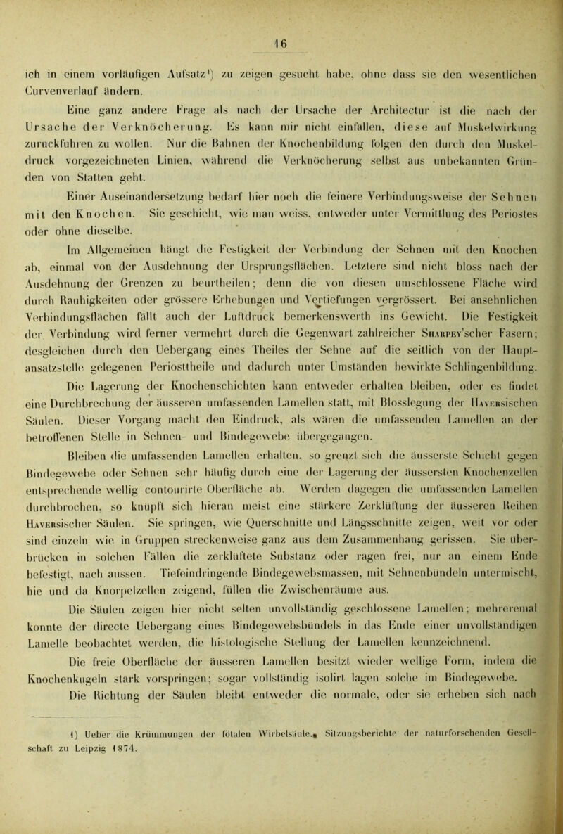 ich in einem vorläufigen Aufsatz1) zu zeigen gesucht habe, ohne dass sie den wesentlichen Curvenverlauf ändern. Eine ganz andere Frage als nach der Ursache der Architectur ist die nach der Ursache der Verknöcherung. Es kann mir nicht einfallen, diese auf Muskelwirkung zurückführen zu wollen. Nur die Bahnen der Knochenbildung folgen den durch den Muskel- druck vorgezeichneten Linien, während die Verknöcherung selbst aus unbekannten Grün- den von Statten geht. Einer Auseinandersetzung bedarf hier noch die feinere Verbindungsweise der Sehnen mit den Knochen. Sie geschieht, wie man weiss, entweder unter Vermittlung des Periostes oder ohne dieselbe. Im Allgemeinen hängt die Festigkeit der Verbindung der Sehnen mit den Knochen ab, einmal von der Ausdehnung der Ursprungsflächen. Letztere sind nicht bloss nach der Ausdehnung der Grenzen zu beurtheilen; denn die von diesen umschlossene Fläche wird durch Rauhigkeiten oder grössere Erhebungen und Vertiefungen vergrössert. Bei ansehnlichen Verbindungsflächen fällt auch der Luftdruck bemerkenswert!! ins Gewicht. Die Festigkeit der Verbindung wird ferner vermehrt durch die Gegenwart zahlreicher SHAitPEY’scher Fasern; desgleichen durch den Uebergang eines Theiles der Sehne auf die seitlich von der Haupt- ansatzstelle gelegenen Periosttheile und dadurch unter Umständen bewirkte Schlingenbildung. Die Lagerung der Knochenschichten kann entweder erhalten bleiben, oder es findet eine Durchbrechung der äusseren umfassenden Lamellen statt, mit Blosslegung der HAVERsischen Säulen. Dieser Vorgang macht den Eindruck, als wären die umfassenden Lamellen an der betroffenen Stelle in Sehnen- und Bindegewebe übergegangen. Bleiben die umfassenden Lamellen erhalten, so grenzt sich die äusserste Schicht gegen Bindegewebe oder Sehnen sehr häufig durch eine der Lagerung der äussersten Knochenzellen entsprechende wellig contourirte Oberfläche ab. Werden dagegen die umfassenden Lamellen durchbrochen, so knüpft sich hieran meist eine stärkere Zerklüftung der äusseren Reihen HAVERsischer Säulen. Sie springen, wie Querschnitte und Längsschnitte zeigen, weit vor oder sind einzeln wie in Gruppen streckenweise ganz aus dem Zusammenhang gerissen. Sie über- brücken in solchen Fällen die zerklüftete Substanz oder ragen frei, nur an einem Ende befestigt, nach aussen. Tiefeindringende Bindegewebsmassen, mit Sehnenbündeln untermischt, hie und da Knorpelzellen zeigend, füllen die Zwischenräume aus. Die Säulen zeigen hier nicht selten unvollständig geschlossene Lamellen; mehreremal konnte der directe Uebergang eines Bindegewebsbündels in das Ende einer unvollständigen Lamelle beobachtet werden, die histologische Stellung der Lamellen kennzeichnend. Die freie Oberlläche der äusseren Lamellen besitzt wieder wellige Form, indem die Knochenkugeln stark vorspringen; sogar vollständig isolirt lagen solche im Bindegewebe. Die Richtung der Säulen bleibt entweder die normale, oder sie erheben sich nach 1) Ueber die Krümmungen der fötalen Wirbelsäule.« Sitzungsberichte der naturforschenden Gesell- schaft zu Leipzig 1 874.