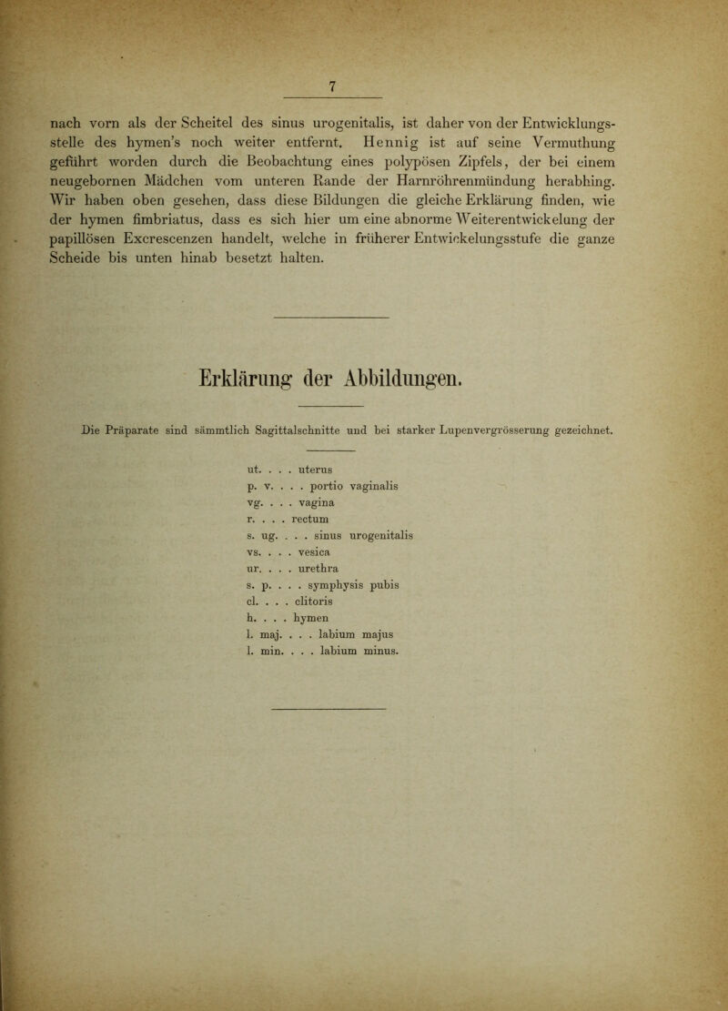 nach vorn als der Scheitel des sinus urogenitalis, ist daher von der Entwicklungs- stelle des hymen’s noch weiter entfernt. Hennig ist auf seine Vermuthung geführt worden durch die Beobachtung eines polypösen Zipfels, der bei einem neugebornen Mädchen vom unteren Rande der Harnröhrenmündung herabhing. Wir haben oben gesehen, dass diese Bildungen die gleiche Erklärung finden, wie der hymen fimbriatus, dass es sich hier um eine abnorme Weiterentwickelung der papillösen Excrescenzen handelt, welche in früherer Entwickelungsstufe die ganze Schelde bis unten hinab besetzt halten. Erklärung der Abbildungen. Die Präparate sind sämmtlich Sagittalschnitte und bei starker Lupenvergrösserimg gezeichnet. ut. . . . Uterus p. V. . . . portio vaginalis vg. . . . Vagina r. . . . rectum s. ug. . . . sinus urogenitalis VS. . . . vesica ur. . . . urethra s. p. . . . symphysis pubis cl. . . . clitoris h. . . . hymen 1. maj. . . . labium majus 1. min. . . . labium minus.