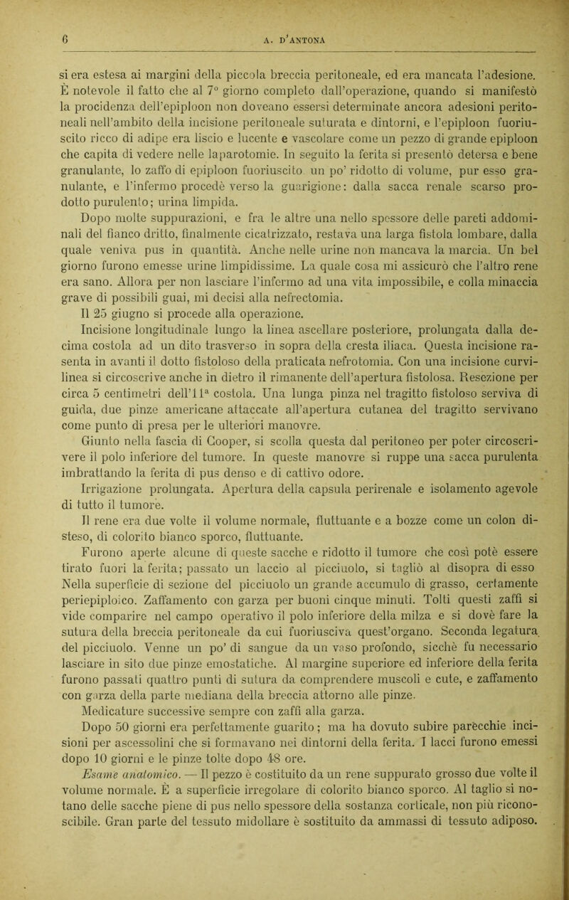 si era estesa ai margini della piccola breccia peritoneale, ed era mancata l’adesione. È notevole il fatto che al 7° giorno completo dall’operazione, quando si manifestò la procidenza dell’epiploon non doveano essersi determinate ancora adesioni perito- neali nell’ambito della incisione peritoneale suturata e dintorni, e l’epiploon fuoriu- scito ricco di adipe era liscio e lucente e vascolare come un pezzo di grande epiploon che capita di vedere nelle laparotomie. In seguito la ferita si presentò detersa e bene granulante, lo zaffo di epiploon fuoriuscito un po’ridotto di volume, pur esso gra- nulante, e l’infermo procedè verso la guarigione: dalla sacca renale scarso pro- dotto purulento; urina limpida. Dopo molte suppurazioni, e fra le altre una nello spessore delle pareti addomi- nali del fianco dritto, finalmente cicatrizzato, restava una larga fistola lombare, dalla quale veniva pus in quantità. Anche nelle urine non mancava la marcia. Un bel giorno furono emesse urine limpidissime. La quale cosa mi assicurò che l’altro rene era sano. Allora per non lasciare l’infermo ad una vita impossibile, e colla minaccia grave di possibili guai, mi decisi alla nefrectomia. Il 25 giugno si procede alla operazione. Incisione longitudinale lungo la linea ascellare posteriore, prolungata dalla de- cima costola ad un dito trasverso in sopra della cresta iliaca. Questa incisione ra- senta in avanti il dotto fistoloso della praticata nefrotomia. Con una incisione curvi- linea si circoscrive anche in dietro il rimanente dell’apertura fistolosa. Resezione per circa 5 centimetri dell’lU costola. Una lunga pinza nel tragitto fistoloso serviva di guida, due pinze americane attaccate all’apertura cutanea del tragitto servivano come punto di presa per le ulteriori manovre. Giunto nella fascia di Cooper, si scolla questa dal peritoneo per poter circoscri- vere il polo inferiore del tumore. In queste manovre si ruppe una sacca purulenta imbrattando la ferita di pus denso e di cattivo odore. Irrigazione prolungata. Apertura della capsula perirenale e isolamento agevole di tutto il tumore. Il rene era due volte il volume normale, fluttuante e a bozze come un colon di- steso, di colorito bianco sporco, fluttuante. Furono aperte alcune di queste sacche e ridotto il tumore che così potè essei’e tirato fuori la ferita; passato un laccio al picciuolo, si tagliò al disopra di esso Nella superficie di sezione del picciuolo un grande accumulo di grasso, certamente periepiploico. Zaffamento con garza per buoni cinque minuti. Tolti questi zaffi si vide comparire nel campo operativo il polo inferiore della milza e si dovè fare la sutura della breccia peritoneale da cui fuoriusciva quest’organo. Seconda legatura del picciuolo. Venne un po’ di sangue da un vaso profondo, sicché fu necessario lasciare in sito due pinze emostatiche. Al margine superiore ed inferiore della ferita furono passali quattro punti di sutura da comprendere muscoli e cute, e zaffamento con garza della parte mediana della breccia attorno alle pinze. Medicature successive sempre con zaffi alla garza. Dopo 50 giorni era perfettamente guarito ; ma ha dovuto subire parécchie inci- sioni per ascessolini che si formavano nei dintorni della ferita. I lacci furono emessi dopo 10 giorni e le pinze tolte dopo 48 ore. Esame anatomico. — Il pezzo è costituito da un rene suppurato grosso due volte il volume normale. È a superficie irregolare di colorito bianco sporco. Al taglio si no- tano delle sacche piene di pus nello spessore della sostanza corticale, non più ricono- scibile. Gran parte del tessuto midollare è sostituito da ammassi di tessuto adiposo.