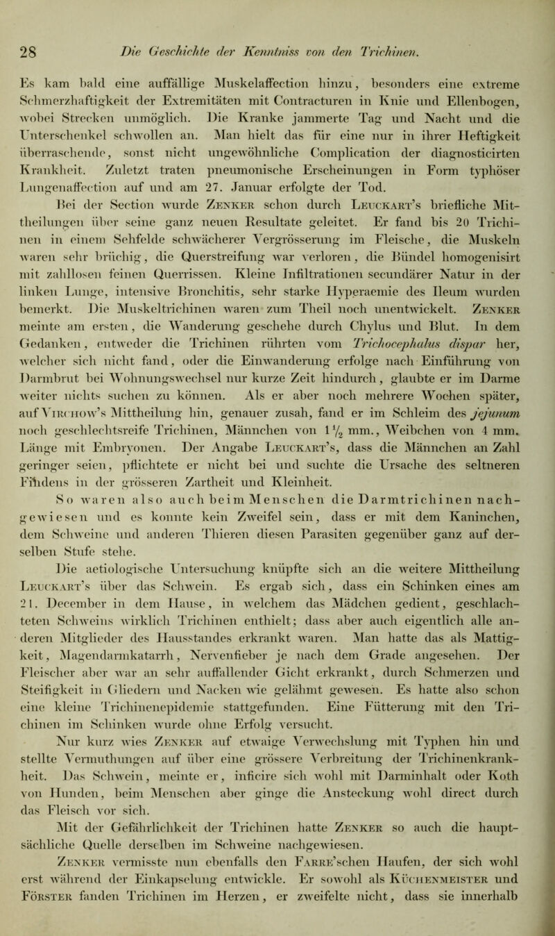 Es kam bald eine auffällige Muskelaffection hinzu, besonders eine extreme Schmerzhaftigkeit der Extremitäten mit Contracturen in Knie und Ellenbogen, wobei Strecken unmöglich. Die Kranke jammerte Tag und Nacht und die Unterschenkel schwollen an. Man hielt das für eine nur in ihrer Heftigkeit überraschende, sonst nicht ungewöhnliche Complication der diagnosticirten Krankheit. Zuletzt traten pneumonische Erscheinungen in Form typhöser Lungenaffection auf und am 27. Januar erfolgte der Tod. Bei der Section wurde Zenker schon durch Leuckart’s briefliche Mit- theilungen über seine ganz neuen Resultate geleitet. Er fand bis 20 Trichi- nen in einem Sehfelde schwächerer Vergrösserung im Fleische, die Muskeln waren sehr brüchig, die Querstreifung war verloren, die Bündel homogenisirt mit zahllosen feinen Querrissen. Kleine Infiltrationen secundärer Natur in der linken Lunge, intensive Bronchitis, sehr starke Ilyperaemie des Ileum wurden bemerkt. Die Muskeltrichinen waren zum Theil noch unentwickelt. Zenker meinte am ersten, die Wanderung geschehe durch Chylus und Blut. In dem Gedanken, entweder die Trichinen rührten vom Trichocephalus dispar her, welcher sich nicht fand, oder die Einwanderung erfolge nach Einführung von Darmbrut bei Wohnungswechsel nur kurze Zeit hindurch, glaubte er im Darme weiter nichts suchen zu können. Als er aber noch mehrere Wochen später, auf Virchow’s Mittheilung hin, genauer zusah, fand er im Schleim des jejunum noch geschleclitsreife Trichinen, Männchen von l4/2 mm., Weibchen von 4 mm. Länge mit Embryonen. Der Angabe Leuckart’s, dass die Männchen an Zahl geringer seien, pflichtete er nicht bei und suchte die Ursache des seltneren Eilidens in der grösseren Zartheit und Kleinheit. So waren also auch beim Menschen die Darmtrichinen nach- gewiesen und es konnte kein Zweifel sein, dass er mit dem Kaninchen, dem Schweine und anderen Thieren diesen Parasiten gegenüber ganz auf der- selben Stufe stehe. Die aetiologische Untersuchung knüpfte sich an die weitere Mittheilung Leuckart’s über das Schwein. Es ergab sich, dass ein Schinken eines am 21. December in dem Hause, in welchem das Mädchen gedient, geschlach- teten Schweins wirklich Trichinen enthielt; dass aber auch eigentlich alle an- deren Mitglieder des Hausstandes erkrankt waren. Man hatte das als Mattig- keit , Magendarmkatarrh, Nervenfieber je nach dem Grade angesehen. Der Fleischer aber war an sehr auflallender Gicht erkrankt, durch Schmerzen und Steifigkeit in Gliedern und Nacken wie gelähmt gewesen. Es hatte also schon eine kleine Trichinenepidemie stattgefunden. Eine Fütterung mit den Tri- chinen im Schinken wurde ohne Erfolg versucht. Nur kurz wies Zenker auf etwaige Verwechslung mit Typhen hin und stellte Vermuthungen auf über eine grössere Verbreitung der Trichinenkrank- heit. Das Schwein, meinte er, inficire sich wohl mit Darminhalt oder Koth von Hunden, beim Menschen aber ginge die Ansteckung wohl direct durch das Fleisch vor sich. Mit der Gefährlichkeit der Trichinen hatte Zenker so auch die haupt- sächliche Quelle derselben im Schweine nachgewiesen. Zenker vermisste nun ebenfalls den FARRE’schen Haufen, der sich wohl erst während der Einkapselung entwickle. Er sowohl als Küchenmeister und Förster fanden Trichinen im Herzen, er zweifelte nicht, dass sie innerhalb