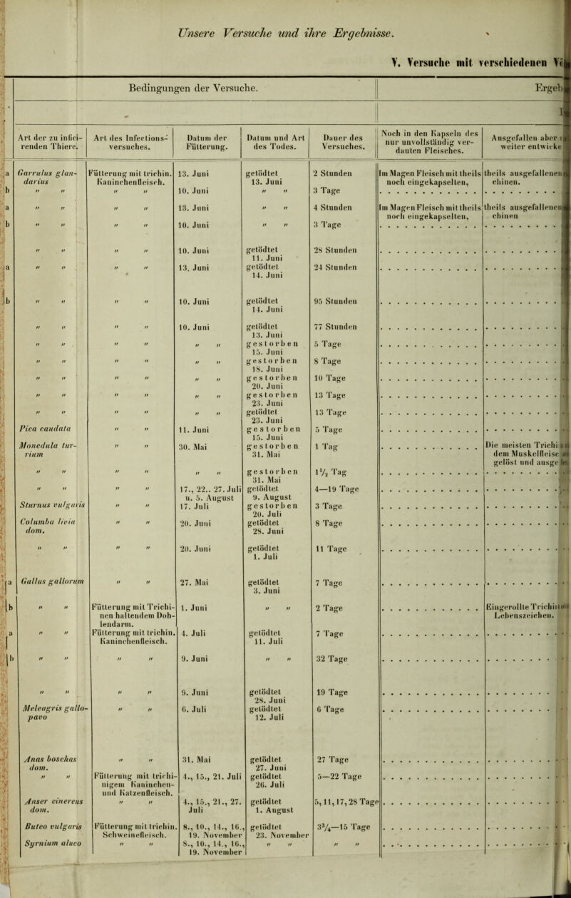 • V. Versuche mit verschiedenen Vii Bedingungen der Versuche. Ergeh | Art der zu infiei- renden Thiere. Art des Infections- versuches. Datum der Fütterung. Datum und Art des Todes. 1 Dauer des Versuches, j Noch in den Kapseln des nur unvollständig ver- dauten Fleisches. Ausgefallen aber i weiter entwicke Garrulus glan- Fütterung mit triehin. 13. Juni getödtet 2 Stunden Im Magen Fleisch mit theils theils ausgefallenen darius Kaninchenfleisch. 13. Juni noch eingekapselten, chinen. 10. Juni 3 Tage „ „ n ii 13. Juni ii ii 4 Stunden Im Magen Fleisch mit theils theils ausgefallenen noch eingekapselten, chinen tt tt 10. Juni ii n 3 Tage n tt tt tt 10. Juni getödtet 28 Stunden 11. Juni « n ii 13. Juni getödtet 24 Stunden 14. Juni n tt tt ft 10. Juni getödtet 95 Stunden 14. Juni „ n ii ii 10. Juni getödtet 77 Stunden 13. Juni n n ii n ii ii gestorben 5 Tage 15. Juni n ii n n ii n gestorben 8 Tage 18. Juni ii n tt ft ii n gestorben 10 Tage 20. Juni II u n ii ii ii gestorben 13 Tage 23. Juni ii n ii n ii ii getödtet 13 Tage 23. Juni Pica caudata ii ii 11. Juni gestorben 5 Tage 15. Juni Monedula tur- U II 30. Mai gestorben 1 Tag Die meisten Trichi ntl riutn 31. Mai dem MuskelfleiscM gelöst und ausge !a n ii II II ii ii gestorben 1 Va Tag 31. Mai n ii II II 17., 22.. 27. Juli getödtet 4—19 Tage Sturnus vulgaris u. 5. August 9. August II II 17. Juli gestorben 3 Tage 20. Juli Columba livia II II 20. Juni getödtet 8 Tage dom. 28. Juni „ II 20. Juni getödtet 11 Tage 1. Juli Gallus gallorum II II 27. Mai getödtet 7 Tage 3. Juni „ „ Fütterung mit Trichi- 1. Juni ii ii 2 Tage Eingerollte Trichiuoli* nen haltendem Doh- lendarm. Lebenszeichen. ii n Fütterung mit triehin. 4. Juli getödtet 7 Tage Kaninchenfleisch. 11. Juli ) tt n „ 9. Juni 32 Tage tt tt ,i 9. Juni getödtet 28. Juni 19 Tage Meleagris gallo- ii ii 6. Juli getödtet 6 'Page pavo 12. Juli Anas boschas 31. Mai getödtet 27 Tage dom. 27. Juni n ii Fütterung mit trichi- ■ 4., 15., 21. Juli getödtet 5—22 Tage nigem Kaninchen- uud Kaizenfleisch. 26. Juli Anser cinereus n ii 4., 15., 21., 27. getödtet 5,11,17,28 Tage dom. Juli 1. August Buteo vulgaris Fütterung mit triehin. . 8., 10., 14., 16.. , getödtet 33/4-15 Tage Schweinefleisch. 19. November 23. November Syrnium aluco 8., 10., 14., 16.. , U II ii ii 1 19. November 1