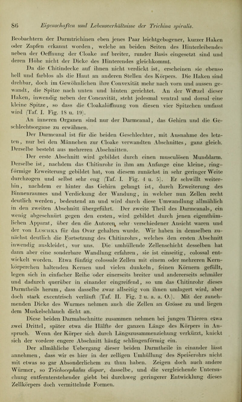 Beobachtern der Darmtrichinen eben jenes Paar leichtgebogener, kurzer Haken oder Zapfen erkannt worden, welche an beiden Seiten des Hinterleibendes neben der Oeffnung der Cloake auf breiter, runder Basis eingesetzt sind und deren Höhe nicht der Dicke des Hinterendes gleichkommt. Da die Chitindecke auf ihnen nicht verdickt ist, erscheinen sie ebenso hell und farblos als die Haut an anderen Stellen des Körpers. Die Haken sind drehbar, docli im Gewöhnlichen ihre Convexität mehr nach vorn und aussen ffe- wandt, die Spitze nach unten und hinten gerichtet. An der Wtftzel dieser Haken, inwendig neben der Concavität, steht jedesmal ventral und dorsal eine kleine Spitze, so dass die CloakalöfFnung von diesen vier Spitzchen umfasst wird (Taf. I. Fig. 18 u. 19). An inneren Organen sind nur der Darmcanal, das Gehirn und die Ge- schlechtsorgane zu erwähnen. Der Darmcanal ist für die beiden Geschlechter, mit Ausnahme des letz- ten , nur bei den Männchen zur Cloake verwandten Abschnittes, ganz gleich. Derselbe besteht aus mehreren Abschnitten. Der erste Abschnitt wird gebildet durch einen musculösen Munddarm. Derselbe ist, nachdem das Chitinrohr in ihm am Anfänge eine kleine, ring- förmige Erweiterung gebildet hat, von diesem zunächst in sehr geringer Weite durchzogen und selbst sehr eng (Taf. I. Fig. 4 u. 5). Er schwillt weiter- hin, nachdem er hinter das Gehirn gelängt ist, durch Erweiterung des Binnenraumes und Verdickung der Wandung, in welcher nun Zellen recht deutlich werden, bedeutend an und wird durch diese Umwandlung allmählich in den zweiten Abschnitt übergeführt. Der zweite Theil des Darmcanals, ein wenig ab geschnürt gegen den ersten, wird gebildet durch jenen eigenthüm- lichen Apparat, über den die Autorei^ sehr verschiedener Ansicht waren und der von Luschka für das Ovar gehalten wurde. Wir haben in demselben zu- nächst deutlich die Fortsetzung des Chitinrohrs, welches den ersten Abschnitt inwendig auskleidet, vor uns. Die umhüllende Zellenschicht desselben hat dann aber eine sonderbare Wandlung erfahren, sie ist einseitig, colossal ent- wickelt worden. Etwa fünfzig colossale Zellen mit einem oder mehreren Kern- körperchen haltenden Kernen und vielen dunkeln, feinen Körnern gefüllt, legen sich in einfacher Reihe oder einerseits breiter und andererseits schmäler und dadurch querüber in einander eingreifend, so um das Chitinrohr dieses Darmtheils herum, dass dasselbe zwar allseitig von ihnen umlagert wird, aber doch stark excentrisch verläuft (Taf. II. Fig. 2 u. a. a. O.). Mit der zuneh- menden Dicke des Wurmes nehmen auch die Zellen an Grösse zu und liegen dem Muskelschlauch dicht an. Diese beiden Darmabschnitte zusammen nehmen bei jungen Thieren etwa zwei Drittel, später etwa die Hälfte der ganzen Länge des Körpers in An- spruch. Wenn der Körper sich durch Längszusammenziehung verkürzt, knickt sich der vordere engere Abschnitt häufig schlingenförmig ein. Der allmähliche Uebergang dieser beiden Darmtheile in einander lässt annehmen, dass wir es hier in der zelligen Umhüllung des Speiserohrs nicht mit etwas so gar Absonderlichem zu tliun haben. Zeigen doch auch andere Würmer, so Trichocephalus dispar, dasselbe, und die vergleichende Untersu- chung entfernterstehender giebt bei durchweg geringerer Entwicklung dieses Zellkörpers doch vermittelnde Formen.