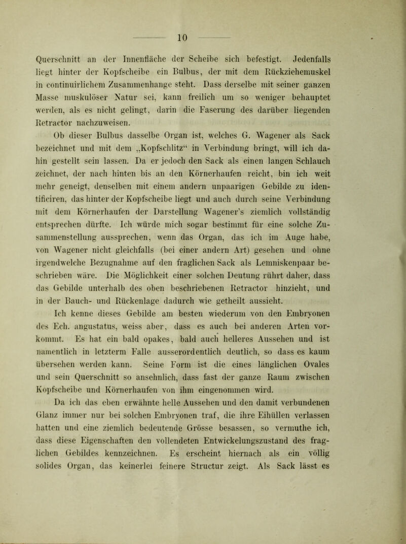 Querschnitt an der Innenfläche der Scheibe sich befestigt. Jedenfalls liegt hinter der Kopfscheibe ein Bulbus, der mit dem Rückziehemuskel in continuirlichem Zusammenhänge steht. Dass derselbe mit seiner ganzen Masse muskulöser Natur sei, kann freilich um so weniger behauptet werden, als es nicht gelingt, darin die Faserung des darüber liegenden Retractor nachzuweisen. Ob dieser Bulbus dasselbe Organ ist, welches G. Wagener als Sack bezeichnet und mit dem „Kopfschlitz“ in Verbindung bringt, will ich da- hin gestellt sein lassen. Da er jedoch den Sack als einen langen Schlauch zeichnet, der nach hinten bis an den Körnerhaufen reicht, bin ich weit mehr geneigt, denselben mit einem andern unpaarigen Gebilde zu iden- tificiren, das hinter der Kopfscheibe liegt und auch durch seine Verbindung mit dem Körnerhaufen der Darstellung WageneFs ziemlich vollständig entsprechen dürfte. Ich würde mich sogar bestimmt für eine solche Zu- sammenstellung aussprechen, wenn das Organ, das ich im Auge habe, von Wagener nicht gleichfalls (bei einer andern Art) gesehen und ohne irgendwelche Bezugnahme auf den fraglichen Sack als Lemniskenpaar be- schrieben wäre. Die Möglichkeit einer solchen Deutung rührt daher, dass das Gebilde unterhalb des oben beschriebenen Retractor hinzieht, und in der Bauch- und Rückenlage dadurch wie getheilt aussieht. Ich kenne dieses Gebilde am besten wiederum von den Embryonen des Ech. angustatus, weiss aber, dass es auch bei anderen Arten vor- kommt. Es hat ein bald opakes, bald auch helleres Aussehen und ist namentlich in letzterm Falle ausserordentlich deutlich, so dass es kaum übersehen werden kann. Seine Form ist die eines länglichen Ovales und sein Querschnitt so ansehnlich, dass fast der ganze Raum zwischen Kopfscheibe und Körnerhaufen von ihm eingenommen wird. Da ich das eben erwähnte helle Aussehen und den damit verbundenen Glanz immer nur bei solchen Embryonen traf, die ihre Eihüllen verlassen hatten und eine ziemlich bedeutende Grösse besassen, so vermuthe ich, dass diese Eigenschaften den vollendeten Entwickelungszustand des frag- lichen Gebildes kennzeichnen. Es erscheint hiernach als ein völlig solides Organ, das keinerlei feinere Structur zeigt. Als Sack lässt es