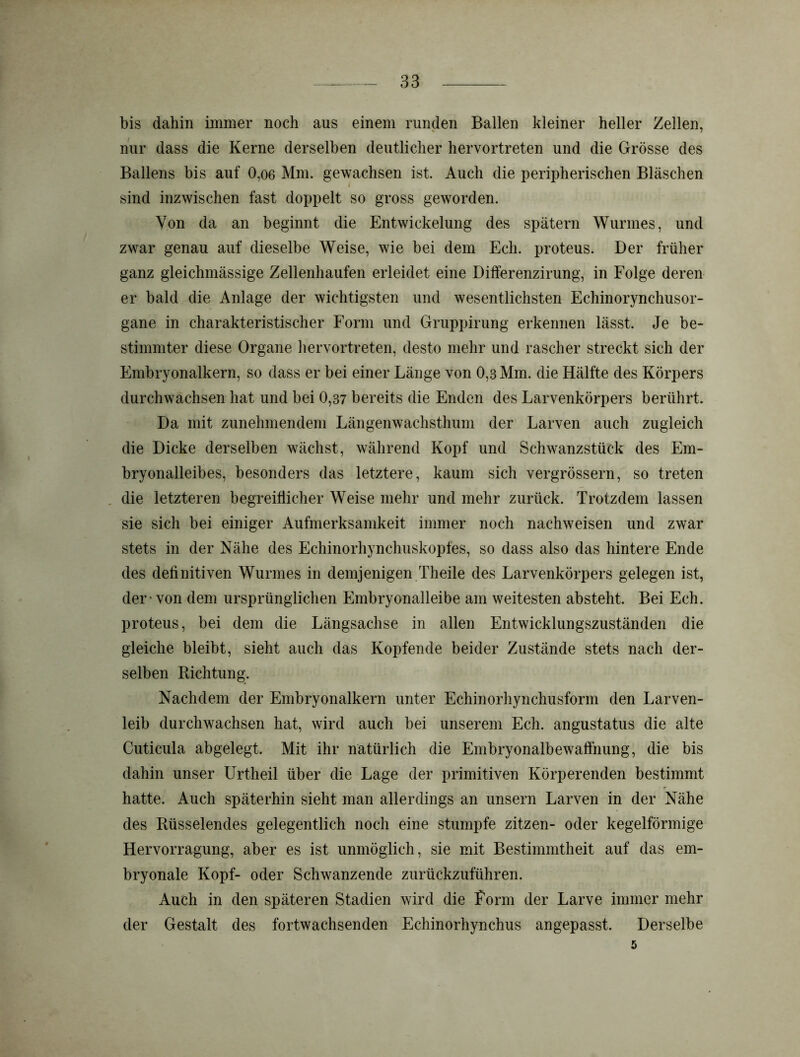 bis dahin immer noch aus einem runden Ballen kleiner heller Zellen, nur dass die Kerne derselben deutlicher hervortreten und die Grösse des Ballens bis auf 0,06 Mm. gewachsen ist. Auch die peripherischen Bläschen t sind inzwischen fast doppelt so gross geworden. Von da an beginnt die Entwickelung des spätem Wurmes, und zwar genau auf dieselbe Weise, wie bei dem Ech. proteus. Der früher ganz gleichmässige Zellenhaufen erleidet eine Dilferenzirung, in Folge deren er bald die Anlage der wichtigsten und wesentlichsten Echinorynchusor- gane in charakteristischer Form und Gruppirung erkennen lässt. Je be- stimmter diese Organe hervortreten, desto mehr und rascher streckt sich der Embryonalkern, so dass er bei einer Länge von 0,3 Mm. die Hälfte des Körpers durchwachsen hat und bei 0,37 bereits die Enden des Larvenkörpers berührt. Da mit zunehmendem Längenwachsthum der Larven auch zugleich die Dicke derselben wächst, während Kopf und Schwanzstück des Em- bryonalleibes, besonders das letztere, kaum sich vergrössern, so treten die letzteren begreiflicher Weise mehr und mehr zurück. Trotzdem lassen sie sich bei einiger Aufmerksamkeit immer noch nachweisen und zwar stets in der Nähe des Echinorhynchuskopfes, so dass also das hintere Ende des definitiven Wurmes in demjenigen Theile des Larvenkörpers gelegen ist, der • von dem ursprünglichen Embryonalleibe am weitesten absteht. Bei Ech. proteus, bei dem die Längsachse in allen Entwicklungszuständen die gleiche bleibt, sieht auch das Kopfende beider Zustände stets nach der- selben Richtung. Nachdem der Embryonalkern unter Echinorhynchusform den Larven- leib durchwachsen hat, wird auch bei unserem Ech. angustatus die alte Cuticula abgelegt. Mit ihr natürlich die Embryonalbewaffnung, die bis dahin unser Urtheil über die Lage der primitiven Körperenden bestimmt hatte. Auch späterhin sieht man allerdings an unsern Larven in der Nähe des Rüsselendes gelegentlich noch eine stumpfe zitzen- oder kegelförmige Hervorragung, aber es ist unmöglich, sie mit Bestimmtheit auf das em- bryonale Kopf- oder Schwanzende zurückzuführen. Auch in den späteren Stadien wird die Form der Larve immer mehr der Gestalt des fortwachsenden Echinorhynchus angepasst. Derselbe 5