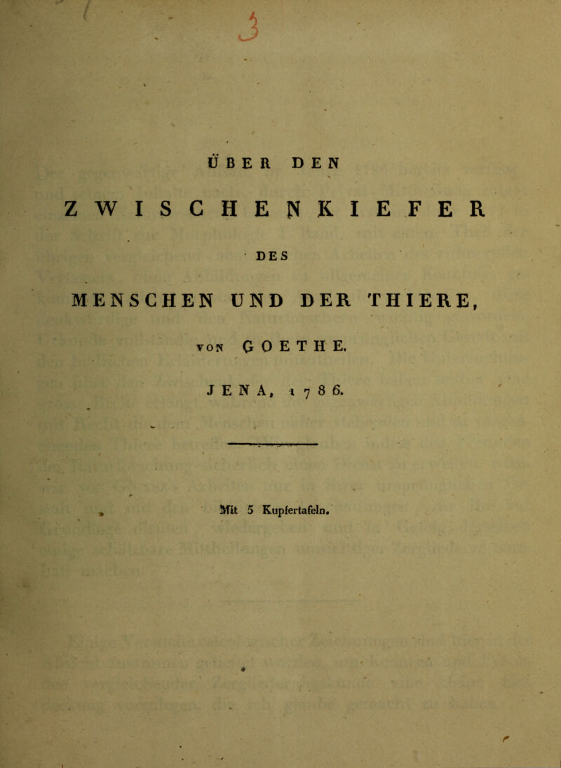 f \ ' , f *. ^ ♦ ÜBER DEN V , ZWISCHEN KIEFER DES MENSCHEN UND DER THIERE, ton GOETHE. ✓ S JENA, 1786. Mit 5 Kupfer tafeln. r