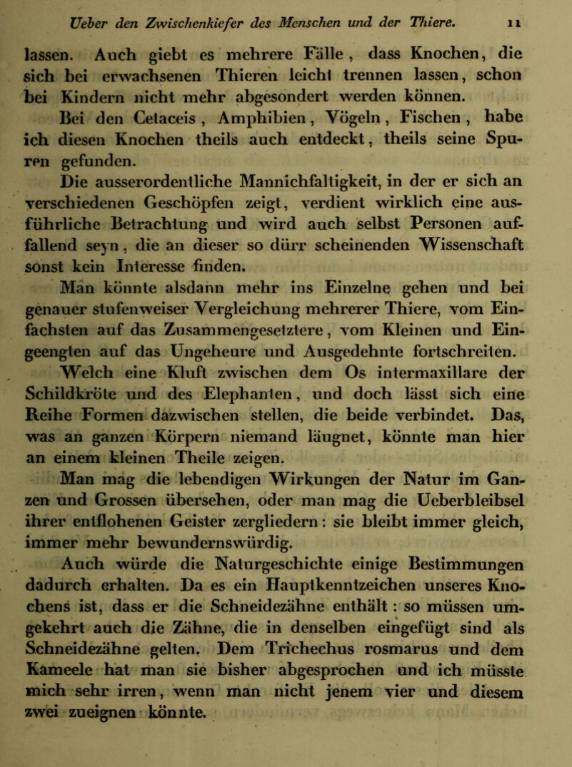 / lassen. Auch giebt es mehrere Fälle, dass Knochen, die sich bei erwachsenen Thieren leichl trennen lassen, schon bei Kindern nicht mehr abgesondert werden können. Bei den Cetaceis , Amphibien, Vögeln, Fischen , habe ich diesen Knochen theils auch entdeckt, theils seine Spu- ren gefunden. Die ausserordentliche Mannichfaltigkeit, in der er sich an verschiedenen Geschöpfen zeigt, verdient wirklich eine aus- führliche Betrachtung und wird auch selbst Personen auf- fallend seyn, die an dieser so dürr scheinenden Wissenschaft sonst kein Interesse finden. Man könnte alsdann mehr ins Einzelne gehen und bei genauer stufenweiser Vergleichung mehrerer Thiere, vom Ein- fachsten auf das Zusammengesetztere, vom Kleinen und Ein- geengten auf das Ungeheure und Ausgedehnte fortschreiten. Welch eine Kluft zwischen dem Os intermaxillare der Schildkröte und des Elephanten, und doch lässt sich eine Reihe Formen dazwischen stellen, die beide verbindet. Das, was an ganzen Körpern niemand läugnet, könnte man hier an einem kleinen Theile zeigen. Man mag die lebendigen Wirkungen der Natur im Gan- zen und Grossen übersehen, oder man mag die Ueberbleibsel ihrer entflohenen Geister zergliedern: sie bleibt immer gleich, immer mehr bewundernswürdig. Auch würde die Naturgeschichte einige Bestimmungen dadurch erhalten. Da es ein Hauptkenntzeichen unseres Kno- chens ist, dass er die Schneidezähne enthält: so müssen um- gekehrt auch die Zähne, die in denselben eingefügt sind als Schneidezähne gelten, Dem Trichechus rosmarus und dem Kameele hat man sie bisher abgesprochen und ich müsste mich sehr irren, wenn man nicht jenem vier und diesem zwei zueignen könnte.