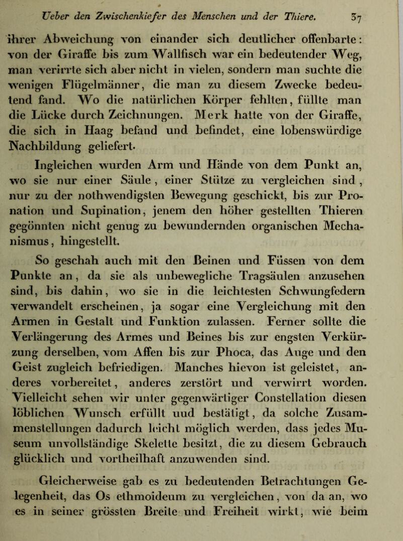 ihrer Abweichung von einander sich deutlicher offenbarte: von der Giraffe bis zum Wallfisch war ein bedeutender Weg, man verirrte sich aber nicht in vielen, sondern man suchte die wenigen Flügelmänner, die man zu diesem Zwecke bedeu- tend fand. Wo die natürlichen Körper fehlten, füllte man die Lücke durch Zeichnungen. Merk halte von der Giraffe, die sich in Haag befand und befindet, eine lobenswürdige Nachbildung geliefert. Ingleichen wurden Arm und Hände von dem Punkt an, wo sie nur einer Säule , einer Stütze zu vergleichen sind , nur zu der nothwendigslen Bewegung geschickt, bis zur Pro- nation und Supination, jenem den höher gestellten Thieren gegönnten nicht genug zu bewundernden organischen Mecha- nismus, hingestellt. So geschah auch mit den Beinen und Füssen von dem Punkte an, da sie als unbewegliche Tragsäulen anzusehen sind, bis dahin, wo sie in die leichtesten Schwungfedern verwandelt erscheinen, ja sogar eine Vergleichung mit den Armen in Gestalt und Funktion zulassen. Ferner sollte die Verlängerung des Armes und Beines bis zur engsten Verkür- zung derselben, vom Affen bis zur Phoca, das Auge und den Geist zugleich befriedigen. Manches hievon ist geleistet, an- deres vorbereitet, anderes zerstört und verwirrt worden. Vielleicht sehen wir unter gegenwärtiger Constellation diesen löblichen Wunsch erfüllt uud bestätigt, da solche Zusam- menstellungen dadurch leicht möglich werden, dass jedes Mu- seum unvollständige Skelette besitzt, die zu diesem Gebrauch glücklich und vortheilhaft anzuwenden sind. Gleicherweise gab es zu bedeutenden Betrachtungen Ge- legenheit, das Os ethmoideum zu vergleichen, von da an, wo es in seiner grössten Breite und Freiheit wirkt, wie beim