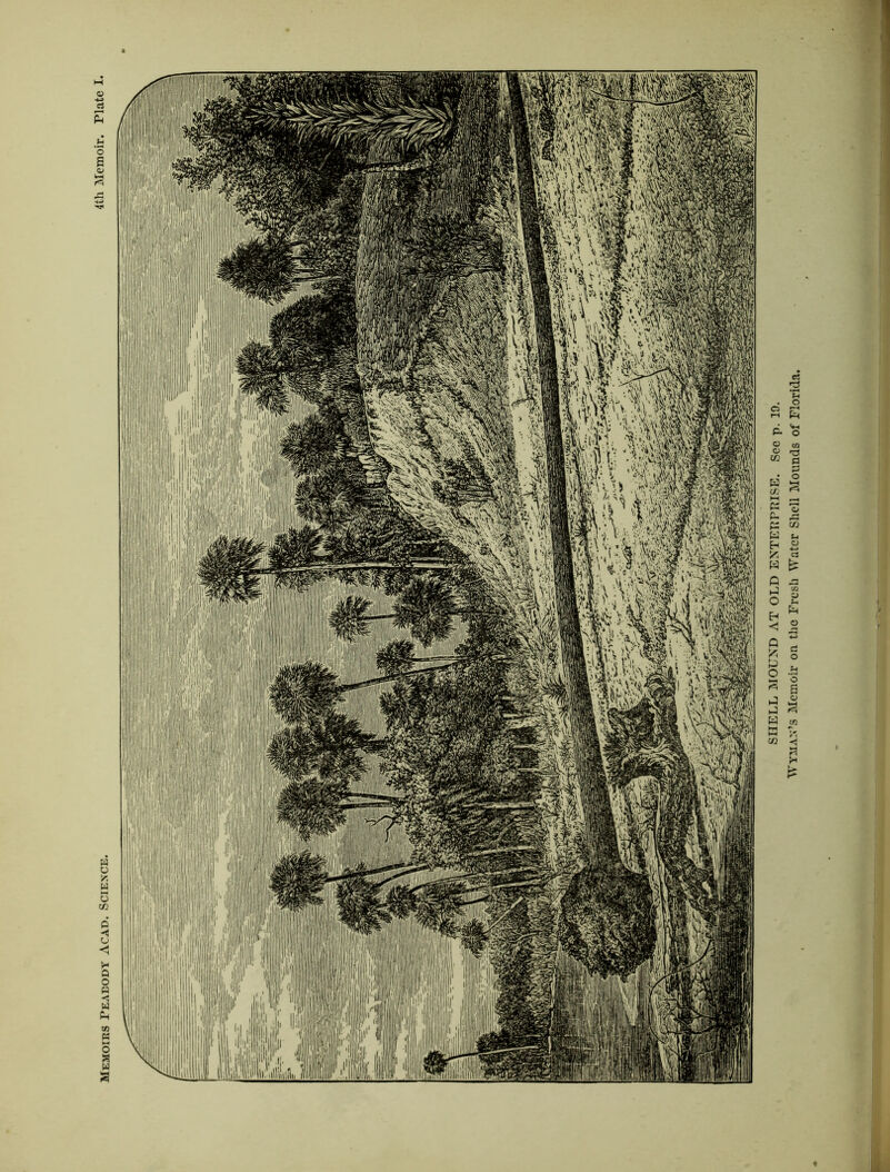 Memoirs Peabody Acad. Science. I i SHELL MOUND AT OLD ENTERPRISE. See p. 19. Wyman’s Memoir or the Fresh Water Shell Mounds of Florida.