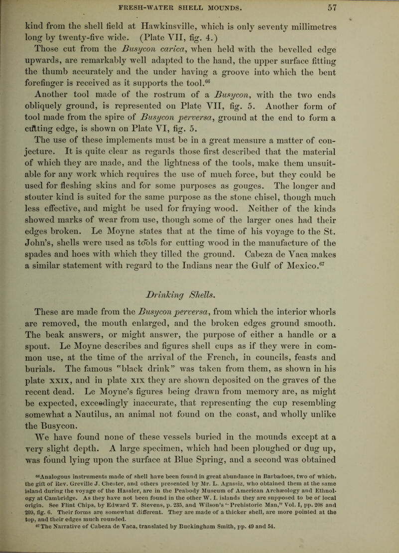 kind from the shell field at Hawkinsville, which is only seventy millimetres long by twenty-five wide. (Plate VII, fig. 4.) Those cut from the Busy con caricci, when held with the bevelled edge upwards, are remarkably well adapted to the hand, the upper surface fitting the thumb accurately and the under having a groove into which the bent forefinger is received as it supports the tool.66 Another tool made of the rostrum of a Busycon, with the two ends obliquely ground, is represented on Plate VII, fig. 5. Another form of tool made from the spire of Busycon perversa, ground at the end to form a editing edge, is shown on Plate VI, fig. 5. The use of these implements must be in a great measure a matter of con- jecture. It is quite clear as regards those first described that the material of which they are made, and the lightness of the tools, make them unsuit- able for any work which requires the use of much force, but they could be used for fleshing skins and for some purposes as gouges. The longer and stouter kind is suited for the same purpose as the stone chisel, though much less effective, and might be used for fraying wood. Neither of the kinds showed marks of wear from use, though some of the larger ones had their edges broken. Le Moyne states that at the time of his voyage to the St. John’s, shells were used as tools for cutting wood in the manufacture of the spades and hoes with which they tilled the ground. Cabeza de Vaca makes a similar statement with regard to the Indians near the Gulf of Mexico.67 Drinking Shells. These are made from the Busycon perversa, from which the interior whorls are removed, the mouth enlarged, and the broken edges ground smooth. The beak answers, or might answer, the purpose of either a handle or a spout. Le Moyne describes and figures shell cups as if they were in com- mon use, at the time of the arrival of the French, in councils, feasts and burials. The famous black drink” was taken from them, as shown in his plate xxix, and in plate xix they are shown deposited on the graves of the recent dead. Le Moyne’s figures being drawn from memory are, as might be expected, exceedingly inaccurate, that representing the cup resembling somewhat a Nautilus, an animal not found on the coast, and wholly unlike the Busycon. We have found none of these vessels buried in the mounds except at a very slight depth. A large specimen, which had been ploughed or dug up, was found lying upon the surface at Blue Spring, and a second was obtained 66Analogous instruments made of shell have been found in great abundance in Barbadoes, two of which, the gift of Rev. Greville J. Chester, and others presented by Mr. L. Agassiz, who obtained them at the same island during the voyage of the Hassler, are in the Peabody Museum of American Archaeology and Ethnol- ogy at Cambridge. As they have not been found in the other W. I. islands they are supposed to be of local origin. See Flint Chips, by Edward T. Stevens, p. 235, and Wilson’s ‘‘Prehistoric Man,” Vol. I, pp.20S and 209, fig. 6. Their forms are somewhat different. They are made of a thicker shell, are more pointed at the top, and their edges much rounded. <57The Narrative of Cabeza de Vaca, translated by Buckingham Smith, pp. 49 and 54.
