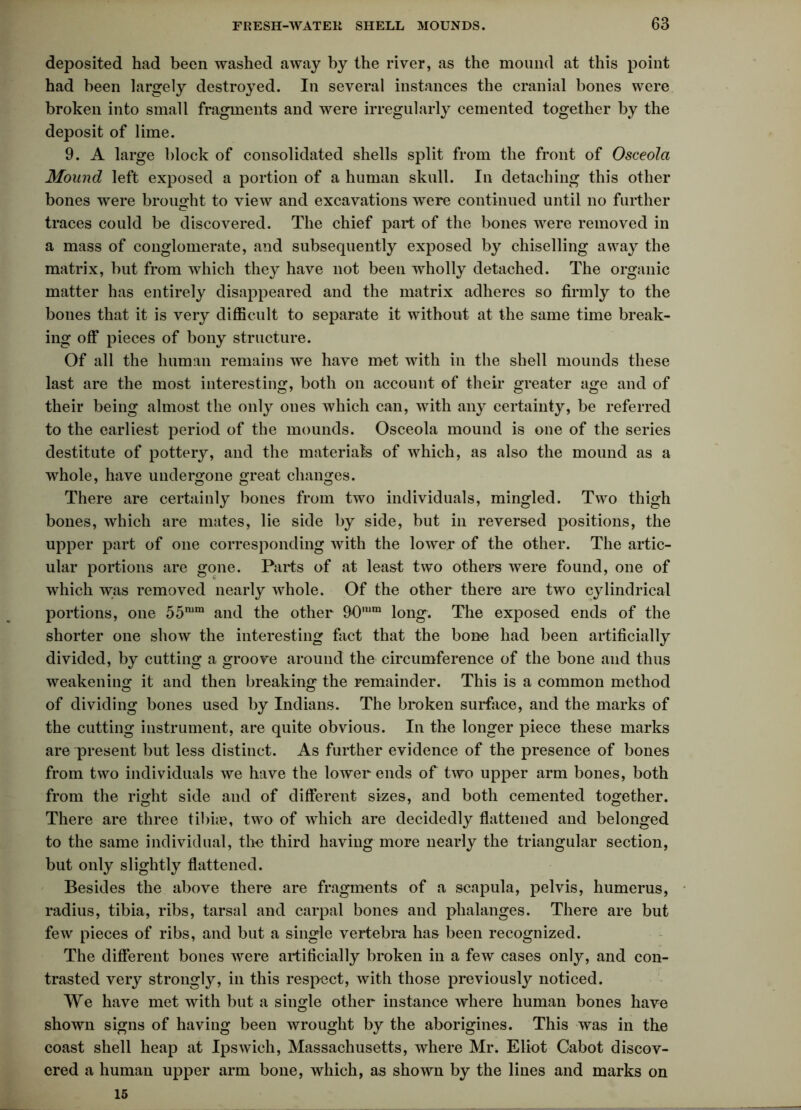 deposited had been washed away by the river, as the mound at this point had been largely destroyed. In several instances the cranial bones were broken into small fragments and were irregularly cemented together by the deposit of lime. 9. A large block of consolidated shells split from the front of Osceola Mound left exposed a portion of a human skull. In detaching this other bones were brought to view and excavations were continued until no further traces could be discovered. The chief part of the bones were removed in a mass of conglomerate, and subsequently exposed by chiselling away the matrix, but from which they have not been wholly detached. The organic matter has entirely disappeared and the matrix adheres so firmly to the bones that it is very difficult to separate it without at the same time break- ing off pieces of bony structure. Of all the human remains we have met with in the shell mounds these last are the most interesting, both on account of their greater age and of their being almost the only ones which can, with any certainty, be referred to the earliest period of the mounds. Osceola mound is one of the series destitute of pottery, and the materials of which, as also the mound as a whole, have undergone great changes. There are certainly bones from two individuals, mingled. Two thigh bones, which are mates, lie side by side, but in reversed positions, the upper part of one corresponding with the lower of the other. The artic- ular portions are gone. Parts of at lea&t two others were found, one of which was removed nearly whole. Of the other there are two cylindrical portions, one 55mm and the other 90n,m long. The exposed ends of the shorter one show the interesting fact that the bone had been artificially divided, by cutting a groove around the circumference of the bone and thus weakening it and then breaking the remainder. This is a common method of dividing bones used by Indians. The broken surface, and the marks of the cutting instrument, are quite obvious. In the longer piece these marks are present but less distinct. As further evidence of the presence of bones from two individuals we have the lower ends of two upper arm bones, both from the right side and of different sizes, and both cemented together. There are three fibre, two of which are decidedly flattened and belonged to the same individual, tire third having more nearly the triangular section, but only slightly flattened. Besides the above there are fragments of a scapula, pelvis, humerus, radius, tibia, ribs, tarsal and carpal bones and phalanges. There are but few pieces of ribs, and but a single vertebra has been recognized. The different bones were artificially broken in a few cases only, and con- trasted very strongly, in this respect, with those previously noticed. We have met with but a single other instance where human bones have shown signs of having been wrought by the aborigines. This was in the coast shell heap at Ipswich, Massachusetts, where Mr. Eliot Cabot discov- ered a human upper arm bone, which, as shown by the lines and marks on 15