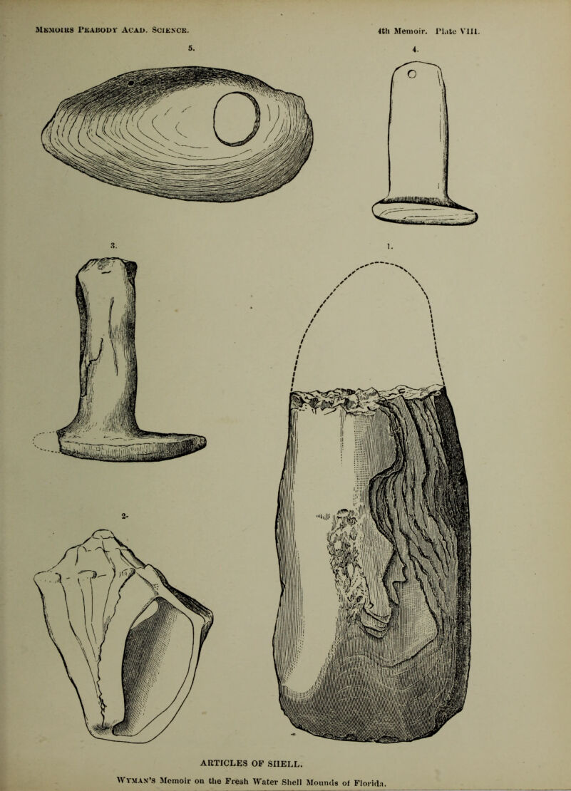 ARTICLES OF SHELL.