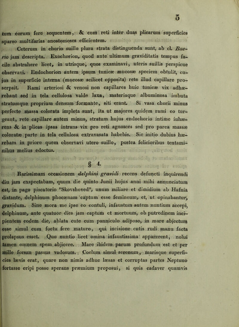 6 tum eorum fere sequentem, & cum'reti inter duas plicaruni superficies *parso multifarias anostomoses .eflScientem. f ’ ; i Ceterum in chorio suillo plura strata distinguenda sunt, ab cl. Bae^ /•io jam descripta., Exochorion> quod ante'ultimum.graviditatis tempus fa- cile abstrahere licet, in utrisque, quos examinavi, uteris suillis perspicue observavi. Endochorion autem ipsum tunicae mucosae speciem obtulit, cu- jus in superficie interna (mucosae scilicet opposita) rete illud capillare pro- serpsit. Rami arteriosi & venosi non capillares huic tunicae vix adhae- rebant sed in telaj cellulosa valde laxa, materiaque albuminosa imbuta stratumque proprium densum iforraante, siti erant. Si vasa chorii minus perfecte massa colorata impleta sunt, ita ut majores quidem rami eo tur- geant, rete capillare autem minus, stratum hujus endochorio intime inhae- rens & in'plicas ipsas intrans-vix pro reti agnosces sed pro parca massas coloratae parte in tela cellulosa extravasata habebis. Sic initio dubius hae- rebam in priore quem observavi utero suillo, postea felicioribus tentami- nibus melius edoctus. .; v, , - ■ '■ ‘ ii: ■- ' ■ ■ '  - • • § 4. .1 Rarissimam occasionem delphini gravidi recens defuncti inquirendi diu jam exspectabam, quum die quinto Junii hujus anni mihi annunciatura est, in pago piscatorio ”Skovshoved”, unum miliare et dimidium ab Hafnia distante, delphinum phocaenam'captum esse femineum, et,'ut opinabantur, gravidum. Sine mora me ipse eo contuli, infaustum autem nuntium accepi, delphinum, ante quatuor dies jam captum et mortuum, ob putredinem inci- pientem eodem die, ablata cute cum panniculo adiposo, in mare abjectum .esse simul cum, foetu fere maturo, qui incisione^cutis rudi,.manu facta I prolapsus esset. Quo nuntio licet omina infaustissima' apparerent, i nolui i tamen omnem spem abjicere. Mare ibidem parum profundum est etrper ' mille • forsan passus vadosum^ i Coelum simul serenum , -jmarisque superfi- icies laevis erat, quare non nimis adhuc laesas et corruptas partes Neptuno fortasse eripi posse sperans praemium proposui, si quis cadaver quamvis