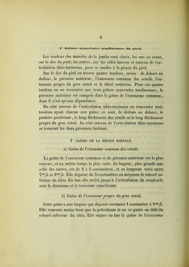 1° Gainer synoviales tendineuses du pied. Les tendons des muscles de la jambe sont situés, les uns en avant, sur le dos du pied; les autres, sur les côtés interne et externe de l’ar- ticulation tibio-tarsienne, pour se rendre à la plante du pied. Sur le dos du pied on trouve quatre tendons, savoir: de dehors en dedans, le péronier antérieur, l’extenseur commun des orteils, l’ex- tenseur propre du gros orteil et le tibial antérieur. Pour ces quatre tendons on ne rencontre que trois gaines synoviales tendineuses; le péronier antérieur est compris dans la gaine de l’extenseur commun , dont il n’est qu’une dépendance. Du côté interne de l’articulation tibio-tarsienne on rencontre trois tendons ayant chacun une gaine; ce sont, de dedans en dehors, le jambier postérieur, le long fléchisseur des orteils et le long fléchisseur propre du gros orteil. Au côté externe de l’articulation tibio-tarsienne se trouvent les deux péroniers latéraux. 1° GAINES DE LA RÉGION DORSALE, a) G aîné de Vextenseur commun des orteils. La gaine de l'extenseur commun et du péronier antérieur est la plus externe, et en même temps la plus vaste. Sa largeur, plus grande que celle des autres, est de 2 à 3 centimètres, et sa longueur varie entre 7cm,5 et 8cm,5. Elle dépasse de 3 centimètres en moyenne le rebord in- férieur du tibia. En bas elle arrive jusqu’à l’articulation du scaphoïde avec le deuxième et le troisième cunéiforme. b) Gaine de l'extenseur propre du gros orteil. Cette gaine a une largeur qui dépasse rarement i centimètre à 1cm,5. Elle remonte moins haut que la précédente et ne va guère au delà du rebord inférieur du tibia. Elle sépare en bas la gaine de l’extenseur