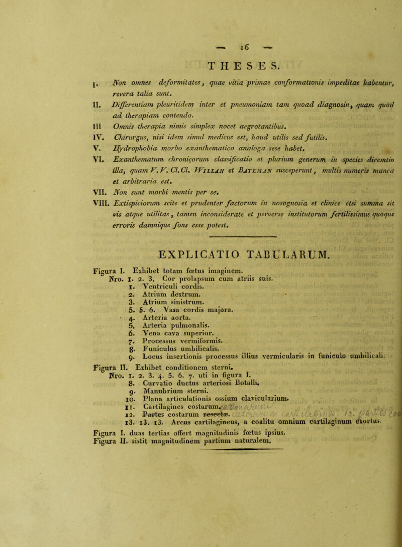 THESES. j. Non omnes deformitates, quae vitia primae conformationis impeditae habentur, revera talia sunt. II. Differentiam pleuritidem inter et pneumoniam tam quoad diagnosin, quam quod ad therapiam contendo. III Omnis therapia nimis simplex nocet aegrotantibus. IV. Chirurgus, nisi idem simul medicus est, haud utilis sed futilis. V. Hydrophobia morbo exanthematico analoga sese habet. VI. Exanthematum chronicorum classificatio et plurium generum in species diremtio illa, quam V. V. Cl. Cl. JVlLLAN et Batemjn susceperunt, multis numeris manca et arbitraria est. VII. Non sunt morbi mentis per se. VIII. Extispiciorum scite et prudenter factorum in nosognosia et clinice etsi summa sit vis atque utilitas, tamen inconsiderate et perverse institutorum fertilissimus quoque erroris damnique fons esse potest. EXPLICATIO TABULARUM. Figura I. Exhibet totam foetus Imaginem. Nro. I. 2. 3. Cor prolapsum cum atriis suis. 1. Ventriculi cordis. 2. Atrium dextrum. 3. Atrium sinistrum. 5. 5- 6. Vasa cordis majora. • 4. Arteria aorta. 5. Arteria pulmonalis. 6. Vena cava superior. 7. Processus vermiformis. 8- Funiculus umbilicalis. 9. Locus insertionis processus illius vermicularis in funiculo umbilicali. Figura II. Exhibet conditionem sterni. Nro. I. 2. 3. 4. 5. 6. 7. uti in figura I. 8. Curvatio ductus arteriosi Botalli. g. Manubrium sterni. 10. Plana articulationis ossium clavicularium. 11. Cartilagines costarum.. 12. Partes costarum resectae. 13. l3. l3. Arcus cartilagineus, a coalitu omnium carlilaginum CXorlus. Figura I. duas tertias offert magnitudinis foetus ipsius. Figura II. sistit magnitudinem partium naturalem.