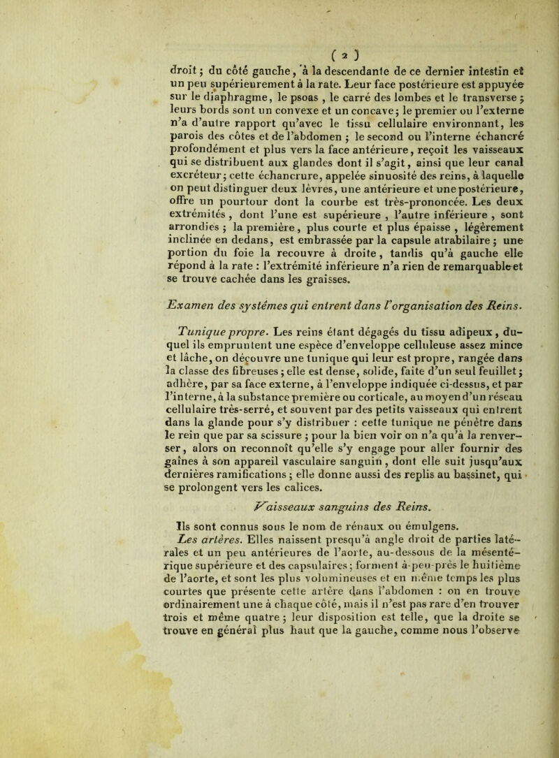 droit ; du côté gauche, à la descendante de ce dernier intestin et un peu s^upérieurement à la rate. Leur face postérieure est appuyée sur le diaphragme, le psoas , le carré des lombes et le transverse 5 leurs bords sont un convexe et un concave j le premier ou l’externe n’a d’autre rapport qu’avec le tissu cellulaire environnant, les parois des côtes et de l’abdomen j le second ou l’interne échancré profondément et plus vers la face antérieure, reçoit les vaisseaux qui se distribuent aux glandes dont il s’agit, ainsi que leur canal excréteur j cette échancrure, appelée sinuosité des reins, à laquelle on peut distinguer deux lèvres, une antérieure et une postérieure, offre un pourtour dont la courbe est très-prononcée. Les deux extrémités , dont l’une est supérieure , l’autre inférieure , sont arrondies j la première , plus courte et plus épaisse , légèrement inclinée en dedans , est embrassée par la capsule atrabilaire ; une portion du foie la recouvre à droite , tandis qu’à gauche elle répond à la rate : l’extrémité inférieure n’a rien de remarquableet se trouve cachée dans les graisses. Examen des systèmes qui entrent dans Corganisation des Reins. Tunique propre. Les reins étant dégagés du tissu adipeux, du- quel ils empruntent une espèce d’enveloppe celluleuse assez mince et lâche, on découvre une tunique qui leur est propre, rangée daiîs la classe des fibreuses ; elle est dense, solide, faite d’un seul feuillet j adhère, par sa face externe, à l’enveloppe indiquée ci-dessus, et par l’interne, à la substance première ou corticale, au moyen d’un réseau cellulaire très-serré, et souvent par des petits vaisseaux qui entrent dans la glande pour s’y distribuer : cette tunique ne pénètre dans le rein que par sa scissure 5 pour la bien voir on n’a qu’à la renver- ser, alors on reconnoît qu’elle s’y engage pour aller fournir des gaines à son appareil vasculaire sanguin , dont elle suit jusqu’aux dernières ramifications ; elle donne aussi des replis au bassinet, qui se prolongent vers les calices. J^aisseaux sanguins des Reins. Ils sont connus sous le nom de rénaux ou émulgens. Les artères. Elles naissent presqu’à angle droit de parties laté- rales et un peu antérieures de l’aorte, au-dessous de la mésenté- rique supérieure et des capsulaires ; forment à-peu-près le huitième de l’aorte, et sont les plus volumineuses et en n.ême temps les plus courtes que présente cette artère dans l’abdomen : ou en trouve ordinairement une à chaque côté, mais il n’est pas rare d’en trouver trois et même quatre; leur disposition est telle, que la droite se trouve en général plus haut que la gauche, comme nous l’observe