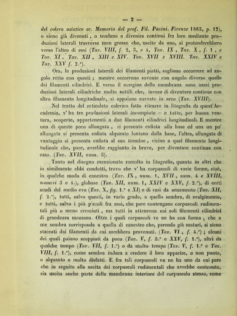 del colera asiatico ec. Memoria del prof. FU. Pacini. Firenze i865, p. 12), o sieno già divenuti , o tendano a divenire continui fra loro mediante pro- duzioni laterali trasverse men grosse che, uscite da uno, si protenderebbero verso l'altro di essi [Tav. Vili, f. 2, 3, e 4, Tav. IX , Tav. X , f. l , e Tav. XI, ' Tav. XII, XIII e XIV. Tav. XVII e XVIII. Tav. XXIV e Tav. XXV f. 2.«). Ora, le produzioni laterali dei filamenti piatti, sogliono occorrere ad an- golo retto con questi ; mentre occorrono sovente con angolo diverso quelle dei filamenti cilindrici. E verso il margine della membrana sono assai pro- duzioni laterali cilindriche molto sottili che, invece di diventare continue con altro filamento longitudinale, vi appaiono curvate in arco [Tav. XVIII). Nel tratto del reticolato colerico fatto ritrarre in litografìa da quest’Ac- cademia, v’ha tre produzioni laterali incompiute - c tutte, per buona ven- tura, scoperte, appartenenti a due filamenti cilindrici longitudinali. E mentre una di queste poco allungata , si presenta enfiata alla base ed una un po’ allungata si presenta enfiata alquanto lontano dalla base, l’altra, allungata di vantaggio si presenta enfiata al suo termine , vicino a quel filamento longi- tudinale che, pare, avrebbe raggiunto in breve, per diventare continua con esso. {Tav. XVII, num. 3). Tanto nel disegno menzionato raccolto in litografìa, quanto in altri che io similmente ebbi condotti, trovo che v’ ha corpuscoli di varie forme, cioè, in qualche modo di canestro {Tav. IX, num. 1, XVII, num. 4 e XVIII, numeri 3 e 4.), globose {Tav. XII, num. 1, XXIV e XXV, f. 2.*'), di certi scudi del medio evo {Tav. X, fig. l.“ e XI) e di vasi da ornamento {Tav. XII, f. 2.), tutti, salvo questi, in vario grado, a quello sembra, di svolgimento, e tutti, salvo i più p'ccoli fra essi, che pare contengano corpuscoli rudimen- tali più o meno cresciuti , ma tutti in attenenza coi soli filamenti cilindrici di grandezza mezzana. Oltre i quali corpuscoli ve ne ha con forma , che a me sembra corrisponda a quella di canestro che, parendo già maturi, si sieno staccati dai filamenti da cui sarebbero provenuti. {Tav. VI , f. 4.) ; alcuni dei quali paiono scoppiati da poco {Tav. V, f. 3.“ e XXV, f. 1.“), altri da qualche tempo {Tav. VII, f. 1.) o da molto tempo {Tav. F, f. l. e Tav. Vili, f. l.“), come sembra induca a credere il loro apparire, o non punto, 0 alquanto o molto disfatti. E fra tali corpuscoli ve ne ha uno da cui pare che in seguito alla uscita dei corpuscoli rudimentali che avrebbe contenuto, sia uscita anche parte delia membrana interiore del corpuscolo stesso, come