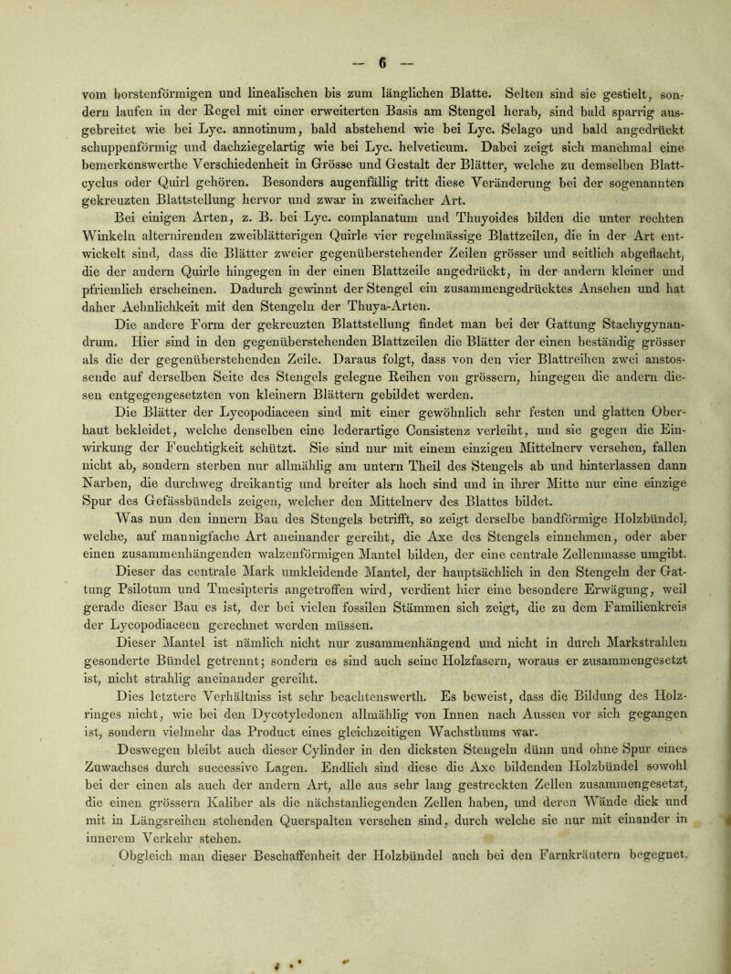 vom borstenförmigen und linealischen bis zum länglichen Blatte. Selten sind sie gestielt, son- dern laufen in der Eegel mit einer erweiterten Basis am Stengel herab, sind bald sparrlg aus- gebreitet wie bei Lyc. annotinum, bald abstehend wie bei Lyc. Selago und bald angedrilckt schuppenförmig und dachziegelartig wie bei Lyc. helveticum. Dabei zeigt sich manchmal eine bemerkenswerthe Verschiedenheit in Grösse und Gestalt der Blätter, welche zu demselben Blatt- cyclus oder Quirl gehören. Besonders augenfällig tritt diese Veränderung bei der sogenannten gekreuzten Blattstellung hervor und zwar in zweifacher Art. Bei einigen Arten, z. B. bei Lyc. complanatum und Thuyoides bilden die unter rechten Winkeln alternirenden zweiblätterigen Quirle vier regelmässige Blattzeilen, die in der Art ent- wickelt sind, dass die Blätter zweier gegenüberstehender Zeilen grösser und seitlich abgeflacht, die der andern Quirle hingegen in der einen Blattzeile angedrückt, in der andern kleiner und pfriemlich erscheinen. Dadurch gewinnt der Stengel ein zusammengedrücktes Ansehen und hat daher Aehnlichkeit mit den Stengeln der Thuya-Arten. Die andere Form der gekreuzten Blattstellung findet man bei der Gattung Stachygynan- drum. Hier sind ln den gegenüberstehenden Blattzeilen die Blätter der einen beständig grösser als die der gegenüberstehenden Zeile. Daraus folgt, dass von den vier Blattreihen zwei anstos- sende auf derselben Seite des Stengels gelegne Eeihen von grössern, hingegen die andern die- sen entgegengesetzten von kleinern Blättern gebildet werden. Die Blätter der Lycopodiaceen sind mit einer gewöhnlich sehr festen und glatten Ober- haut bekleidet, welche denselben eine lederartige Consistenz verleiht, und sie gegen die Ein- wirkung der I’euchtigkeit schützt. Sie sind nur mit einem einzigen Mittelnerv versehen, fallen nicht ab, sondern sterben nur allmähllg am untern Theil des Stengels ab und hinterlassen dann Narben, die durchweg dreikantig und breiter als hoch sind und in ihrer Mitte nur eine einzige Spur des Gefässbündels zeigen, welcher den Mittelnerv des Blattes bildet. Was nun den Innern Bau des Stengels betrifft, so zeigt derselbe bandförmige Holzbündel, welche, auf mannigfache Art aneinander gereiht, die Axe des Stengels einnehmen, oder aber einen zusammenhängenden walzenförmigen Mantel bilden, der eine centrale Zellenmasse umgibt. Dieser das centrale Mark umkleidende Mantel, der hauptsächlich in den Stengeln der Gat- tung Psilotum und Tmesipterls angetroffen wird, verdient hier eine besondere Erwägung, well gerade dieser Bau es ist, der bei vielen fossilen Stämmen sich zeigt, die zu dem Familienkreis der Lycopodiaceen gerechnet werden müssen. Dieser Mantel ist nämlich nicht nur zusammenhängend und nicht in durch Markstrahlen gesonderte Bündel getrennt; sondern es sind auch seine Holzfasern, woraus er zusammengesetzt ist, nicht strahlig aneinander gereiht. Dies letztere Verhältniss ist sehr beachtenswerth. Es beweist, dass die Bildung des Holz- ringes nicht, wie bei den Dycotyledonen allmälilig von Innen nach Aussen vor sich gegangen ist, sondern vielmehr das Product eines gleichzeitigen Wachsthums war. Deswegen bleibt auch dieser Cylinder in den dicksten Stengeln dünn und ohne Spur eines Zuwachses durch successive Lagen. Endlich sind diese die Axe bildenden Holzbündel sowohl bei der einen als auch der andern Art, alle aus sehr lang gestreckten Zellen zusammengesetzt, die einen grössern Kaliber als die nächstanliegenden Zellen haben, und deren Wände dick und mit in Längsreihen stehenden Querspalten versehen sind, durch welche sie nur mit einander in 4 Innerem Verkehr stehen. Obgleich man dieser Beschaffenheit der Holzbündel auch bei den Farnkräutern begegnet,