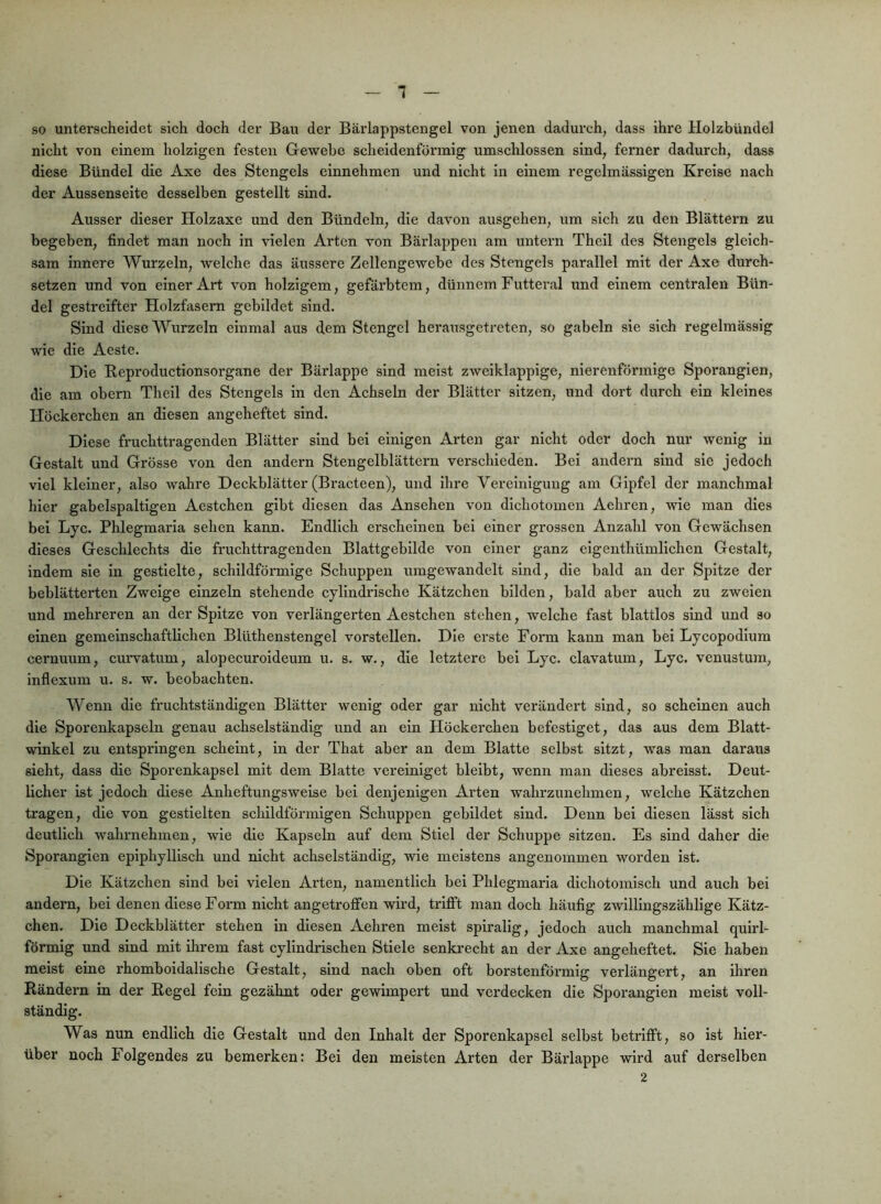 1 so unterscheidet sich doch der Bau der Bärlappstengel von jenen dadurch, dass ihre Holzbündel nicht von einem holzigen festen Gewebe scheidenförmig umschlossen sind, ferner dadurch, dass diese Bündel die Axe des Stengels einnehmen und nicht in einem regelmässigen Kreise nach der Aussenselte desselben gestellt sind. Ausser dieser Holzaxe und den Bündeln, die davon ausgehen, um sich zu den Blättern zu begeben, findet man noch in vielen Arten von Bärlappen am untern Theil des Stengels gleich- sam innere Wurzeln, welche das äussere Zellengewebe des Stengels parallel mit der Axe durch- setzen und von einer Art von holzigem, gefärbtem, dünnem Futteral und einem centralen Bün- del gestreifter Holzfasern gebildet sind. Sind diese Wurzeln einmal aus dem Stengel herausgetreten, so gabeln sie sich regelmässig wie die Aeste. Die Reproductionsorgane der Bärlappe sind meist zweiklappige, nierenförmigo Sporangien, die am obern Theil des Stengels in den Achseln der Blätter sitzen, und dort durch ein kleines Höckerchen an diesen angeheftet sind. Diese fruchttragenden Blätter sind bei einigen Arten gar nicht oder doch nur wenig in Gestalt und Grösse von den andern Stengelblättern verschieden. Bei andern sind sie jedoch viel kleiner, also wahre Deckblätter (Bracteen), und ihre Vereinigung am Gipfel der manchmal hier gabelspaltigen Aestchen gibt diesen das Ansehen von dlchotomen Aehren, wie man dies bei Lyc. Phlegmaria sehen kann. Endlich erscheinen bei einer grossen Anzahl von Gewächsen dieses Geschlechts die fruchttragenden Blattgebilde von einer ganz eigenthümlichen Gestalt, indem sie in gestielte, schildförmige Schuppen umgewandelt sind, die bald an der Spitze der beblätterten Zweige einzeln stehende cylindrische Kätzchen bilden, bald aber auch zu zweien und mehreren an der Spitze von verlängerten Aestchen stehen, welche fast blattlos sind und so einen gemeinschaftlichen Blüthenstengel vorstellen. Die erste Form kann man bei Lycopodium cernuum, cuiwatum, alopecuroideum u. s. w., die letztere bei Lyc. clavatum, Lyc. venustum, inflexum u. s. w. beobachten. Wenn die fruchtständigen Blätter wenig oder gar nicht verändert sind, so scheinen auch die Sporenkapseln genau achselständig und an ein Höckerchen befestiget, das aus dem Blatt- winkel zu entspringen scheint, in der That aber an dem Blatte selbst sitzt, was man daraus sieht, dass die Sporenkapsel mit dem Blatte vereiniget bleibt, wenn man dieses abreisst. Deut- licher ist jedoch diese Anheftungswelse bei denjenigen Arten wahrzunehmen, welche Kätzchen tragen, die von gestielten schildförmigen Schuppen gebildet sind. Denn bei diesen lässt sich deutlich wahrnehmen, wie die Kapseln auf dem Stiel der Schuppe sitzen. Es sind daher die Sporangien epiphylllsch und nicht achselständig, wie meistens angenommen worden ist. Die Kätzchen sind bei vielen Arten, namentlich bei Phlegmaria dichotomisch und auch bei andern, bei denen diese Form nicht angetroflfen wird, trifiPt man doch häufig zwillingszähllge Kätz- chen. Die Deckblätter stehen in diesen Aehren meist spiralig, jedoch auch manchmal quirl- förmig und sind mit ihrem fast cylindrischen Stiele senkrecht an der Axe angeheftet. Sie haben meist eine rhomboidalische Gestalt, sind nach oben oft borstenförmig verlängert, an ihren Rändern in der Regel fein gezähnt oder gewimpert und verdecken die Sporangien meist voll- ständig. Was nun endlich die Gestalt und den Inhalt der Sporenkapsel selbst betrifft, so ist hier- über noch Folgendes zu bemerken: Bei den meisten Arten der Bärlappe wird auf derselben 2