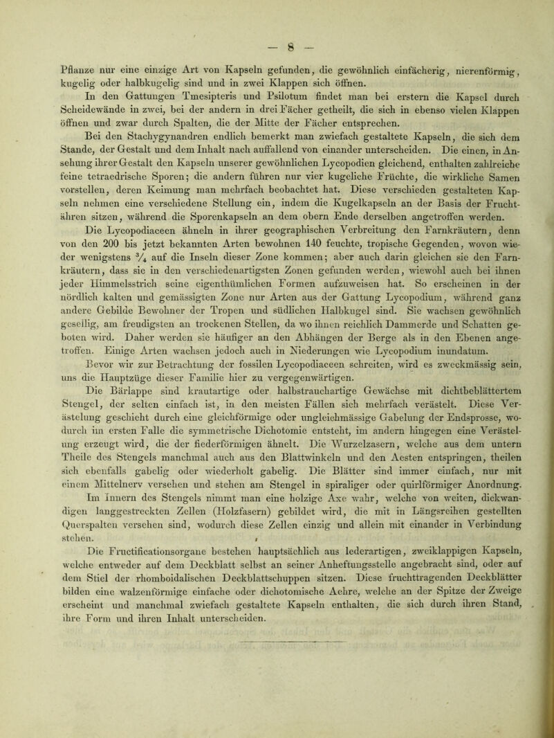 Pflanze nur eine einzige Art von Kapseln gefunden, die gewöhnlich einfächerig, nierenförmig, kugelig oder halbkugelig sind und ln zwei Klappen sich öflFnen. In den Gattungen Tmeslpteris und Psilotum findet man bei erstem die Kapsel durch Scheidewände in zAvei, bei der andern ln drei Fächer getheilt, die sich in ebenso vielen Klappen öffnen und zwar durch Spalten, die der Mitte der Fächer entsprechen. Bei den Stachygynandren endlich bemerkt man zwiefach gestaltete Kapseln, die sich dem Stande, der Gestalt und dem Inhalt nach auffallend von einander unterscheiden. Die einen, ln An- sehung ihrer Gestalt den Kapseln unserer gewöhnlichen Lycopodien gleichend, enthalten zahlreiche feine tetraedrische Sporen; die andern führen nur vier kugcliche Früchte, die wirkliche Samen vorstellen, deren Keimung man mehrfach beobachtet hat. Diese verschieden gestalteten Kap- seln nehmen eine verschiedene Stellung ein, indem die Kngelkapseln an der Basis der Frucht- ähren sitzen, während die Sporenkapseln an dem obern Ende derselben angetroffen werden. Die Lycopodlaceen ähneln in ihrer geographischen Verbreitung den Farnkräutern, denn von den 200 bis jetzt bekannten Arten bewohnen 140 feuchte, tropische Gegenden, wovon wie- der wenigstens % auf die Inseln dieser Zone kommen; aber auch darin gleichen sie den Farn- kräutern, dass sie ln den verschiedenartigsten Zonen gefunden werden, wiewohl auch bei ihnen jeder Himmelsstrich seine elgenthümlichen Formen aufzuweisen hat. So erscheinen in der nördlich kalten und gemässigten Zone nur Arten aus der Gattung Lycopodium, während ganz andere Gebilde Bewohner der Tropen und südlichen Halbkugel sind. Sie wachsen gewöhnlich gesellig, am freudigsten an trockenen Stellen, da wo ihnen reichlich Dammerde und Schatten ge- boten wird. Daher werden sie häufiger an den Abhängen der Berge als in den Ebenen ange- troffen. Einige Ai’ten wachsen jedoch auch in Niederungen wie Lycopodium inundatum. Bevor wir zur Betrachtung der fossilen Lycopodlaceen schreiten, wird es zweckmässig sein, uns die Hauptzüge dieser Familie hier zu vergegenwärtigen. Die Bärlappe sind krautartige oder halbstrauchartige Gewächse mit dichtbcblättertem Stengel, der selten einfach ist, in den meisten Fällen sich mehrfach verästelt. Diese Ver- ästelung geschieht durch eine gleichförmige oder unglelchmässige Gabelung der Endsprosse, wo- durch im ersten Falle die symmetrische Dichotomie entsteht, im andern hingegen eine Verästel- ung erzeugt wird, die der fiederförmigen ähnelt. Die Wurzelzasern, welche aus dem untern Theile des Stengels manchmal auch aus den Blattwinkeln und den Aesten entspringen, theilen sich ebenfalls gabelig oder wiederholt gabelig. Die Blätter sind immer einfach, nur mit einem Mittelnerv versehen und stehen am Stengel in spiraliger oder quirlförmiger Anordnung. Im Innern des Stengels nimmt man eine holzige Axe wahr, welche von weiten, dickwan- digen langgestreckten Zellen (Holzfaserir) gebildet wird, die mit in Längsreihen gestellten (^uerspalten versehen sind, wodurch diese Zellen einzig und allein mit einander in Verbindung stehen. » Die Fructificationsorgaue bestehen hauptsächlich aus lederartigen, zweiklappigcn Kapseln, welche entweder auf dem Deckblatt selbst an seiner Anheftungsstelle angebracht sind, oder auf dem Stiel der rhomboidalischen Deckblattschuppen sitzen. Diese fruchttragenden Deckblätter bilden eine walzenförmige einfache oder dichotomische Aehre, welche an der Spitze der Zweige erscheint und manchmal zwiefach gestaltete Kapseln enthalten, die sich durch ihren Stand, ihre Form und ihren Inhalt untei’scheiden.