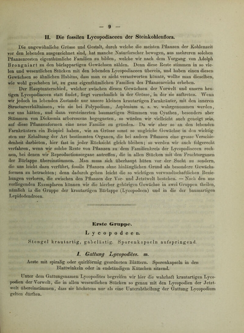 II. Die fossilen Lycopodiaceen der Steinkohlenflora. Die ungewöhnliche Grösse und Gestalt, durch welche die meisten Pflanzen der Kohlenzeit vor den lebenden ausgezeichnet sind, hat manche Naturforscher bewogen, aus mehreren solchen Pflanzenresten eigenthümliche Familien zu bilden, welche wir nach dem Vorgang von Adolph Brongniart zu den bärlappartigen Gewächsen zählen. Denn diese Beste stimmen in so vie- len und wesentlichen Stücken mit den lebenden Lycopodiaceen überein, und haben einen diesen Gewächsen so ähnlichen Habitus, dass man es nicht verantworten könnte, wollte man dieselben, wie wohl geschehen ist, zu ganz eigenthümlichen Familien des Pflanzenreichs erheben. Der Hauptunterschied, welcher zwischen diesen Gewächsen der Vorwelt und unscrn heu- tigen Lycopodiaceen statt findet. Hegt vornehmlich in der Grösse, in der sic auftreten. Wenn wir jedoch im lebenden Zustande nur unsere kleinen krautartigen Farnkräuter, mit den inneren Structurverhältnissen, wie sie bei Polypodium, Asplenlum u. s. w. wahrgenommen werden, vor uns hätten, und dann versteinerten baumartigen Stämmen von Cyathea, besonders aber Stämmen von Dicksonia arborescens begegneten, so würden wir vielleicht auch geneigt sein, auf diese Pflanzenformen eine neue Familie zu gründen. Da wir aber so an den lebenden Farnkräutern ein Beispiel haben, wie an Grösse sonst so ungleiche Gewächse in den wichtig- sten zur Erhaltung der Art bestimmten Organen, die bei andern Pflanzen eine grosse Verschie- denheit darbieten, hier fast in jeder Rücksicht gleich bleiben; so werden wir axich folgerecht vei'fahren, wenn wir solche Reste von Pflanzen zu dem Familienkreis der Lycopodiaceen rech- nen, bei denen wir Reproductionsorgane antrelfen, die in allen Stücken mit den Fruchtorganen der Bärlappe übereinstimmen. Man muss sich überhaupt hüten vor der Sucht zu sondern, die uns leicht dazu verführt, fossile Pflanzen ohne hinlänglichen Grund als besondere Gewächs- formen zu betrachten; denn dadurch gehen leicht die so wichtigen verwandtschaftlichen Bezie- hungen verloren, die zwischen den Pflanzen der Vor- xind Jetztwelt bestehen. — Nach den uns vorliegenden Exemplaren können wir die hierher gehörigen Gewächse ln zwei Gruppen theilen, nämlich in die Gruppe der krautartigen Bärlappe (Lycopodeen) und in die der baumartigen Lepidodendreen. Erst« GrPuppc. Lycopodeen. Stengel krautartig, gabelästig. Sporenkapseln aufspringend, i. Gattung JLgcopodites. m. Aeste mit spiralig oder quirlförmig geordneten Blättern. Sporenkapseln in den Blattwinkeln oder in endständigen Kätzchen sitzend. Unter dem Gattungsnamen Lycopodltes begreifen wir hier die wahrhaft krautartigen Lyco- podien der Vorwelt, die in allen wesentlichen Stücken so genau mit den Lycopodlen der Jetzt- welt übereinstimmen, dass sie höchstens nur als eine Unterabtheilung der Gattung Lycopodium gelten dürften.