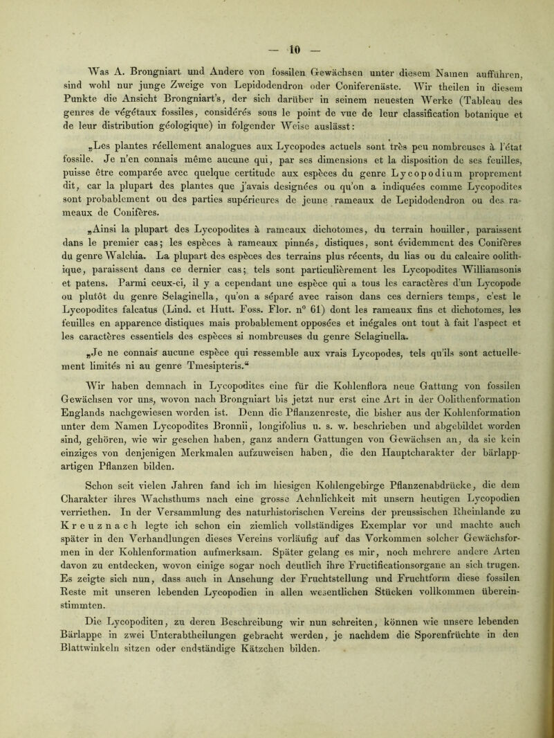 Was5 A. Brongniart und Andere von fossilen CTewächsen unter diesem Namen aufflihren, sind wohl nur junge Zweige von Lepldodendron oder Coniferenäste. Wir theilen in diesem Punkte die Ansicht Brongniart’s, der sich darüber ln seinem neuesten Werke (Tableau des genres de vdgdtaiix fossiles, conslddr^s sous le point de vue de leur Classification botanique et de leur distribution gdologique) in folgender Welse auslässt: „Les plantes rdellement analogues aux Lycopodes actuels sont trbs peu nombreuscs ä l’dtat fossile. Je n’en connais m^me aucune qui, par ses dlmensions et la dlsposition de ses feullles, puisse dtre comparde avec quelque certltude aux esp^ces du genre Lycopodiuin propremcnt dit, car la plupart des plantes que j’avals designdes ou qu’on a indiqudes comme Lycopoditcs sont probablement ou des parties supdrieurcs de jeune rameaux de Lepldodendron ou des ra- meaux de Conifbres. „Alnsl la plupart des Lycopoditcs ä rameaux dichotomes, du terrain houiller, paraissent dans le premier cas; les esp^ces ä rameaux pinnds, distiques, sont dvidemment des Conifbres du genre Walcbia. La plupart des esp^ces des terrains plus rdcents, du lias ou du calcaire oolltb- ique, paraissent dans ce dernler cas;, tels sont particullbrement les Lycopoditcs Williamsonis et patens. Parmi ceux-ci, il y a cependant une esp^ce qui a tous les caractferes d’un Lycopode ou plutöt du genre Selaglnella, qu’on a separd avec raison dans ces dernicrs temps, c’est le Lycopoditcs falcatus (Lind, et Hutt. Foss. Flor. n° 61) dont les rameaux fins et dichotomes, les feullles en apparence distiques mals probablement opposdes et Indgales ont tout ä fait l’aspect et les caract^res essentiels des espbces sl nombreuses du genre Selaglnella. „Je ne connais aucune cspbce qui ressemble aux vrais Lycopodes, tels qu’ils sont actuelle- ment limitds ni au genre Tmesipterls.“ Wir haben demnach ln Lycopoditcs eine für die Kohlcnflora neue Gattung von fossilen Gewächsen vor uns, wovon nach Brongniart bis jetzt nur erst eine Art in der Oolithenformation Englands nachgewiesen worden ist. Denn die Pflanzenreste, die bisher aus der Kohlenformation unter dem Namen Lycopoditcs Bronnli, longifollus u. s. w. beschrieben und abgebildet woi'den sind, gehören, wie wir gesehen haben, ganz andern Gattungen von Gewächsen an, da sie kein einziges von denjenigen Merkmalen aufzuweisen haben, die den Hauptcharakter der bärlapp- artigen Pflanzen bilden. Schon seit vielen Jahren fand ich im hiesigen Kohlengebirge Pflanzenabdrücke, die dem Charakter ihres Wachsthums nach eine grosse Aehnlichkeit mit unsern heutigen Lycopodlen verrlethen. In der Versammlung des naturhistorischen Vereins der preusslschen Kheinlande zu Kreuznach legte ich schon ein ziemlich vollständiges Exemplar vor und machte auch später in den Verhandlungen dieses Vereins vorläufig auf das Vorkommen solcher Gewächsfor- men in der Kohlenformation aufmerksam. Später gelang cs mir, noch mehrere andere Arten davon zu entdecken, wovon einige sogar noch deutlich ihre Fructificationsorgane au sich trugen. Es zeigte sich nun, dass auch in Ansehung der Fruchtstellung und Fruchtform diese fossilen Reste mit imseren lebenden Lycopodlen ln allen wesentlichen Stücken vollkommen überein- stimmten. Die Lycopoditen, zu deren Beschreibung wir nun schreiten, können wie unsere lebenden Bärlappe ln zwei Unterabtheilungen gebracht werden, je nachdem die Sporenfrüchte in den Blattwinkeln sitzen oder endständige Kätzchen bilden.