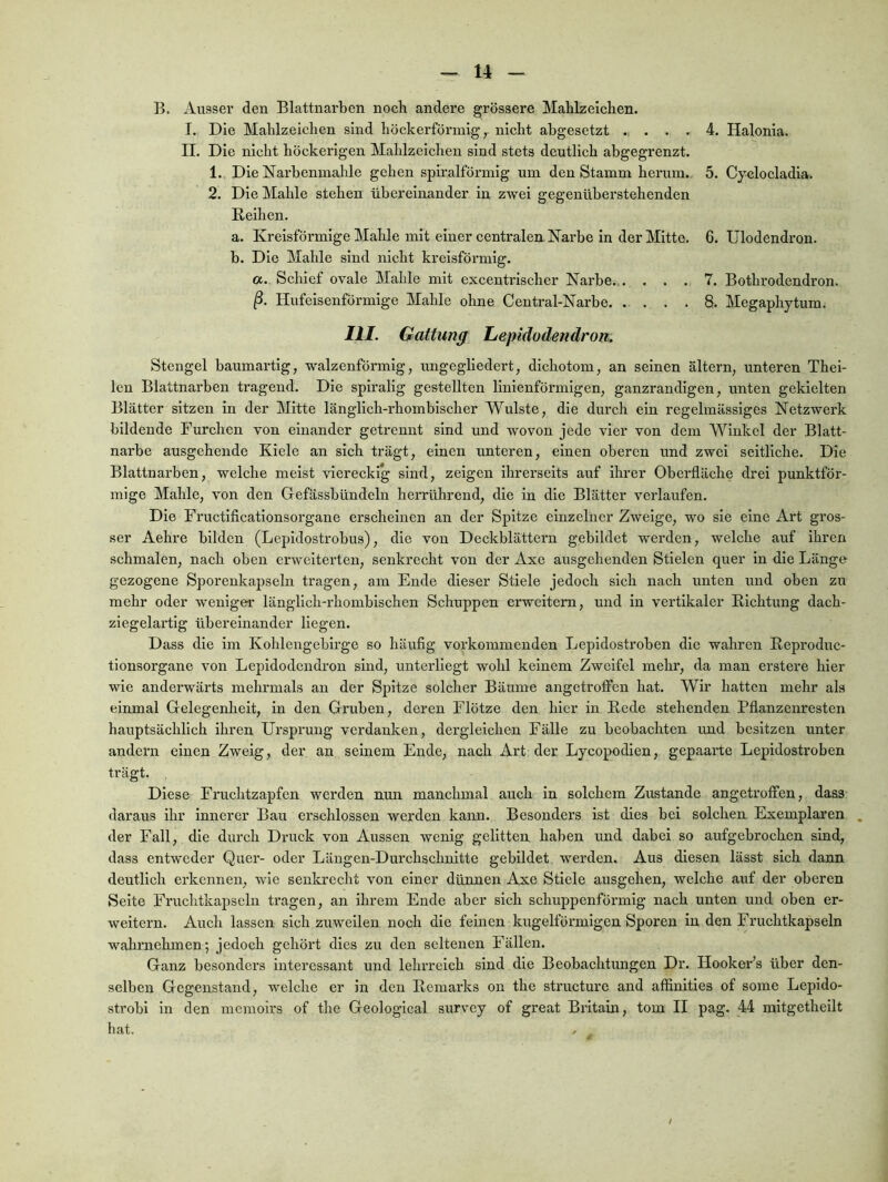 B. Ausser den Blattnarben noch andere grössere Mahlzeichen. I. Die Mahlzeichen sind höckerförmig, nicht abgesetzt ... . . . II. Die nicht höckerigen Mahlzeichen sind stets deutlich abgegrenzt. 1. Die Narbenmahle gehen spiralförmig um den Stamm herum. 2. Die Mahle stehen übereinander in zwei gegenüberstehenden Reihen. a. Kreisförmige Malile mit einer centralen. Narbe in der Mitte. b. Die Mahle sind nicht kreisförmig. a. Schief ovale Mahle mit excenü'ischer Narbe...... Hufeisenförmige Mahle ohne Central-Narbe. .. . . . 4. Halonia. 5. Cyclocladia. 6. Ulodendron. 7. Bothrodendron. 8. Megaphytum. III. Gattung Lepidodendron. Stengel baumartig, walzenförmig, ungegliedert, dichotom, an seinen altern, unteren Thei- len Blattnarben tragend. Die spiralig gestellten linienförmigen, ganzrandlgen, unten gekielten Blätter sitzen ln der Mitte länglich-rhombischer Wulste, die durch ein regelmässiges Netzwei'k bildende Furchen von einander getrennt sind und wovon jede vier von dem Winkel der Blatt- narbe ausgehende Kiele an sich trägt, einen unteren, einen oberen und zwei seitliche. Die Blattnarben, welche meist viereckig sind, zeigen ihrerseits auf ihrer Oberfläche drei punktför- mige Mahle, von den Gefässbündeln herrührend, die ln die Blätter verlaufen. Die Fructlflcationsorgane erscheinen an der Spitze einzelner Zweige, wo sie eine Art gros- ser Aehre bilden (Lepidostrobus), die von Deckblättern gebildet werden, welche auf ihren schmalen, nach oben erweiterten, senkrecht von der Axe ausgehenden Stielen quer in die Länge gezogene Sporenkapseln tragen, am Ende dieser Stiele jedoch sich nach unten und oben zu mehr oder weniger länglich-rhombischen Schuppen erweitern, und ln vertikaler Richtung dach- ziegelartig übereinander liegen. Dass die im Kohlengebirge so häufig vorkommenden Lepldostroben die wahren Reproduc- tionsorgane von Lepidodendron sind, unterliegt wohl keinem Zweifel mehr, da man erstere hier wie anderwärts mehrmals an der Spitze solcher Bäume angetroffen hat. Wir hatten mehr als einmal Gelegenheit, in den Gruben, deren Klötze den hier in Rede stehenden Pflanzenresten hauptsächlich ihren Ursprung verdanken, dergleichen Fälle zu beobachten und besitzen unter andern einen Zweig, der an seinem Ende, nach Art der Lycopodlen,. gepaarte Lepldostroben trägt. Diese Fruchtzapfen werden nun manchmal auch ln solchem Zustande angetroffen, dass daraus ihr innerer Bau erschlossen werden kann. Besonders ist dies bei solchen Exemplaren , der Fall, die durch Druck von Aussen wenig gelitten, haben und dabei so aufgebrochen sind, dass entweder Quer- oder Längen-Durchschnitte gebildet werden. Aus diesen lässt sich dann deutlich erkennen, wie senkrecht von einer dünnen Axe Stiele ausgehen, welche auf der oberen Seite Fruchtkapseln tragen, an ihrem Ende aber sich schuppenförmig nach unten und oben er- weitern. Auch lassen sich zuweilen noch die feinen kugelförmigen Sporen in den Fruchtkapseln wahrnehmen; jedoch gehört dies zu den seltenen Fällen. Ganz besonders interessant und lehiTeleh sind die Beobachtungen Dr. Hooker’s über den- selben Gegenstand, welche er in den Remarks on the structure and affinities of some Lepldo- strobl in den memoms of the Geologlcal survey of great Brltain, tom II pag. 44 mitgetheilt hat. t