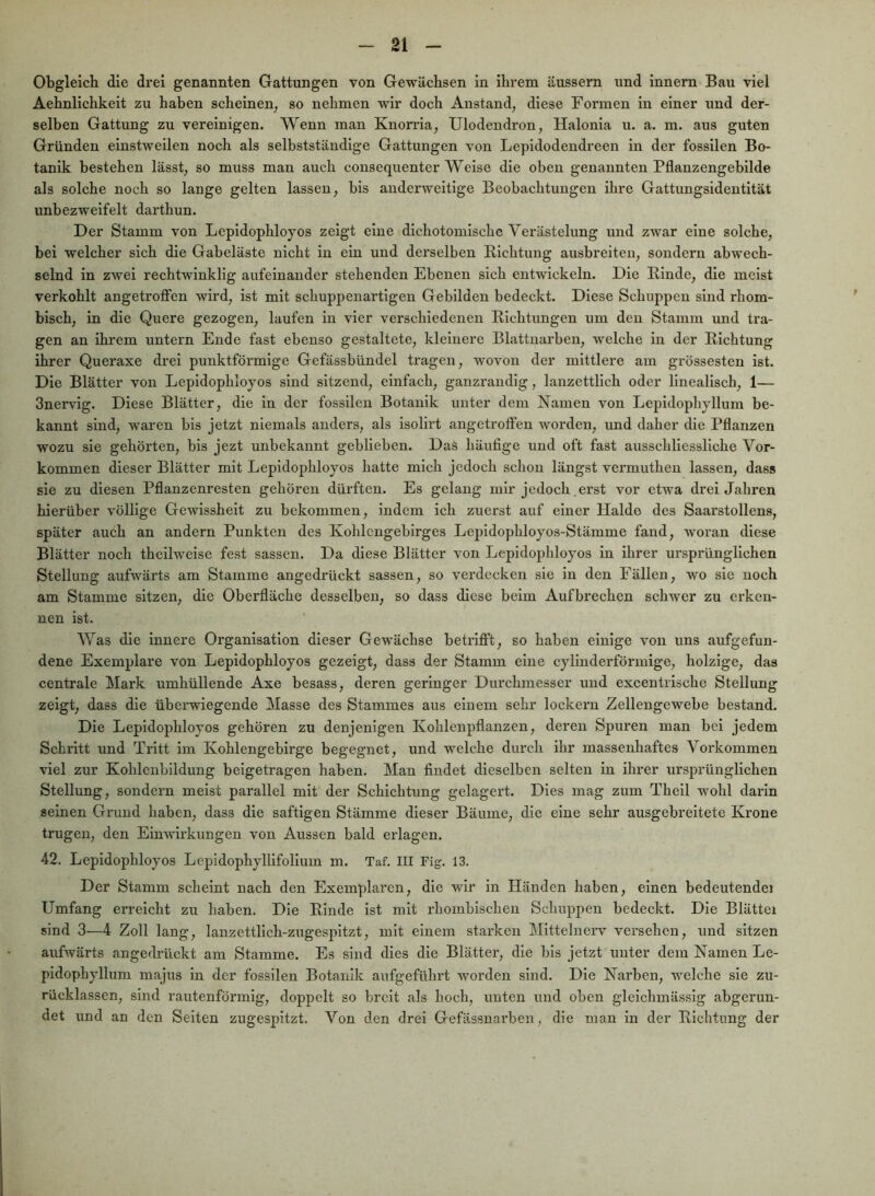 Obgleich die drei genannten Gattungen von Gewächsen in ihrem äussem und innern Bau viel Aehnlichkeit zu haben scheinen, so nehmen wir doch Anstand, diese Formen in einer und der- selben Gattung zu vereinigen. Wenn man Knorria, Ulodendron, Halonia u. a. m. aus guten Gründen einstweilen noch als selbstständige Gattungen von Lepidodendreen in der fossilen Bo- tanik bestehen lässt, so muss man auch cousequenter Weise die oben genannten Pflanzengebilde als solche noch so lange gelten lassen, bis anderweitige Beobachtungen ihre Gattungsidentität unbezweifelt darthun. Der Stamm von Lepidophloyos zeigt eine dichotomische Verästelung und zwar eine solche, bei welcher sich die Gabeläste nicht in ein und derselben Richtung ausbreiten, sondern abwech- selnd in zwei rechtwinklig aufeinander stehenden Ebenen sich entwickeln. Die Rinde, die meist verkohlt angetroffen wird, ist mit schuppenartigen Gebilden bedeckt. Diese Schuppen sind rhom- bisch, in die Quere gezogen, laufen in vier verschiedenen Richtungen um den Stamm und tra- gen an ihrem untern Ende fast ebenso gestaltete, kleinere Blattnarben, welche in der Richtung ihrer Queraxe drei punktförmige Gefässbündel tragen, wovon der mittlere am grössesten ist. Die Blätter von Lepidophloyos sind sitzend, einfach, ganzrandig, lanzcttllch oder linealisch, 1— Snervig. Diese Blätter, die in der fossilen Botanik unter dem Namen von Lepidophyllum be- kannt sind, waren bis jetzt niemals anders, als isollrt angetroffen worden, und daher die Pflanzen wozu sie gehörten, bis jezt unbekannt geblieben. Das häufige und oft fast ausschliessliche Vor- kommen dieser Blätter mit Lepidophloyos hatte mich jedoch schon längst vermuthen lassen, dass sie zu diesen Pflanzenresten gehören dürften. Es gelang mir jedoch erst vor etwa drei Jahren hierüber völlige Gewissheit zu bekommen, indem ich zuerst auf einer Halde des Saarstollens, später auch an andern Punkten des Kohlcngebirges Lepldophloyos-Stämme fand, woran diese Blätter noch thellwelse fest sassen. Da diese Blätter von Lepidophloyos in ihrer ursprünglichen Stellung aufwärts am Stamme angedrückt sassen, so verdecken sie in den Fällen, wo sic noch am Stamme sitzen, die Oberfläche desselben, so dass diese beim Aufbrechen schwer zu erken- nen ist. Was die innere Organisation dieser Gewächse betrifft, so haben einige von uns aufgefun- dene Exemplare von Lepidophloyos gezeigt, dass der Stamm eine cyliuderförmige, holzige, das centrale Mark umhüllende Axe besass, deren geringer Durchmesser und excentrische Stellung zeigt, dass die überwiegende Masse des Stammes aus einem sehr lockern Zellengewebe bestand. Die Lepidophloyos gehören zu denjenigen Kohlenpflanzen, dei*en Spuren man bei jedem Schritt und Tritt im Kohlengebirge begegnet, und welche durch ihr massenhaftes Vorkommen viel zur Kohlenbildung beigetragen haben. Man findet dieselben selten in ihrer ursprünglichen Stellung, sondern meist parallel mit der Schichtung gelagert. Dies mag zum Theil wohl darin seinen Grund haben, dass die saftigen Stämme dieser Bäume, die eine sehr ausgebreitete Krone trugen, den Einwirkungen von Aussen bald erlagen. 42. Lepidophloyos Lepidophylllfolium m. Taf. III Fig. 13. Der Stamm scheint nach den Exemplaren, die wir in Händen haben, einen bedeutende! Umfang erreicht zu haben. Die Rinde ist mit rhombischen Schuppen bedeckt. Die Blättei sind 3—4 Zoll lang, lanzettllch-zugespitzt, mit einem starken Mittelnerv versehen, und sitzen aufwärts angedrückt am Stamme. Es sind dies die Blätter, die bis jetzt unter dem Namen Le- pidophyllum majus in der fossilen Botanik aufgeführt worden sind. Die Narben, welche sie zu- rücklassen, sind rautenförmig, doppelt so breit als hoch, unten und oben gleichmässig abgerun- det und an den Seiten zugespitzt. Von den drei Gefässnarben, die man in der Richtung der
