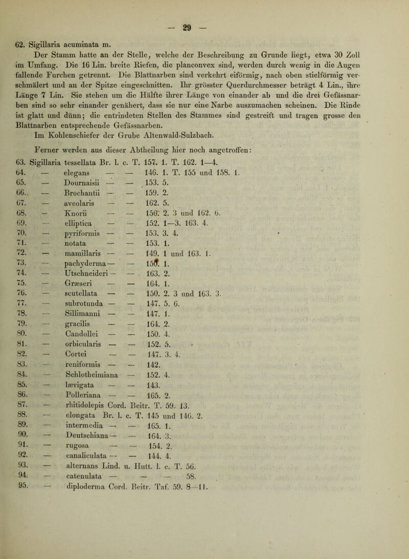 62. Sigillaria acuminata m. Der Stamm hatte an der Stelle, welche der Beschreibung zu Grunde liegt, etwa 30 Zoll im Umfang. Die 16 Lin. breite Kiefen, die planconvex sind, werden durch wenig in die Augen fallende Furchen getrennt. Die Blattnarben sind verkehrt eiförmig, nach oben stielförmig ver- schmälert und an der Spitze eingeschnitten. Ihr grösster Querdurchmesser beträgt 4 Lin., ihre Länge 7 Lin. Sie stehen um die Hälfte ihrer Länge von einander ab und die drei Gefässnar- ben sind so sehr einander genähert, dass sie nur eine Narbe auszumachen scheinen. Die Rinde ist glatt und dünn; die entrindeten Stellen des Stammes sind gestreift und tragen grosse den Blattnarben entsprechende Gefässnarben. Im Kohlenschiefer der Grube Altenwald-Sulzbach. Ferner werden aus dieser Abtheilung hier noch angetrotfen: 63. Sigillaria tessellata Br. 1. c. T. 157. 1. T. 162. 1—4. 64. — elegans — — 146. 1. T. 155 und 158. 1 65. — Dournaisii — — , 153. 5. 66. — Brochantii — — ' 159. 2. 67. — aveolarls — — 162. 5. 68. — Knorii — — 150: 2. 3 und 162. 6. 69. — elliptica — — 152. 1—3. 163. 4. 70. — pyriformis — — 153. 3. 4. 71. notata — — 153. 1. 72. — mamillaris — — 149. 1 und 163. 1. 73. --- pachyderma — 15(T. 1. 74. — Utschnelderl — — . 163. 2. 75. — GrEeseri — — 104. 1. 76. — scutellata — — 150. 2. 3 und 163. 3. 77. — subrotunda — — 147. 5. 0. 78. — Sllllmanni — — 147. 1. 79. — gracllls — - 104. 2. SO. — Candollel — — 150. 4. 81. — orbicularis — — 152. 5. 82. — Cortei — — 147. 3. 4. 83. — reniformis — - 142. 84. — Schlotheimiana — 152. 4. 85. — Igevlgata — - 143. 86. — Polleriana — — 165. 2. 87. — rhitidolepis Cord. Beltr. T. 59. 13. 88. — elongata Br. 1. c. T. 145 und 146. 2. 89. — Intermedia — — 165. 1. 90. — Deutschl.ana — — 164. 3. 91. — rugosa — — 154. 2. 92. — canaliculata — — 144. 4. 93. — alternans Lind. u. Ilutt. 1. c. T. 56. 94. — catenulata — - - 58. 95. ' — dlploderma Cord. Beitr. Taf. 59. 8 —11.