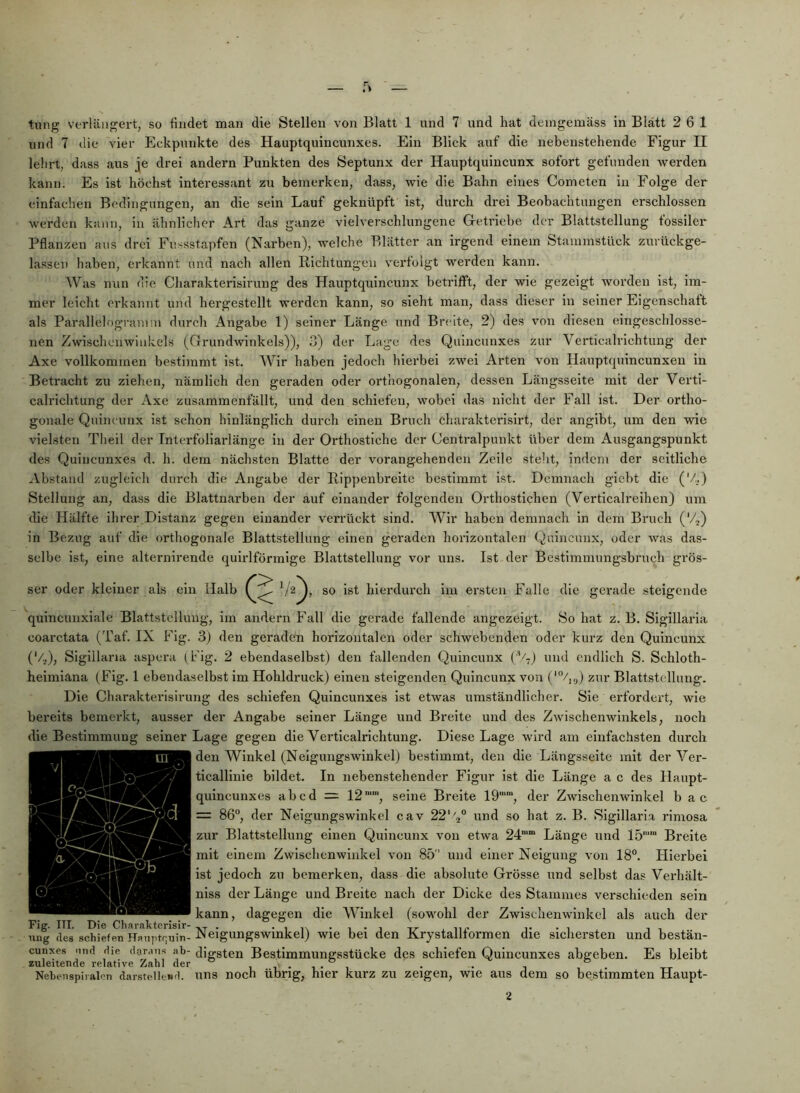 und 7 die vier Eckpunkte des Hauptquincunxes. Ein Blick auf die nebenstehende Figur II lelirt, dass aus je drei andern Punkten des Septunx der Hauptquincunx sofort gefunden werden kann. Es ist höchst interessant zu bemerken, dass, wie die Bahn eines Cometen in Folge der einfachen Bedingungen, an die sein Lauf geknüpft ist, durch drei Beobachtungen erschlossen werden kann, in ähnlicher Art das ganze vielverschlungene Getriebe der Blattstellung fossiler Pflanzen aus drei Fussstapfen (Narben), welche Blätter an irgend einem Stainmstück zurückge- lassen haben, erkannt und nach allen Richtungen verfolgt werden kann. Was nun die Charakterisirung des Hauptquincunx betrifft, der wie gezeigt worden ist, im- mer leicht erkannt und hergestellt werden kann, so sieht man, dass dieser in seiner Eigenschaft als ParallelograuHU durcli Angabe 1) seiner Länge und Breite, 2) des von diesen eingeschlosse- nen Zwischcnwinkels (Grundwinkels)), 3) der Lage des Quincunxes zur Verticalrichtung der Axe vollkommen bestimmt ist. Wir haben jedoch hierbei zwei Arten von Hauptquincunxeu in Betracht zu ziehen, nämlich den geraden oder orthogonalen, dessen Längsseite mit der Verti- calrichtung der Axe zusammenfällt, und den schiefen, wobei das nicht der Fall ist. Der ortho- gonale Quirn unx ist schon hinlänglich durch einen Bruch charakterisirt, der angibt, um den wie vielsten Theil der Interfoliarlänge in der Orthostiche der Centralpunkt über dem Ausgangspunkt des Quincunxes d. h. dem nächsten Blatte der vorangehenden Zeile steht, indem der seitliche Abstand zugleich durch die Angabe der Rippenbreite bestimmt ist. Demnach giebt die ('/,) Stellung an, dass die Blattnarben der auf einander folgenden Orthostichen (Verticalreihen) um die Hälfte ihrer Distanz gegen einander verrückt sind. Wir haben demnach ln dem Bruch ('4) in Bezug auf die orthogonale Blattstellung einen geraden horizontalen Qulncunx, oder was das- selbe ist, eine alternirende quirlförmige Blattstellung vor uns. Ist der Bestlmmungsbrucli grös- ser oder kleiner als ein Halb , so ist hierdiu'ch im ersten Falle die gerade steigende quincunxiale Blattstclluiig, im andern Fall die gerade fallende angezeigt. So hat z. B. Sigillaria coarctata (Taf. IX Fig. 3) den geraden horizontalen oder schwebenden oder kurz den Qulncunx ('4), Sigillaria aspera fhig. 2 ebendaselbst) den fallenden Quincunx (’4j und endlich S. Schloth- heimlana (Fig. 1 ebendaselbst im Hohldruck) einen steigenden Qulncunx von (‘“/lo) zur Blattstellung. Die Charakterisirung des schiefen Quincunxes ist etwas umständlicher. Sie erfordert, wie bereits bemerkt, ausser der Angabe seiner Länge und Breite und des Zwischenwinkels, noch die Be.stimmung seiner Lage gegen die Verticalrichtung. Diese Lage wird am einfachsten durch den Winkel (Neigungswinkel) bestimmt, den die Längsseite mit der Ver- ticallinie bildet. In nebenstehender Figur ist die Länge a c des Haupt- quincunxes abcd = 12, seine Breite 19, der Zwischenwinkel b ac = 86°, der Neigungswinkel cav 22''^° und so hat z. B. Sigillaria rimosa zur Blattstellung einen Quincunx von etwa 24'“ Länge und 15““ Breite mit einem Zwischenwinkel von 85 und einer Neigung von 18°. Hierbei ist jedoch zu bemerken, dass die absolute Grösse und selbst das Verhält- nlss der Länge und Breite nach der Dicke des Stammes verschieden sein kann, dagegen die Winkel (sowohl der Zwischenwlnkel als auch der nng des sc^ief^^ Hauptqui'n- Neigungswinkel) wie bei den Krystallformen die sichersten und bestän- cunxes nnd die dar.ins ab- digsten Bestimmungsstückc des schiefen Quincunxes abg-eben. Es bleibt zuleitende relative Zahl der i ’• • i Nebenspiialon dar.stellewd. uns noch übrig, hier kurz ZU zeigen, wie aus dem so bestimmten Haupt- die Be.stimmung seiner