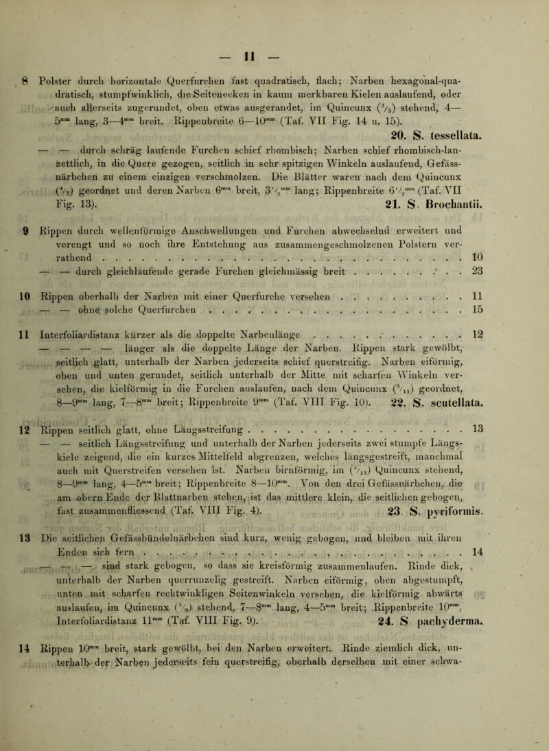 8 Polster durch horizontale Querfurchen fast quadratisch, flach; Narben hexagoual-qua- dratisch, stumpfwinklich, die Selteuecken in kaum merkbaren Kielen auslaufend, oder auch allerseits zugerundet, oben etwas ausgerandet, im Quincunx (V3) stehend, 4— 5““ lang, 3—4“” breit. Kippenbreite 6—10*““ (Taf. VII Fig. 14 u. 15). 20. S. (essellata. — — durch schräg laufende Furchen schief rhombisch; Narben schief rhombisch-lan- zettlich, in die Quere gezogen, seitlich in sehr spitzigen Winkeln auslaufend, Gefäss- närbchen zu einem einzigen verschmolzen. Die Blätter waren nach dem Quincunx (V,) geordnet und deren Narben 6“‘ breit, lang; Rippenbreite 6'/., (Taf. VII Fig. 13). 21. S. Brochantii. 9 Rippen durch wellenförmige Anschwellungen und Furchen abwechselnd erweitert und verengt und so noch ihre Entstehung aus zusammengeschmolzeneu Polstern ver- rathend 10 — — durch gleichlaufende gerade Furchen gleichmässig breit .* . . 23 10 Rippen oberhalb der Narben mit einer Querfurche versehen 11 — — ohne solche Querfurchen 15 11 Interfoliardistanz kürzer als die doppelte Narbeulänge 12 — — — — länger als die doppelte Länge der Narben. Rippen stark gewölbt, seitlich glatt, unterhalb der Narben jederseits schief querstreifig. Narben eiförmig, oben und unten gerundet, seitlich unterhalb der Mitte mit scharfen Winkeln ver- sehen, die kielförmig in die Furchen auslaufen, nach dem Quincunx (^,5) geordnet, 8—O“* lang, 7—8 breit; Rippenbreite 9'“ (Taf. VIII Fig. 10). 22. S. SCUtellata. 12 Rippen seitlich glatt, ohne Längsstreifung 13 — — seitlich Läugsstreifung und unterhalb der Narben jederseits zwei stumpfe Längs- kiele zeigend, die ein kurzes Mittelfeld abgrenzeu, ivelches längsgestreift, manchmal auch mit Querstrelfeu versehen ist. Narben bimförmig, im (’/js) Quincunx stehend, 8—9 lang, 4—5““ breit; Rippenbreite 8—10™'. Von den drei Gefässnärbchen, die am obern Ende der Blattnarben stehen, ist das mittlere klein, die seitlichen gebogen, fast zusammenfliessend (Taf. VIII Fig. 4). 23. S. pyriformis. 13 Die seitlichen Gefässbündelnärbchen sind kurz, wenig gebogen, und bleiben mit ihren Enden sich fern 14 — — —■ sind stark gebogen, so dass sie kreisförmig zusammenlaufen. Rinde dick, » unterhalb der Narben querrunzelig .gestreift. Narben eiförmig, oben abgestumpft, unten mit scharfen rechtwinkligen Seitenwinkeln versehen, die kielförmig abwärts auslaufen, ira Quincunx (’-'Q stehend, 7—8'' lang, 4—5 breit; Rippenbreite 10, Interfoliardistanz 11'' (Taf. VIII Fig. 9). 24. S pachyderma. 14 Rippen 10 breit, stark gewölbt, bei den Narben erweitert. Rinde ziemlich dick, un- terhalb der Narben jederseits fein querstreifig, oberhalb derselben mit einer schwa-