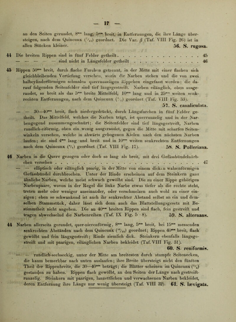 an den Seiten gerundet^ 8” laug, 5'“ breit,' in Entfernungen, die ibi'e Länge über- steigen, nach dem Quincunx (’/js) geordnet. Die Var. ß (Taf. VIII Fig. 26j ist in allen Stücken kleiner. 56. rugosa. 44 Die breiten Rippen sind in fünf Felder getheilt — — — — — sind nicht in Längsfelder getheilt 45 Rippen 50“‘ breit, durch flache Furchen getiennt, in der Mitte mit einer flachen sich gleichblelbendeu Vertiefung versehen, worin die Narben stehen und die von zwei halbcylinderförmigen schmalen querrnuzeligen Rippchen eingefasst werden; die da- rauf folgenden Seitenfeldcr sind tief längsgestreift. Narben eilänglich, oben ausge- randet, so breit als das 5'“' breite Mittelfeld, 10“ lang und in 25'' weiten senk- rechten Entfernungen, nach dem Quincunx {'/.,) geordnet (Taf. VIII Fig. 33). 57. S, caiiaiiculata. — — 30—40“ breit, flach niedergedrückt, durch Längsfurehen in fünf Felder ge- theilt. Das Mittelfeld, welches die Narben trägt, ist qucrrunzelig und in der Nar- bengegend zusammengeschnürt;, die Seitenfelder sind tief längsgestreift, Narl)eu rundlich-eiförmig, oben ein wenig ausgerandet, gegen die Mitte mit scharfen Seiteu- winkeln versehen, welche in abwärts gebogenen Kielen nach den nächsten Narben laufen; sie sind 4““' lang und breit und in 10'' weiten senkrechten Entfernungen nach dem Quincunx (V,) geordnet (Taf. VIII Fig. 17). 58. S. Polleriaiia. 46 Narben in die Quere gezogen oder doch so lang als breit, mit drei Gefässbündclnärb- chen versehen 47 — elliptisch oder eilänglich paarig, in der Mitte von einem dicken walzenförmigen Gefässbündel durchbrochen. Unter der Rinde erscheinen auf dem Steinkern ganz ähnliche Narben, welche meist schwach gewölbt sind. Die zu einer Rippe gehörigen Narbenpaare, wovon in der Regel die linke Narbe etwas tiefer als die rechte steht, treten mehr oder weniger auseinander, oder verschmelzen auch wohl zu einer ein- zigen ; eben so schwankend ist auch ihr senkrechter Abstand selbst an ein und dem- selben Stammstück, daher lässt sich denn auch das Blattstellungsgesetz mit Be- stimmtheit nicht angeben. Die an 40 breiten Rippen sind flach, fein gestreift und tragen abwechselnd die Narbenreihen (Taf. IX Fig. 5 -8). 59. S. alteriiaiis. 44 Narben allerseits gerundet, quer-nlerenförmig, 8” lang, 5 breit, bei 15 messenden senkrechten Abständen nach dem Quincunx (‘ViQ geordnet; Rippen 40“ breit, flach gewölbt und fein längsgestreift; Rinde ziemlich dick. Steinkern ebenfalls längsge- streift und mit paaiigen, eilänglichen Narben bekleidet (Taf. VIII Fig. 31). 60. S. reniformi-^. — — rundlich-sechseckig, unter der Mitte am breitesten durch stumpfe Seltenecken, die kaum bemerkbar nach unten auslaufen; ihre Breite übersteigt nicht den fünften Thell der Rippenbreite, die 30—40“” beträgt; die Blätter ■scheinen im Quincunx (%) gestanden zu haben. Rippen flach gewölbt, an den Seiten der Länge nach gestreift- runzelig. Steinkern mit paarigen, lanzettllchen und verwachsenen Narben bekleidet, deren Entfernung ihre Länge nur wenig übersteigt (Taf. VIII 32). 61. S. l80vigata.