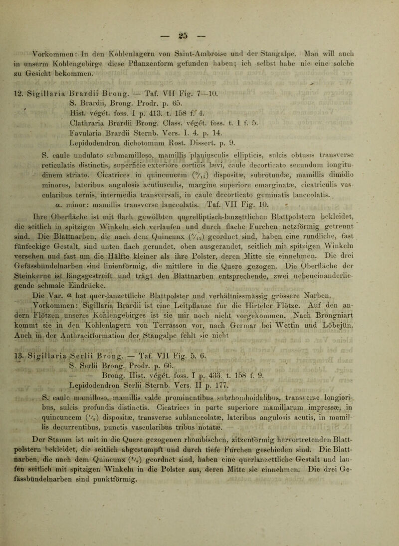 2b Vorkommen: In den Kohlenlagern von Saint-Ambroise und der Stangalpe. Man will auch in unserm Kohlengebirge diese Pflanzenform gefunden haben; ich selbst habe nie eine solche zu Gesicht bekommen. 12. Sigillaria Brardii Brong. — Taf. VII Fig. 7—10. S. Brardii, Brong. Prodr. p. 65. Hist, vöget. foss. I p. 413. t. 158 fV4. Clathraria Bi'ardii Brong. dass, vdgdt. foss. t. I f. 5. Favularia Brardii Sternb. Vers. I. 4. p. 14. Lepidodendron dichotomum Kost. Dissert. p. 9. S. caule undulato submaniilloso, mainillis planiusculis ellipticis, sulcis obtusis transverse reticulatis distinctis, superficie exteriore corticis laävi, caule decorticato secundum longitu- dinem striato. dcatriccs in quincuneem (Vis) dispositae, sulnotundae, mainillis dimidio minores, lateribus angulosis acutiusculis, margine superiorc emarginatfe, cicatriculis vas- cularilnis ternis, intermedia transversali, in caule decorticato geminatls lanceolatis. a. minor: mamillls transverse lanceolatis. Taf. VII Fig. 10. ' Ihre Oberfläche ist mit flach gewölbten querelliptisch-lanzettlichen Blattpolsteru bekleidet, die seitlich in spitzigen Winkeln sich verlaufen und durch flache Furchen netzförmig getrennt sind. Die Blattuarben, die nach dem Quincunx (Vj.-,) geordnet sind, haben eine rundliche, fast fünfeckige Gestalt, sind unten flach gerundet, oben ausgerandet, seitlich mit spitzigen Winkeln versehen und fast um die Hälfte kleiner als ihre Polster, deren Mitte sie elnnehmeu. Die drei Gefässbündelnarben sind liuienförmig, die mittlere in die Quere gezogen. Die Oberfläehe der öteinkerne ist längsgestreift und trägt den Blattnarben entsprechende, zwei nebeneinanderlie- gende schmale Eindrücke. Die Var. « hat quer-lanzettliche Blattpolster und verhältnissraässig grössere Narben. Voi’kommen: Sigillaria Brardii ist eine Leitpflanze für die Hirteier Flötze. Auf den au- dern Flötzen unseres Kohlengebirges ist sie mir noch nicht vorgekommen. Nach Brongniart kommt sie in den Kohlenlagern von Terrasson vor, nach Germar l>el Wettin und Löbejün. Auch in der Anthracitformatlon der Stangal'pe fehlt sie nicht 13. Sigillaria Serlii Brong. — Taf. VII Fig. 5. 6. S. Serlii Brong. Prodr. p. 66. — — Brong. Hist, vdg^t. foss. I p. 433. t. 158 f. 9. Lepidodendron Serlii Sternb. Vers. II p. 177. S. caule mainilloso, mainillis valde prominentibus subrhomboidalibus, transverse longiori- bus, sulcis profundis distinctis. Cicatrlces in parte superiore mamillarum impressaä, in quincuneem ('/„) dlspositse, transverse sublanceolatse, lateribus angulosis acutis, in mamil- lis decurrentibus, punctis vascularibus tribus notatse. Der Stamm ist mit in die Quere gezogenen rhombischen, zitzenförmig hervorti'etenden Blatt- polstern bekleidet, die seitlich abgestumpft und durch tiefe Furchen geschieden sind. Die Blatt- narben, die nach dem Quincunx (%) geordnet sind, haben eine querlanzettlichc Gestalt und lau- fen seitlich mit spitzigen Winkeln in die Polster aus, deren Mitte sie einnehmen. Die drei Ge- fässbündelnarben sind punktförmig.