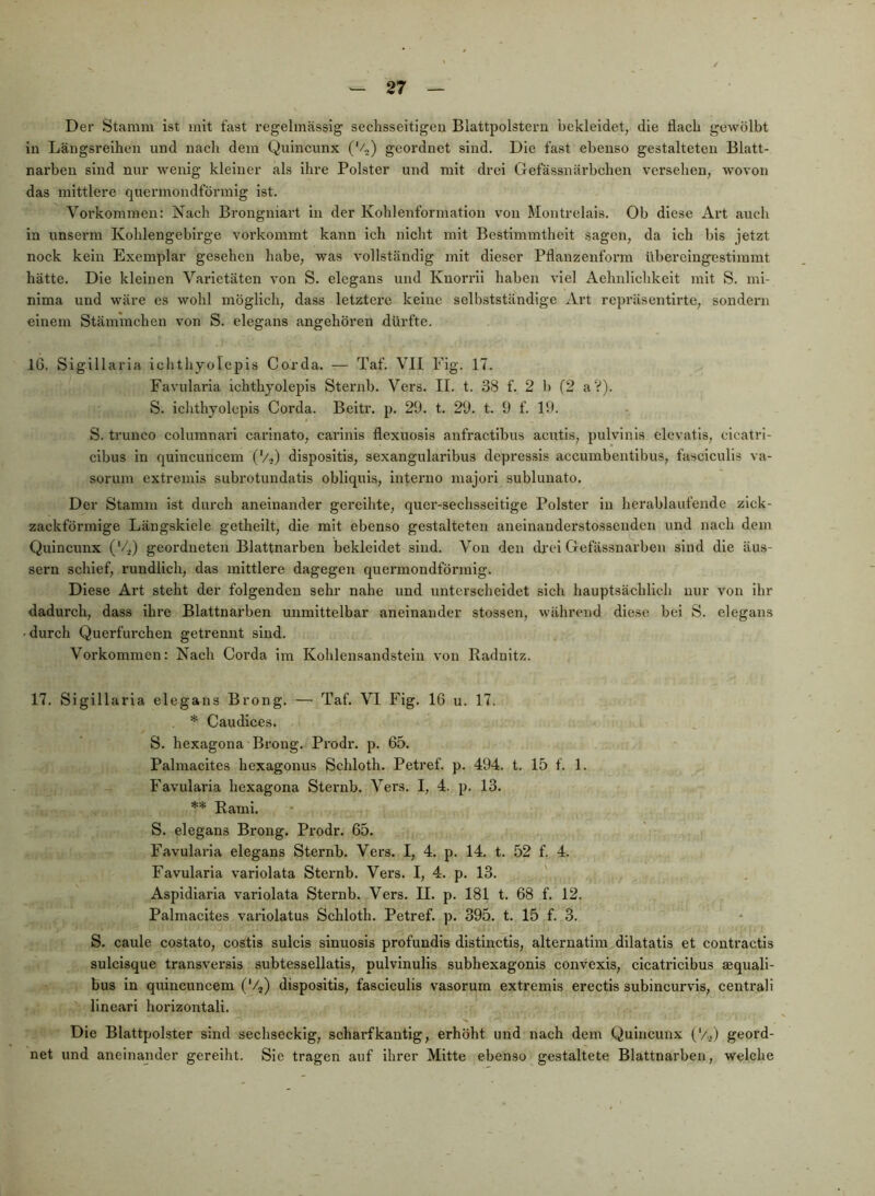 Der Stamm ist mit fast regelmässig sechsseitigen Blattpolstcrii bekleidet, die flach gewölbt in Längsreihen und nach dem Qulncunx ('/„) geordnet sind. Die fast ebenso gestalteten Blatt- narben sind nur wenig kleiner als ihre Polster und mit drei Gefässnärbchen versehen, wovon das mittlere quermondförmig ist. Vorkommen: Nach Brongniart in der Kohlenformation von Montrelais. Ob diese Art auch in unserm Kohlengebirge vox’kommt kann ich nicht mit Bestimmtheit sagen, da ich bis jetzt nock kein Exemplar gesehen habe, was vollständig mit dieser Pflanzenforra übereingestimmt hätte. Die kleinen Varietäten von S. elegans und Knorrli haben viel Aehnlichkelt mit S. mi- nima und wäre cs wohl möglich, dass letztere keine selbstständige Art repräsentlrte, sondern einem Stämmchen von S. elegans angehören dürfte. 16. Sigillaria ichthyolepis Corda. — Taf. VII Fig. 17. Favularia ichthyolepis Sternb. Vers. II. t. 38 f. 2 b (2 a?). S. ichthyolepis Corda. Beitr. p. 29. t. 29. t. 9 f. 19. S. trunco columnari carinato, carinis flexuosls anfractibus acutis, pulvlnls elevatls, cicatri- clbus in quincuncem ('/?) dispositis, sexangularibus depressis accumbentibus, fasciculis va- sorum extremis subrotundatis obllquis, interne majori sublunato. Der Stamm ist durch aneinander gereihte, quer-sechsseitige Polster in herablaufende zick- zackförmige Längskiele getheilt, die mit ebenso gestalteten aneinanderstossenden und nach dem Quincnnx ('/,) geordneten Blattnarhen bekleidet sind. Von den dj'el Gefässnarben sind die äus- sern schief, rundlich, das mittlere dagegen quermondförmig. Diese Ai’t steht der folgenden sehr nahe und unterscheidet sich hauptsächlich nur von ihr dadurch, dass ihre Blattnarben unmittelbar aneinander stossen, während diese bei S. elegans ■durch Querfurchen getrennt sind. Vorkommen: Nach Corda im Kohlensandstein von Radnitz. 17. Sigillaria elegans Brong. — Taf. VI Fig. 16 u. 17. * Caudices. S. hexagona Brong. Prodr. p. 65. Palmacites hexagonus Schloth. Petref. p. 494. t. 15 f. 1. Favularia hexagona Sternb. Vers. I, 4. p. 13. ** Rami. S. elegans Brong. Prodr. 65. Favularia elegans Sternb. Vers. I, 4. p. 14. t. 52 f. 4. Favularia variolata Sternb. Vers. I, 4. p. 13. Aspldlaria variolata Sternb. Vers. II. p. 181 t. 68 f. 12. Palmacites varlolatus Schloth. Petref. p. 395. t. 15 f. 3. S. caule costato, costis sulcis sinuosis profundis distinctls, alternatim dilatatis et contractls sulcisque transversis subtessellatis, pulvinulis subhexagonis convexis, cicatricibus aequali- bus in quincuncem ('/,) dispositis, fasciculis vasorum extremis erectis subincurvds, centrall linear! horizontal!. Die Blattpolster sind sechseckig, scharfkantig, erhöht und nach dem Quincunx (*/.,) geord- net und aneinander gereiht. Sie tragen auf ihrer Mitte ebenso gestaltete Blattnarben, welche