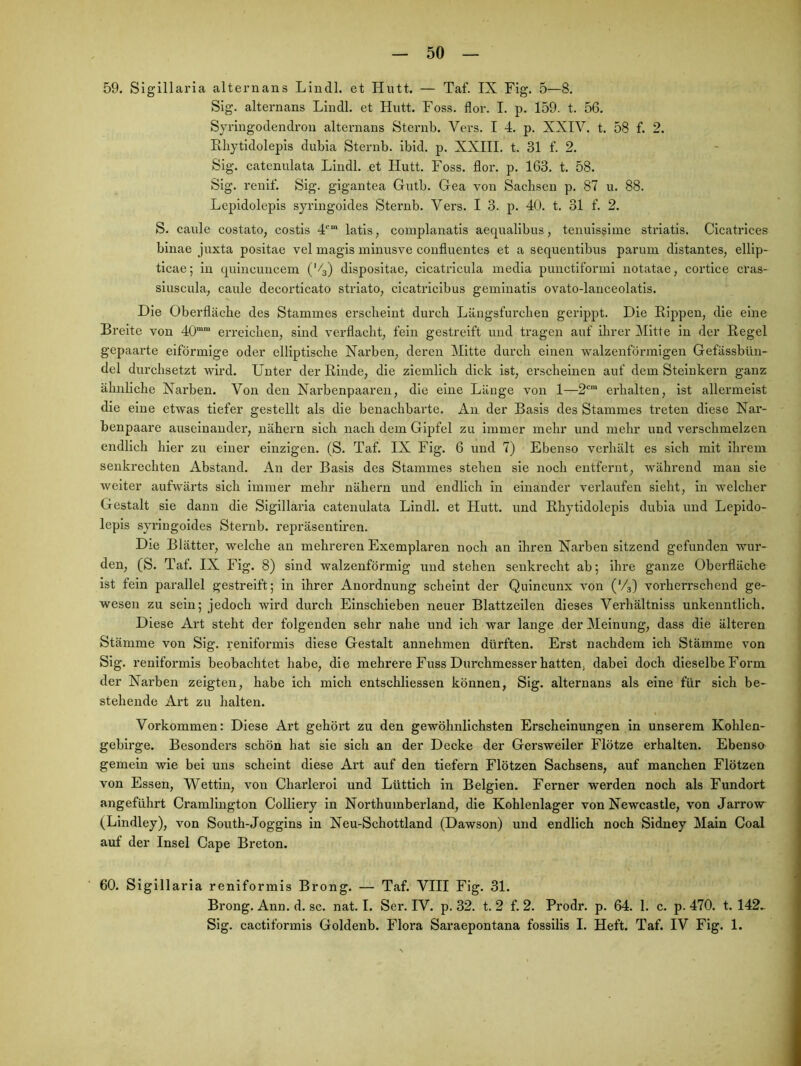 59. SIgillaria alternaus Lindl. et Hutt. — Taf. IX Fig. 5—8. Sig. alternans Lindl. et Hutt. Foss. flor. I. p. 159. t. 56. Syi’ingodendroii alternans Sternb. Vers. I 4. p. XXIV. t. 58 f. 2. Ehytldolepis dubia Sternb. ibid. p. XXIII. t. 31 f. 2. Sig. catenulata Lindl. et Hutt. Foss. flor. p. 163. t. 58. Sig. renif. Sig. gigantea Gutb. Gea von Sachsen p. 87 u. 88. Lepidolepis syringoides Sternb. Vers. I 3. p. 40. t. 31 f. 2. S. caule costato, costis 4''“ latis, complanatis aequalibus, tenuissiiue striatis. Cicatrices binae juxta positae vel magis ininusve confluentes et a sequentibus parum distantes, ellip- ticae; in quincuncem ('/g) dispositae, cicatricula media puiictiformi notatae, cortice cras- siuscula, caule decorticato striato, cicatricibus gemiuatis ovatodanceolatis. Die Oberfläche des Stammes erscheint durch Längsfurchen gerippt. Die Eippen, die eine Breite von 40™ erreichen, sind verflacht, fein gestreift und tragen auf ihrer Mitte in der Eegel gepaarte eiförmige oder elliptische Narben, deren Mitte durch einen walzenförmigen Gefässbün- del durchsetzt wird. Unter der Einde, die ziemlich dick ist, erscheinen auf dem Steinkern ganz ähnliche Narben. Von den Narbenpaaren, die eine Länge von 1—2“ erhalten, ist allermeist die eine etwas tiefer gestellt als die benachbarte. An der Basis des Stammes treten diese Nar- benpaare auseinander, nähern sich nach dem Gipfel zu immer mehr und mehr und verschmelzen endlich hier zu einer einzigen. (S. Taf. IX Fig. 6 und 7) Ebenso verhält es sich mit ihrem senkrechten Abstand. An der Basis des Stammes stehen sie noch entfernt, während man sie weiter aufwärts sich immer mehr nähern und endlich in einander verlaufen sieht, in welcher Gestalt sie dann die Sigillaria catenulata Lindl. et Hutt. ixnd Ehytldolepis dubia und Lepido- lepis syringoides Sternb. repräsentiren. Die Blätter, welche an mehreren Exemplaren noch an ihren Narben sitzend gefunden wur- den, (S. Taf. IX Fig. 8) sind walzenförmig und stehen senkrecht ab; ihre ganze Oberfläche ist fein parallel gestreift; in ihrer Anordnung scheint der Qulncunx von (Vg) vorherrschend ge- wesen zu sein; jedoch wird durch Einschieben neuer Blattzeilen dieses Verhältnlss unkenntlich. Diese Art steht der folgenden sehr nahe und ich war lange der Meinung, dass die älteren Stämme von Sig. reniformis diese Gestalt annehmen dürften. Erst nachdem ich Stämme von Sig. reniformis beobachtet habe, die mehrere Fuss Durchmesser hatten, dabei doch dieselbe Foi'm der Narben zeigten, habe ich mich entschliessen können, Sig. alternans als eine für sich be- stehende Art zu halten. Vorkommen: Diese Art gehört zu den gewöhnlichsten Erscheinungen in unserem Kohlen- gebirge. Besonders schön hat sie sich an der Decke der Gersweiler Flötze erhalten. Ebenso gemein wie bei uns scheint diese Art auf den tiefem Flötzen Sachsens, auf manchen Flötzen von Essen, Wettin, von Charlerol und Lüttich in Belgien. Ferner werden noch als Fundort angeführt Cramllngton Colliery in Northumberland, die Kohlenlager von Newcastle, von Jarrow (Lindley), von South-Jogglns in Neu-Schottland (Dawson) und endlich noch Sidney Main Goal auf der Insel Cape Breton. 60. Sigillaria reniformis Brong. — Taf. VIII Fig. 31. Brong. Ann. d. sc. nat. I. Ser. IV. p. 32. t. 2 f. 2. Prodr. p. 64. 1. c. p. 470. t. 142.. Sig. cactiformis Goldenb. Flora Saraepontana fossilis I. Heft. Taf. IV Fig. 1.