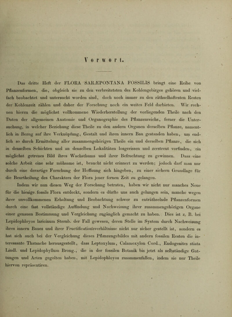 Das dritte Heft der FLORA SARiEPOlSTANA FOSSILIS bringt eine Reihe von Pflanzenfornien, die, obgleich sie zu den verbreitetsten des Kohlengebirges gehören und viel- fach beobachtet und untersucht vi^orden sind, doch noch immer zu den räthselhaftesten Resten der Kohlenzeit zählen und daher der Forschung noch ein weites Feld darbieten. Wir rech- nen hierzu die möglichst vollkommene Wiederherstellung der vorliegenden Theile nach den Daten der allgemeinen Anatomie und Organographie des Pflanzenreichs, ferner die Unter- suchung, in welcher Beziehung diese Theile zu den andern Organen derselben Pflanze, nament- lich in Bezug auf ihre Verknüpfung, Gestalt und ihren innern Bau gestanden haben, um end- lich so durch Ermittelung aller zusammengehörigen Theile ein und derselben Pflanze, die sich in denselben Schichten und an denselben Lokalitäten losgerissen und zerstreut vorfinden, ein möglichst getreues Bild ihres Wachsthums und ihrer Befruchtung zu gewinnen. Dass eine solche Arbeit eine sehr mühsame ist, braucht nicht erinnert zu werden; jedoch darf man nui- durch eine derartige Forschung der Hoffnung sich hingeben, zu einer sichern Grundlage für die Beurtheilung des Charakters der Flora jener fernen Zeit zu gelangen. Indem wir nun diesen Weg der Forschung betraten, haben wir nicht nur manches Neue für die hiesige, fossile Flora entdeckt, sondern es dürfte uns auch gelungen sein, manche wegen ihrer unvollkommenen Erhaltung und Beobachtung schwer zu enträthselude Pflanzenformen durch eine fast vollständige Auffindung und Nachweisung ihrer zusammengehörigen Organe einer genauen Bestimmung und Vergleichung zugänglich gemacht zu haben. Dies ist z. B. bei Lepidophloyos laricinum Sternb. der Fall gewesen, deren Stelle im System durch Nachweisung ihres innern Baues und ihrer Fructificationsverhältnisse nicht nur sicher gestellt ist, sondern es hat sich auch bei der Vergleichung dieses Pflanzengebildes mit andern fossilen Resten die in- ' teressante Thatsache herausgestellt, dass Leptoxylum, Calamoxylon Cord., Endogenites stiata Lindl. und Lepidophyllum Brong., die in der fossilen Botanik bis jetzt als selbständige Gat- tungen und Arten gegolten haben, mit I.<epidophloyos zusammenfallen, indem sie nur Theile hiervon repräsentiren.