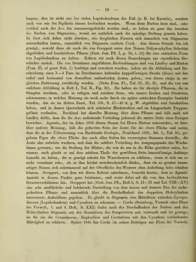langen; dies ist nicht nur bei vielen Lepidodendreen der Fall (z. B. bei Knorria), sondern auch von mir bei Sigillaria rimosa beobachtet worden. Wenn diese Narben kurz sind, oder vertikal nach der Axe hin zusammengedrückt worden sind, so haben sie ganz das Ansehen der Narben von Stigmarien, womit sie natürlich auch die spiralige Stellung gemein haben. Es lässt sich daher nicht absehen, wie dergleichen Formen sich äusserlich von Stigmarien unterscheiden lassen, namentlich von Stigmaria conferta Cord. Aus diesem Grunde bin ich geneigt, sowohl diese als auch die von Goeppert unter dem Namen Didymophyllon Schottini abgebildete und beschriebene Pflanze (Gatt. foss. Pfl. I, p. 35, t. 18) für eine entrindete Form von Lepidodendron zu halten. Kehren wir nach diesen Bemerkungen zur eigentlichen Ge- schichte zurück. Die von Steinhauer angeführten Beobachtungen sind von Bindley und Hatton (Foss. Fl. of great Brit. 1) bestätigt und erweitert worden, indem sie die Abbildung und Be- schreibung eines 3 — 4 Fuss im Durchmesser haltenden kuppelförmigen Stocks (döme) mit den radial und horizontal von demselben auslaufenden Aesten geben, von denen einige in un- gleichen Entfernung zweitheilig werden. (Siehe Foss. FL, Taf. 32, 33, 36, und die von uns • entlehnte Abbildung in Heft I, Taf. B, Fig. 26). Sie halten sie für dicotyle Pflanzen, die in Sümpfen wuchsen, oder in ruhigen und seichten Seen, wie unsere Isoetes und Stratiotes, schwammen; in welcher Meinung sie noch mehr durch ein später entdecktes Exemplar bestärkt wurden, das sie im dritten Band, Taf. 106, S. 47—48 d. g. W. abgebildet und beschrieben haben, und in dessen Querschnitt sich scheinbar Markstrahlen und im Längsschnitt Treppen- gefässe vorfanden. Buckland hat dieselbe Meinung über diese Pflanze und hält auch mit Lindley dafür, dass die die Axe andeutende Vertiefung jedesmal die untere Seite eines Zweiges / bezeichne. Agassiz, der im Jahre 1834 diesen Stamm bei Herrn Hutton untersuchte, ist hier- über anderer Meinung, hält die gefurchte Seite der Aeste für die obere Fläche und meint, dass die in der Uebersetzung von Bucklands Geologie, Neufchatel 1838, Bd. 2, Taf. 53, ge- gebene Figur die obere Fläche des nach allen Seiten hin verzweigten Stammes darstelle, die Aeste also aufwärts wuchsen, und dass die mittlere Vertiefung der Ausgangspunkt des Wachs- thums gewesen, wie die Stellung der Blätter, die von da aus in die Höhe gerichtet seien, be- wiesen; auch glaubt er auf dem mittlern Theile der gewölbten Seite lanzettförmige Anhänge bemerkt zu haben, die er geneigt scheint für Wurzelzasern zu erklären, wozu er sich um so mehr veranlasst sehe, als es ihm höchst unwahrscheinlich dünke, dass ein so grosser baum- artiger Stamm sich schwimmend auf der Oberfläche des Wassers ohne Anheftung habe erhalten können. Goeppert, von dem wir dieses Referat entnehmen, bemerkt hierzu, dass er Agassiz’ Ansicht in diesem Punkte ganz beistimme, und weist dabei auf die von ihm beobachteten Structurverhältnisse hin. Goeppert hat (Gatt. foss. Pfl., Heft I, S. 13—32 und Taf. VIII—XV) eine sehr ausführliche und belehrende Darstellung von dem innern und äussern Bau der mehr- gedachten Pflanze und namentlich über die Beschaffenheit des doppelten Holzcylinders interessante Aufschlüsse gegeben. Er glaubt in Stigmaria eine Mittelform zwischen Lycopo- diaceen (Lepidodendron) und Cycadeen zu erkennen. — Corda (Sternberg, Versuch einer Flora der Vorwelt, 7. und 8. Heft, S. XXI) findet nach der Beschaffenheit der Narben und des Holzcylinders Stigmaria mit der Stammform der Semperviven nah verwandt und ist geneigt, sie für ein die Crassulaceen, Euphorbien und Cactusform mit den Cycadeen verbindendes Mittelglied zu erklären. Später 1845 hat Corda (in seinen Beiträgen zur Flora der Vorwelt,
