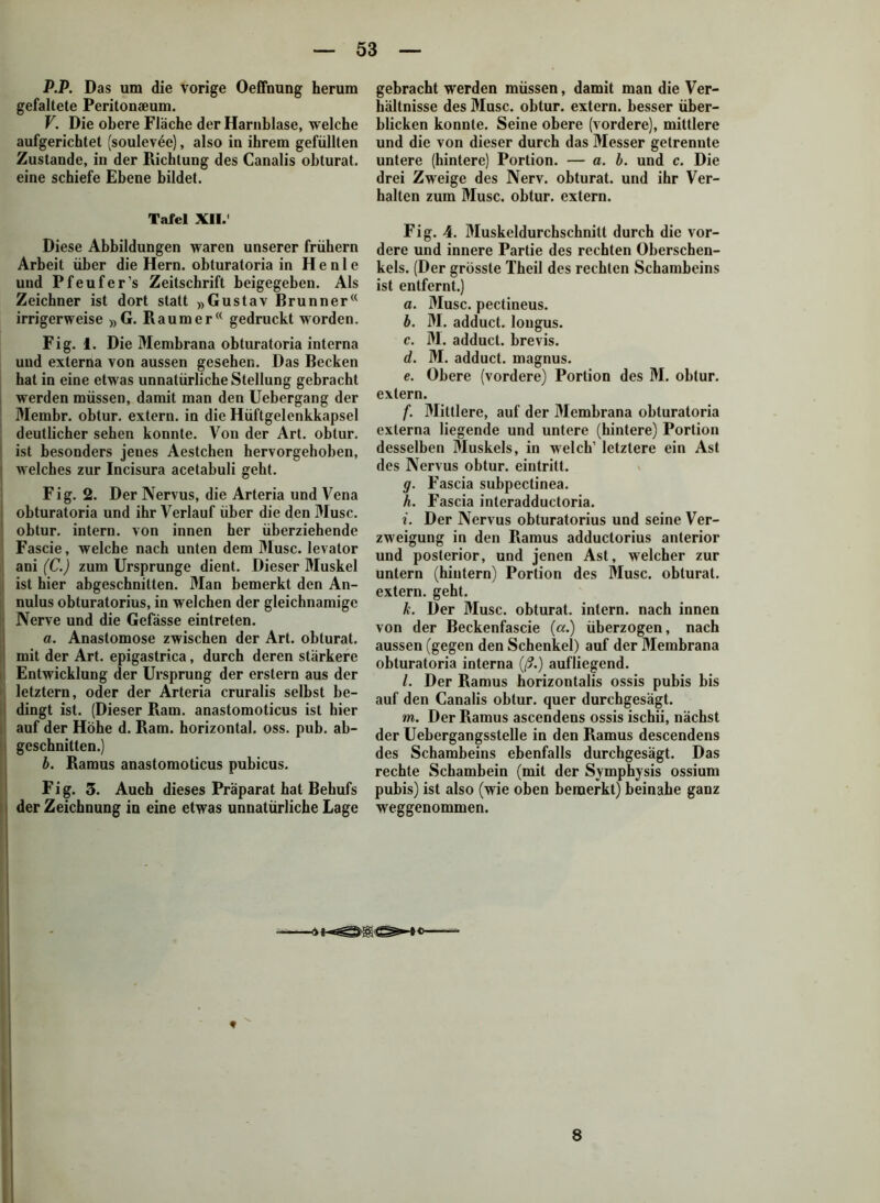 P.P. Das um die vorige Oeffnung herum gefaltete Peritonaeum. V. Die obere Fläche der Harnblase, welche aufgerichtet (soulevöe), also in ihrem gefüllten Zustande, in der Richtung des Canalis obturat. eine schiefe Ebene bildet. Tafel XII.1 Diese Abbildungen waren unserer frühem Arbeit über die Hern, obturatoria in Henle und Pfeufer’s Zeitschrift beigegeben. Als Zeichner ist dort statt »Gustav Brunner(( irrigerweise »G. Raumer“ gedruckt worden. Fig. 1. Die Membrana obturatoria interna und externa von aussen gesehen. Das Becken hat in eine etwas unnatürliche Stellung gebracht werden müssen, damit man den Uebergang der Membr. obtur. extern, in die Hüftgelenkkapsel deutlicher sehen konnte. Von der Art. obtur. ist besonders jenes Aestchen hervorgehoben, welches zur Incisura acetabuli geht. Fig. 2. Der Nervus, die Arteria und Vena obturatoria und ihr Verlauf über die den Muse, obtur. intern, von innen her überziehende Fascie, welche nach unten dem Muse. levator ani (C.) zum Ursprünge dient. Dieser Muskel ist hier abgeschnitten. Man bemerkt den An- nulus obturatorius, in welchen der gleichnamige Nerve und die Gefässe eintreten. a. Anastomose zwischen der Art. obturat. mit der Art. epigastrica, durch deren stärkere Entwicklung der Ursprung der erstem aus der letztem, oder der Arteria cruralis selbst be- dingt ist. (Dieser Rain, anastomoticus ist hier auf der Höhe d. Ram. horizontal, oss. pub. ab- geschnitten.) b. Ramus anastomoticus pubicus. Fig. 3. Auch dieses Präparat hat Behufs der Zeichnung in eine etwas unnatürliche Lage gebracht werden müssen, damit man die Ver- hältnisse des Muse, obtur. extern, besser über- blicken konnte. Seine obere (vordere), mittlere und die von dieser durch das Messer getrennte untere (hintere) Portion. — a. b. und c. Die drei Zweige des Nerv, obturat. und ihr Ver- halten zum Muse, obtur. extern. Fig. 4. Muskeldurchschnitt durch die vor- dere und innere Partie des rechten Oberschen- kels. (Der grösste Theil des rechten Schambeins ist entfernt.) a. Muse, pectineus. b. M. adduct. lougus. c. M. adduct. brevis. d. M. adduct. magnus. e. Obere (vordere) Portion des M. obtur. extern. f. Mittlere, auf der Membrana obturatoria externa liegende und untere (hintere) Portion desselben Muskels, in welch’ letztere ein Ast des Nervus obtur. eintritt. g. Fascia subpectinea. h. Fascia interadductoria. i. Der Nervus obturatorius und seine Ver- zweigung in den Ramus adductorius anterior und posterior, und jenen Ast, welcher zur untern (hintern) Portion des Muse, obturat. extern, geht. k. Der Muse, obturat. intern, nach innen von der Beckenfascie («.) überzogen, nach aussen (gegen den Schenkel) auf der Membrana obturatoria interna (ß.) aufliegend. /. Der Ramus horizontalis ossis pubis bis auf den Canalis obtur. quer durchgesägt. m. Der Ramus ascendens ossis ischii, nächst der Uebergangsstelle in den Ramus descendens des Schambeins ebenfalls durchgesägt. Das rechte Schambein (mit der Symphysis ossium pubis) ist also (wie oben bemerkt) beinahe ganz weggenommen. 8