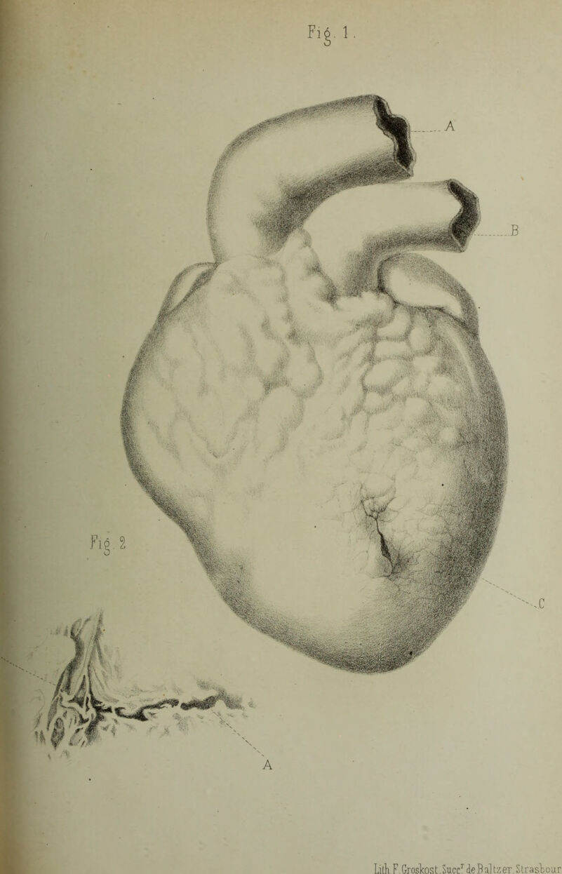 Lith F. Groskos t. Succr deBakzer.Strasbour