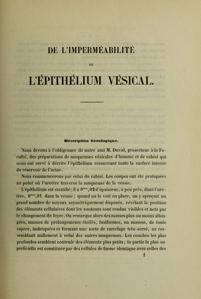 DE L’ÉPITHÉLIUM VÉSICAL. Description histologique. Nous devons à l’obligeance de notre ami M. Duval, prosecteur à la F’a- culté, des préparations de muqueuses vésicales d’homme et de cabiai qui nous ont servi à décrire l’épithélium recouvrant toute la surface interne du réservoir de l’urine. Nous commencerons par celui du cabiai. Les coupes ont été pratiquées au point où l’uretère traverse la muqueuse de la vessie. L’épithélium est stratifié; il a 0,02 d’épaisseur, à peu près, dans l’ure- tère, 0”'’,01 dans la vessie ; quand on le voit en place, on y aperçoit un grand nombre de noyaux asymétriquement disposés, révélant la position des éléments cellulaires dont les contours sont rendus visibles et nets par le changement du foyer. On remarque alors des masses plus ou moins allon- gées, munies de prolongements étoilés, fusiformes, en massue, de toute espèce, imbriquées et formant une sorte de carrelage très-serré, ne res- semblant nullement à celui des autres muqueuses. Les couches les plus profondes semblent contenir des éléments plus petits; la partie la plus su- perficielle est constituée par des cellules de forme identique avec celles des