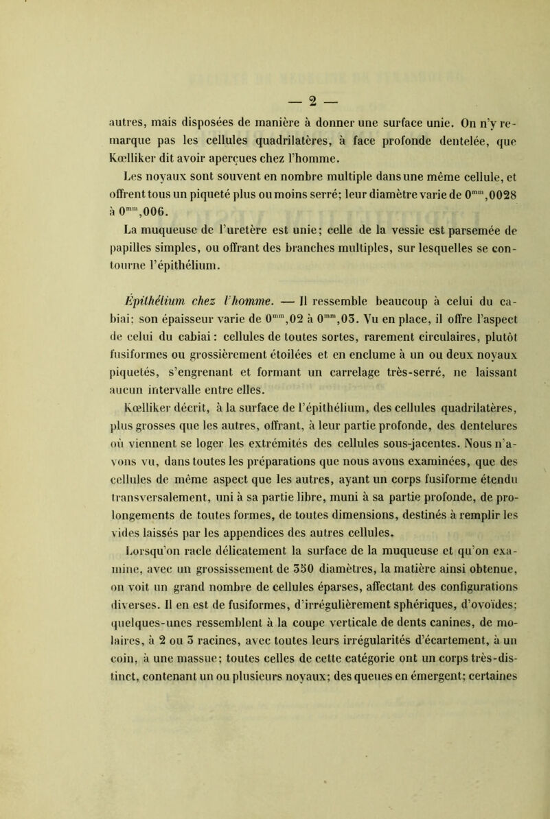 autres, mais disposées de manière à donner une surface unie. On n’y re- marque pas les cellules quadrilatères, à face profonde dentelée, que K.œlliker dit avoir aperçues chez l’homme. Les noyaux sont souvent en nombre multiple dans une même cellule, et offrent tous un piqueté plus ou moins serré; leur diamètre varie de 0'“',0028 à 0,006. La muqueuse de l’uretère est unie ; celle de la vessie est parsemée de papilles simples, ou offrant des branches multiples, sur lesquelles se con- tourne l’épithélium. Epilhélium chez Vhomme. — Il ressemble beaucoup à celui du ca- biai; son épaisseur varie de 0“™,02 à 0,03. Vu en place, il offre l’aspect de celui du cabiai : cellules de toutes sortes, rarement circulaires, plutôt fusiformes ou grossièrement étoilées et en enclume à un ou deux noyaux piquetés, s’engrenant et formant un carrelage très-serré, ne laissant aucun intervalle entre elles. kœlliker décrit, à la surface de l’épithélium, des cellules quadrilatères, plus grosses que les autres, offrant, à leur partie profonde, des dentelures où viennent se loger les extrémités des cellules sous-jacentes. Nous n’a- vons vu, dans toutes les préparations que nous avons examinées, que des cellules de même aspect que les autres, ayant un corps fusiforme étendu transversalement, uni à sa partie libre, muni à sa partie profonde, de pro- longements de toutes formes, de toutes dimensions, destinés à remplir les vides laissés par les appendices des autres cellules. Lorsqu’on racle délicatement la surface de la muqueuse et qu’on exa- mine, avec un grossissement de 350 diamètres, la matière ainsi obtenue, on voit un grand nombre de cellules éparses, affectant des configurations diverses. Il en est de fusiformes, d’irrégulièrement sphériques, d’ovoïdes; (}uelques-unes ressemblent à la coupe verticale de dents canines, de mo- laires, à 2 ou 3 racines, avec toutes leurs irrégularités d’écartement, à un coin, à une massue; toutes celles de cette catégorie ont un corps très-dis- tinct, contenant un ou plusieurs noyaux; des queues en émergent; certaines