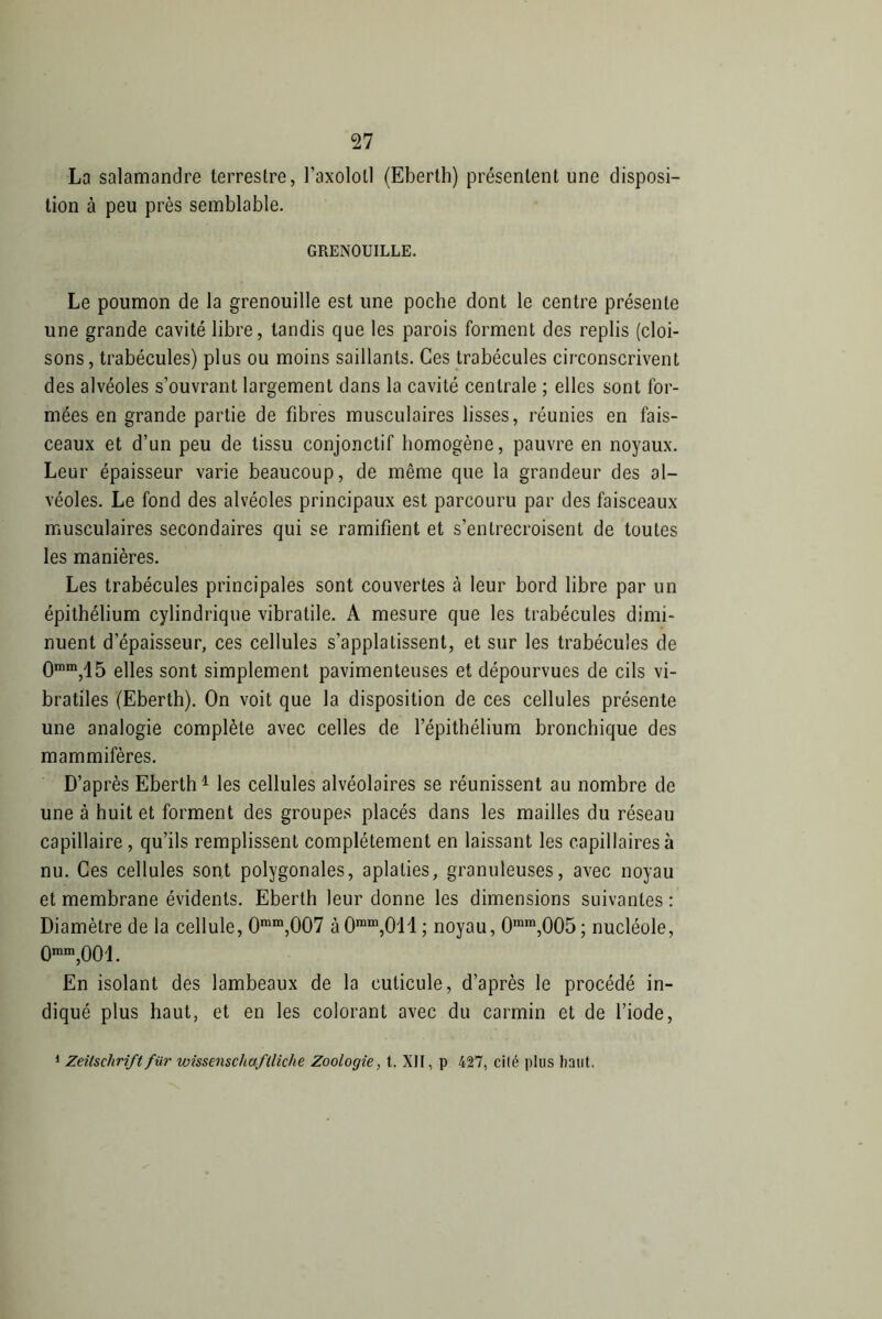 La salamandre terrestre, l’axolotl (Eberth) présentent une disposi- tion à peu près semblable. GRENOUILLE. Le poumon de la grenouille est une poche dont le centre présente une grande cavité libre, tandis que les parois forment des replis (cloi- sons, trabécules) plus ou moins saillants. Ces trabécules circonscrivent des alvéoles s’ouvrant largement dans la cavité centrale ; elles sont for- mées en grande partie de fibres musculaires lisses, réunies en fais- ceaux et d’un peu de tissu conjonctif homogène, pauvre en noyaux. Leur épaisseur varie beaucoup, de même que la grandeur des al- véoles. Le fond des alvéoles principaux est parcouru par des faisceaux musculaires secondaires qui se ramifient et s’entrecroisent de toutes les manières. Les trabécules principales sont couvertes cà leur bord libre par un épithélium cylindrique vibratile. A mesure que les trabécules dimi- nuent d’épaisseur, ces cellules s’applatissent, et sur les trabécules de Omm,15 eues sont simplement pavimenteuses et dépourvues de cils vi- bratiles (Eberth). On voit que la disposition de ces cellules présente une analogie complète avec celles de l’épithélium bronchique des mammifères. D’après Eberth1 les cellules alvéolaires se réunissent au nombre de une à huit et forment des groupes placés dans les mailles du réseau capillaire, qu’ils remplissent complètement en laissant les capillaires à nu. Ces cellules sont polygonales, aplaties, granuleuses, avec noyau et membrane évidents. Eberth leur donne les dimensions suivantes : Diamètre de la cellule, 0mm,007 à0mm,011 ; noyau, 0mra,005 ; nucléole, Omm,001. En isolant des lambeaux de la cuticule, d’après le procédé in- diqué plus haut, et en les colorant avec du carmin et de l’iode,