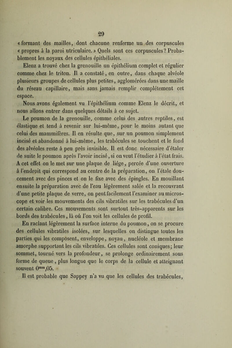 «formant des mailles, dont chacune renferme un des corpuscules « propres à la paroi utriculaire. » Quels sont ces corpuscules? Proba- blement les noyaux des cellules épithéliales. Elenz a trouvé chez la grenouille un épithélium complet et régulier comme chez le triton. Il a constaté, en outre, dans chaque alvéole plusieurs groupes de cellules plus petites, agglomérées dans une maille du réseau capillaire, mais sans jamais remplir complètement cet espace. Nous avons également vu l’épithélium comme Elenz le décrit, et nous allons entrer dans quelques détails à ce sujet. Le poumon de la grenouille, comme celui des autres reptiles, est élastique et tend à revenir sur lui-même, pour le moins autant que celui des mammifères. Il en résulte que, sur un poumon simplement incisé et abandonné à lui-même, les trabécules se touchent et le fond des alvéoles reste à peu près invisible. Il est donc nécessaire d’étaler de suite le poumon après l’avoir incisé, si on veut l’étudier à l’état frais. A cet effet on le met sur une plaque de liège, percée d’une ouverture à l’endroit qui correspond au centre de la préparation, on l’étale dou- cement avec des pinces et on le fixe avec des épingles. En mouillant ensuite la préparation avec de l’eau légèrement salée et la recouvrant d’une petite plaque de verre, on peut facilement l’examiner au micros- cope et voir les mouvements des cils vibratiles sur les trabécules d’un certain calibre. Ces mouvements sont surtout très-apparents sur les bords des trabécules, là où l’on voit les cellules de profil. En raclant légèrement la surface interne du poumon, on se procure des cellules vibratiles isolées, sur lesquelles on distingue toutes les parties qui les composent, enveloppe, noyau, nucléole et membrane amorphe supportant les cils vibratiles. Ces cellules sont coniques; leur sommet, tourné vers la profondeur, se prolonge ordinairement sous forme de queue, plus longue que le corps de la cellule et atteignant souvent 0mm,05. Il est probable que Sappey n’a vu que les cellules des trabécules,