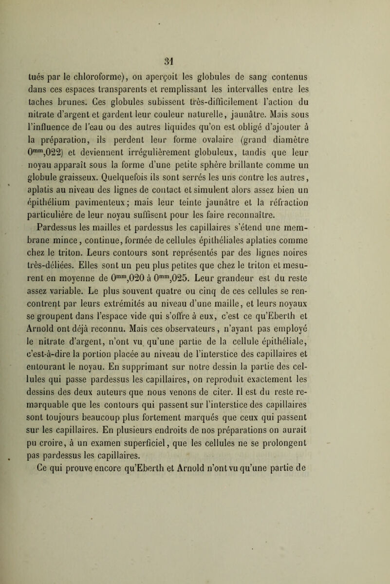 tués par le chloroforme), on aperçoit les globules de sang contenus dans ces espaces transparents et remplissant les intervalles entre les taches brunes. Ces globules subissent très-difficilement faction du nitrate d’argent et gardent leur couleur naturelle, jaunâtre. Mais sous l’influence de l’eau ou des autres liquides qu’on est obligé d’ajouter à la préparation, ils perdent leur forme ovalaire (grand diamètre 0ram,022) et deviennent irrégulièrement globuleux, tandis que leur noyau apparaît sous la forme d’une petite sphère brillante comme un globule graisseux. Quelquefois ils sont serrés les uns contre les autres, aplatis au niveau des lignes de contact et simulent alors assez bien un épithélium pavimenleux; mais leur teinte jaunâtre et la réfraction particulière de leur noyau suffisent pour les faire reconnaître. Pardessus les mailles et pardessus les capillaires s’étend une mem- brane mince, continue, formée de cellules épithéliales aplaties comme chez le triton. Leurs contours sont représentés par des lignes noires très-déliées. Elles sont un peu plus petites que chez le triton et mesu- rent en moyenne de 0mm,020 à 0mm,025. Leur grandeur est du reste assez variable. Le plus souvent quatre ou cinq de ces cellules se ren- contrent par leurs extrémités au niveau d’une maille, et leurs noyaux se groupent dans l’espace vide qui s’offre à eux, c’est ce qu’Eberlh et Arnold ont déjà reconnu. Mais ces observateurs, n’ayant pas employé le nitrate d’argent, n’ont vu qu’une partie de la cellule épithéliale, c’est-à-dire la portion placée au niveau de l’interstice des capillaires et entourant le noyau. En supprimant sur notre dessin la partie des cel- lules qui passe pardessus les capillaires, on reproduit exactement les dessins des deux auteurs que nous venons de citer. 11 est du reste re- marquable que les contours qui passent sur l’interstice des capillaires sont toujours beaucoup plus fortement marqués que ceux qui passent sur les capillaires. En plusieurs endroits de nos préparations on aurait pu croire, à un examen superficiel, que les cellules ne se prolongent pas pardessus les capillaires. Ce qui prouve encore qu’Eberth et Arnold n’ont vu qu’une partie de