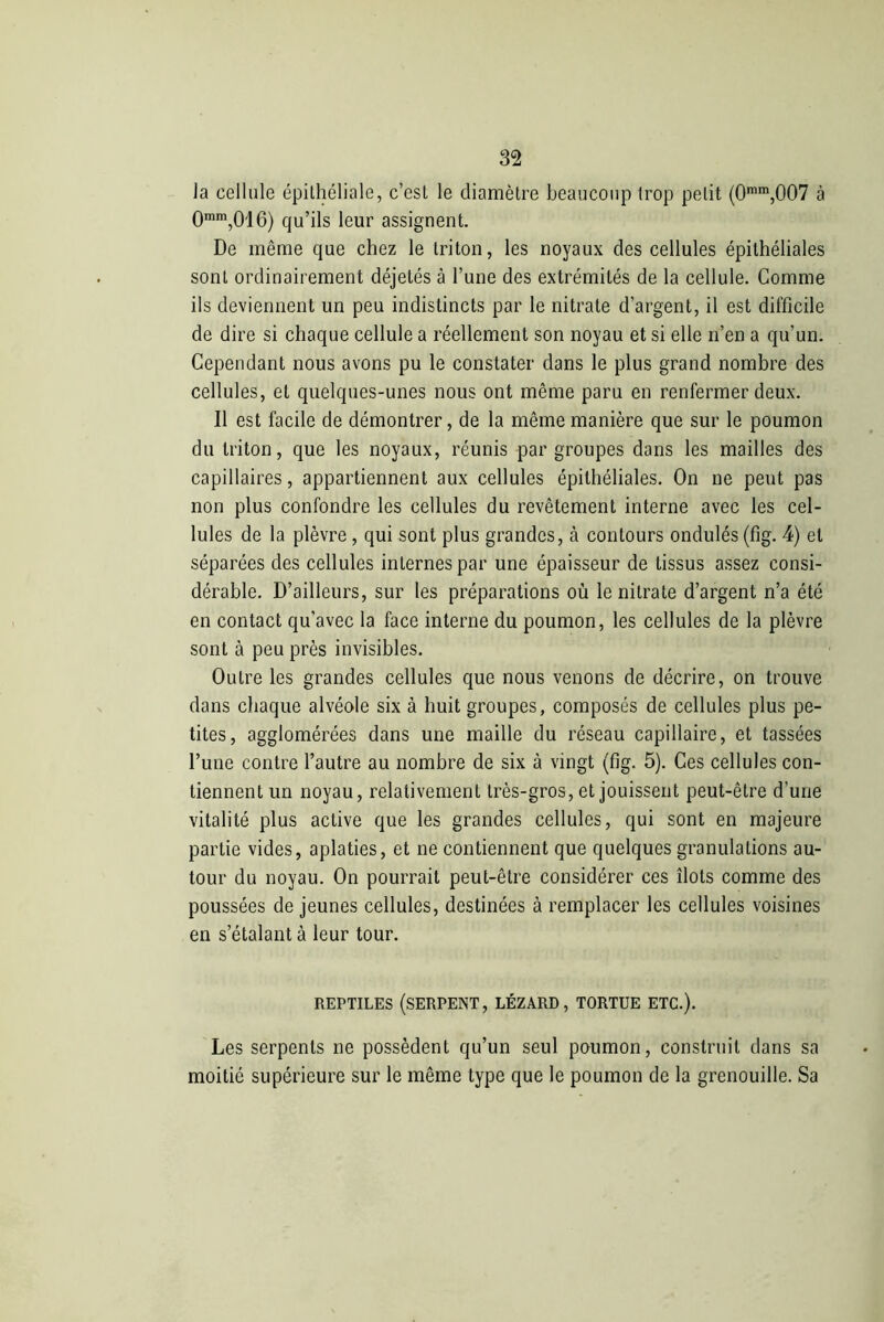 la cellule épithéliale, c’est le diamètre beaucoup trop petit (0mm,007 à 0mm,016) qu’ils leur assignent. De même que chez le triton, les noyaux des cellules épithéliales sont ordinairement déjetés à l’une des extrémités de la cellule. Comme ils deviennent un peu indistincts par le nitrate d’argent, il est difficile de dire si chaque cellule a réellement son noyau et si elle n’en a qu’un. Cependant nous avons pu le constater dans le plus grand nombre des cellules, et quelques-unes nous ont même paru en renfermer deux. Il est facile de démontrer, de la même manière que sur le poumon du triton, que les noyaux, réunis par groupes dans les mailles des capillaires, appartiennent aux cellules épithéliales. On ne peut pas non plus confondre les cellules du revêtement interne avec les cel- lules de la plèvre, qui sont plus grandes, à contours ondulés (fig. 4) et séparées des cellules internes par une épaisseur de tissus assez consi- dérable. D’ailleurs, sur les préparations où le nitrate d’argent n’a été en contact qu’avec la face interne du poumon, les cellules de la plèvre sont à peu près invisibles. Outre les grandes cellules que nous venons de décrire, on trouve dans chaque alvéole six à huit groupes, composés de cellules plus pe- tites, agglomérées dans une maille du réseau capillaire, et tassées l’une contre l’autre au nombre de six à vingt (fig. 5). Ces cellules con- tiennent un noyau, relativement très-gros, et jouissent peut-être d’une vitalité plus active que les grandes cellules, qui sont en majeure partie vides, aplaties, et ne contiennent que quelques granulations au- tour du noyau. On pourrait peut-être considérer ces îlots comme des poussées de jeunes cellules, destinées à remplacer les cellules voisines en s’étalant à leur tour. REPTILES (SERPENT, LÉZARD, TORTUE ETC.). Les serpents ne possèdent qu’un seul poumon, construit dans sa moitié supérieure sur le même type que le poumon de la grenouille. Sa