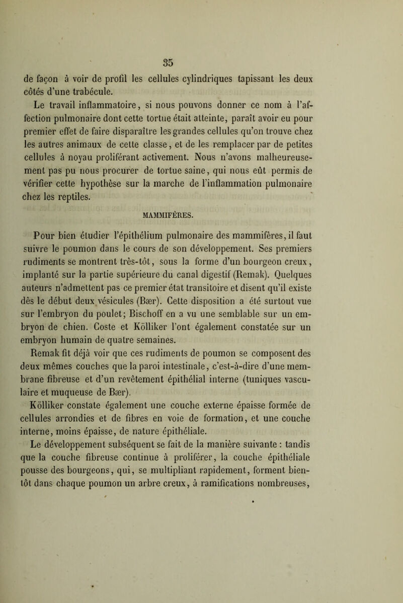 de façon à voir de profil les cellules cylindriques tapissant les deux côtés d’une trabécule. Le travail inflammatoire, si nous pouvons donner ce nom à l’af- fection pulmonaire dont cette tortue était atteinte, paraît avoir eu pour premier effet de faire disparaître les grandes cellules qu’on trouve chez les autres animaux de cette classe, et de les remplacer par de petites cellules à noyau proliférant activement. Nous n’avons malheureuse- ment pas pu nous procurer de tortue saine, qui nous eût permis de vérifier cette hypothèse sur la marche de l’inflammation pulmonaire chez les reptiles. MAMMIFÈRES. Pour bien étudier l’épithélium pulmonaire des mammifères, il faut suivre le poumon dans le cours de son développement. Ses premiers rudiments se montrent très-tôt, sous la forme d’un bourgeon creux , implanté sur la partie supérieure du canal digestif (Remak). Quelques auteurs n’admettent pas ce premier état transitoire et disent qu’il existe dès le début deux vésicules (Bær). Cette disposition a été surtout vue sur l’embryon du poulet; Bischoff en a vu une semblable sur un em- bryon de chien. Coste et Kolliker font également constatée sur un embryon humain de quatre semaines. Remak fit déjà voir que ces rudiments de poumon se composent des deux mêmes couches que la paroi intestinale, c’est-à-dire d’une mem- brane fibreuse et d’un revêtement épithélial interne (tuniques vascu- laire et muqueuse de Bær). Kolliker constate également une couche externe épaisse formée de cellules arrondies et de fibres en voie de formation, et une couche interne, moins épaisse, de nature épithéliale. Le développement subséquent se fait de la manière suivante : tandis que la couche fibreuse continue à proliférer, la couche épithéliale pousse des bourgeons, qui, se multipliant rapidement, forment bien- tôt dans chaque poumon un arbre creux, à ramifications nombreuses,