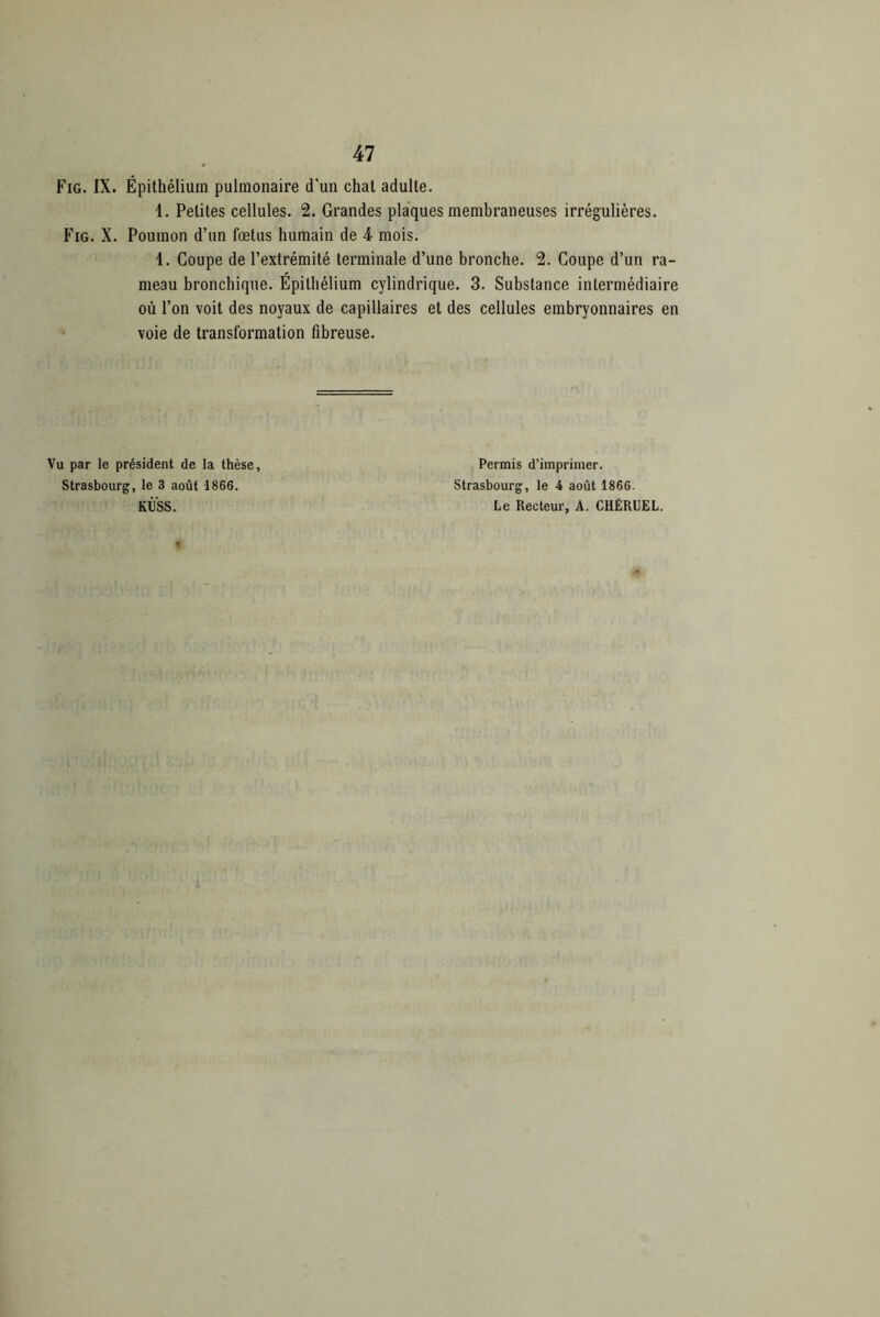 Fig. IX. Épithélium pulmonaire d'un chat adulte. 1. Petites cellules. 2. Grandes plaques membraneuses irrégulières. Fig. X. Poumon d’un fœtus humain de 4 mois. 1. Coupe de l’extrémité terminale d’une bronche. 2. Coupe d’un ra- meau bronchique. Épithélium cylindrique. 3. Substance intermédiaire où l’on voit des noyaux de capillaires et des cellules embryonnaires en voie de transformation fibreuse. Vu par le président de la thèse, Strasbourg, le 3 août 1866. KÛSS. Permis d’imprimer. Strasbourg, le 4 août 1866. Le Recteur, A. CHÉRUEL.