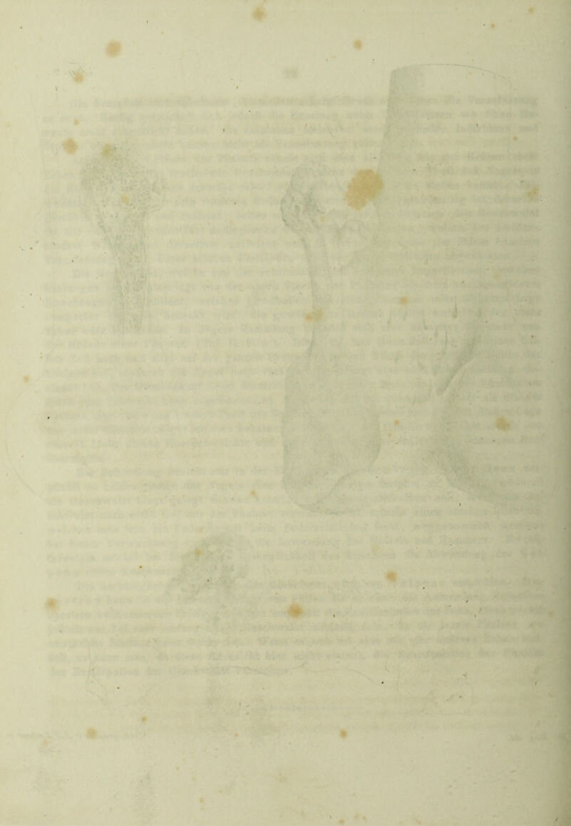 V . . > 1 ' * ' I 4*